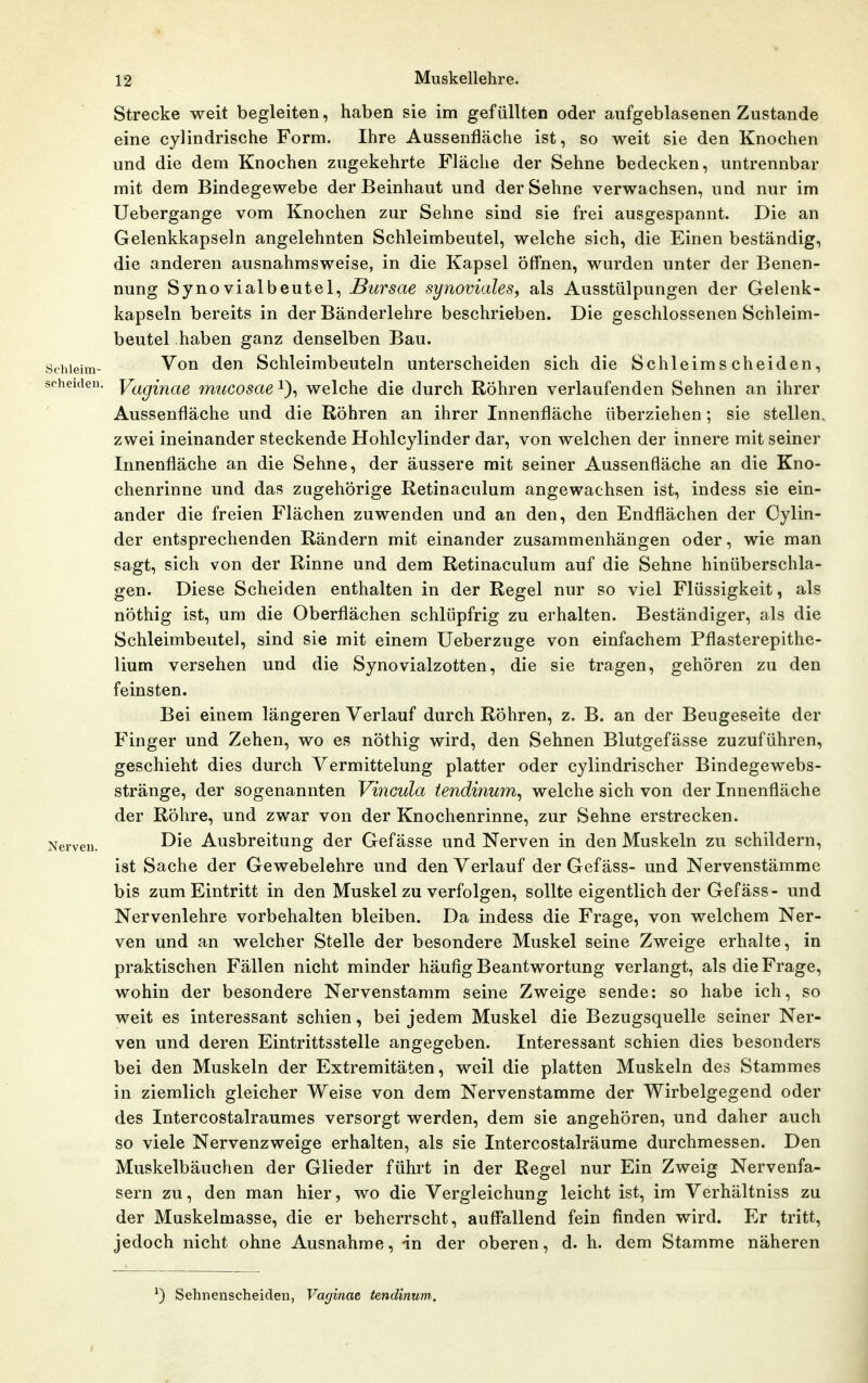 Schleim- scheiden. Nerven. 12 Muskellehre. Strecke weit begleiten, haben sie im gefüllten oder aufgeblasenen Zustande eine cylindrische Form. Ihre Aussenfläche ist, so weit sie den Knochen und die dem Knochen zugekehrte Fläche der Sehne bedecken, untrennbar mit dem Bindegewebe der Beinhaut und der Sehne verwachsen, und nur im Uebergange vom Knochen zur Sehne sind sie frei ausgespannt. Die an Gelenkkapseln angelehnten Schleimbeutel, welche sich, die Einen beständig, die anderen ausnahmsweise, in die Kapsel öffnen, wurden unter der Benen- nung Synovialbeutel, Bursae synoviales, als Ausstülpungen der Gelenk- kapseln bereits in der Bänderlehre beschrieben. Die geschlossenen Scbleim- beutel haben ganz denselben Bau. Von den Schleimbeuteln unterscheiden sich die Schleimscheiden, Vaginae mucosae i), welche die durch Röhren verlaufenden Sehnen an ihrer Aussenfläche und die Röhren an ihrer Innenfläche überziehen; sie stellen, zwei ineinander steckende Hohlcylinder dar, von welchen der innere mit seiner Innenfläche an die Sehne, der äussere mit seiner Aussenfläche an die Kno- chenrinne und das zugehörige Retinaculum angewachsen ist, indess sie ein- ander die freien Flächen zuwenden und an den, den Endflächen der Cylin- der entsprechenden Rändern mit einander zusammenhängen oder, wie man sagt, sich von der Rinne und dem Retinaculum auf die Sehne hinüberschla- gen. Diese Scheiden enthalten in der Regel nur so viel Flüssigkeit, als nöthig ist, um die Oberflächen schlüpfrig zu erhalten. Beständiger, als die Schleimbeutel, sind sie mit einem Ueberzuge von einfachem Pflasterepithe- lium versehen und die Synovialzotten, die sie tragen, gehören zu den feinsten. Bei einem längeren Verlauf durch Röhren, z. B. an der Beugeseite der Finger und Zehen, wo es nöthig wird, den Sehnen Blutgefässe zuzuführen, geschieht dies durch Vermittelung platter oder cylindrischer Bindegewebs- stränge, der sogenannten Vincula tendinum^ welche sich von der Innenfläche der Röhre, und zwar von der Knochenrinne, zur Sehne erstrecken. Die Ausbreitung der Gefässe und Nerven in den Muskeln zu schildern, ist Sache der Gewebelehre und den Verlauf der Gefäss- und Nervenstämme bis zum Eintritt in den Muskel zu verfolgen, sollte eigentlich der Gef äss- und Nervenlehre vorbehalten bleiben. Da indess die Frage, von welchem Ner- ven und an welcher Stelle der besondere Muskel seine Zweige erhalte, in praktischen Fällen nicht minder häufig Beantwortung verlangt, als die Frage, wohin der besondere Nervenstamm seine Zweige sende: so habe ich, so weit es interessant schien, bei jedem Muskel die Bezugsquelle seiner Ner- ven und deren Eintrittsstelle angegeben. Interessant schien dies besonders bei den Muskeln der Extremitäten, weil die platten Muskeln des Stammes in ziemlich gleicher Weise von dem Nervenstamme der Wirbelgegend oder des Intercostalraumes versorgt werden, dem sie angehören, und daher auch so viele Nervenzweige erhalten, als sie Intercostalräume durchmessen. Den Muskelbäuchen der Glieder führt in der Regel nur Ein Zweig Nervenfa- sern zu, den man hier, wo die Vergleichung leicht ist, im Verhältniss zu der Muskelmasse, die er beherrscht, auffallend fein finden wird. Er tritt, jedoch nicht ohne Ausnahme, in der oberen, d. h. dem Stamme näheren ^) Sehnenscheiden, Vaginae tendinum.