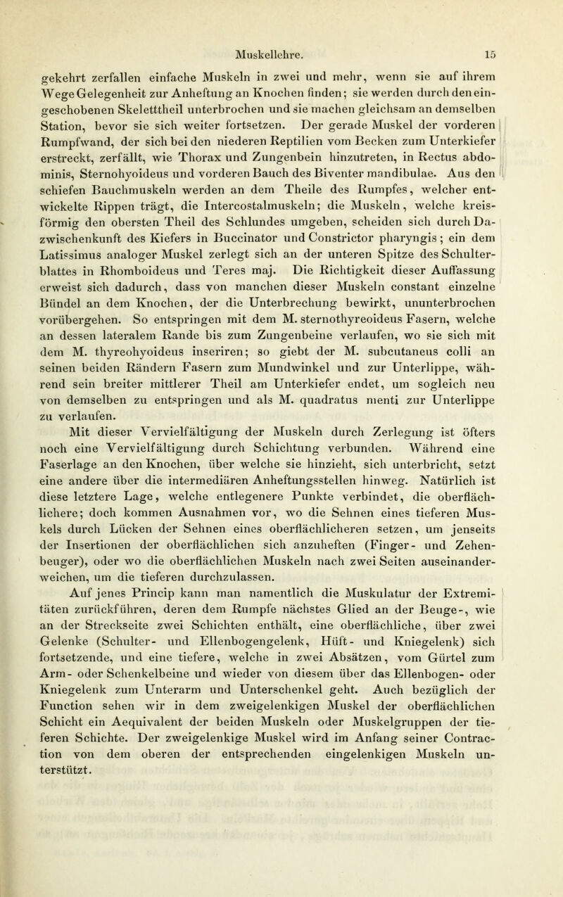 gekehrt zerfallen einfache Muskeln in zwei und mehr, wenn sie auf ihrem Wege Gelegenheit zur Anheftung an Knochen finden; sie werden durch den ein- geschobenen Skeletttheil unterbrochen und sie machen gleichsam an demselben Station, bevor sie sich weiter fortsetzen. Der gerade Muskel der vorderen Rumpfwand, der sich bei den niederen Reptilien vom Becken zum Unterkiefer erstreckt, zerfällt, wie Thorax und Zungenbein hinzutreten, in Rectus abdo- minis, Sternohyoideus und vorderen Bauch des Biventer mandibulae. Aus den i; schiefen Bauchmuskeln werden an dem Theile des Rumpfes, welcher ent- wickelte Rippen trägt, die Intercostalmuskeln; die Muskeln, welche kreis- förmig den obersten Theil des Schlundes umgeben, scheiden sich durch Da- zwischenkunft des Kiefers in Buccinator und Constrictor pharyngis ; ein dem Latissimus analoger Muskel zerlegt sich an der unteren Spitze des Schulter- blattes in Rhomboideus und Teres maj. Die Richtigkeit dieser Auffassung erweist sich dadurch, dass von manchen dieser Muskeln constant einzelne Bündel an dem Knochen, der die Unterbrechung bewirkt, ununterbrochen vorübergehen. So entspringen mit dem M. sternothyreoideus Fasern, welche an dessen lateralem Rande bis zum Zungenbeine verlaufen, wo sie sich mit dem M. thyreohyoideus inseriren; so giebt der M. subcutaneus colli an seinen beiden Rändern Fasern zum Mundwinkel und zur Unterlippe, wäh- rend sein breiter mittlerer Theil am Unterkiefer endet, um sogleich neu von demselben zu entspringen und als M. quadratus menti zur Unterlippe zu verlaufen. Mit dieser Vervielfältigung der Muskeln durch Zerlegung ist öfters noch eine Vervielfältigung durch Schichtung verbunden. Während eine Faserlage an den Knochen, über welche sie hinzieht, sich unterbricht, setzt eine andere über die intermediären Anheftungsstellen hinweg. Natürlich ist diese letztere Lage, welche entlegenere Punkte verbindet, die oberfläch- lichere; doch kommen Ausnahmen vor, wo die Sehnen eines tieferen Mus- kels durch Lücken der Sehnen eines oberflächlicheren setzen, um jenseits der Insertionen der oberflächlichen sich anzuheften (Finger- und Zehen- beuger), oder wo die oberflächlichen Muskeln nach zwei Seiten auseinander- weichen, um die tieferen durchzulassen. Auf jenes Princip kann man namentlich die Muskulatur der Extremi- täten zurückführen, deren dem Rumpfe nächstes Glied an der Beuge-, wie an der Streckseite zwei Schichten enthält, eine oberflächliche, über zwei Gelenke (Schulter- und Ellenbogengelenk, Hüft- und Kniegelenk) sich fortsetzende, und eine tiefere, welche in zwei Absätzen, vom Gürtel zum Arm- oder Schenkelbeine und wieder von diesem über das Ellenbogen- oder Kniegelenk zum Unterarm und Unterschenkel geht. Auch bezüglich der Function sehen wir in dem zweigelenkigen Muskel der oberflächlichen Schicht ein Aequivalent der beiden Muskeln oder Muskelgruppen der tie- feren Schichte. Der zweigelenkige Muskel wird im Anfang seiner Contrac- tion von dem oberen der entsprechenden eingelenkigen Muskeln un- terstützt.