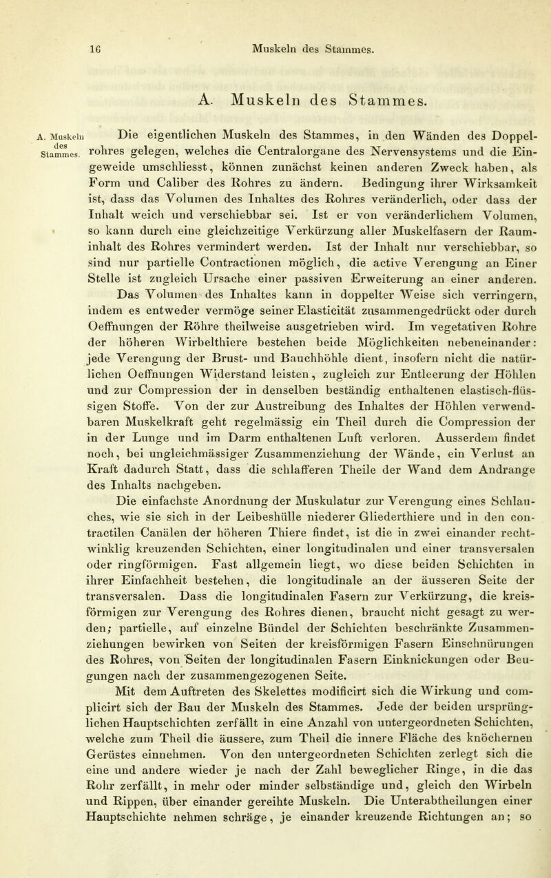 A. Muskeln des Stammes. A. Muskeln Die eigentlichen Muskeln des Stammes, in den Wänden des Doppel- stammes, rohres gelegen, welches die Centraiorgane des Nervensystems und die Ein- geweide umschliesst, können zunächst keinen anderen Zweck haben, als Form und Caliber des Rohres zu ändern. Bedingung ihrer Wirksamkeit ist, dass das Volumen des Inhaltes des Rohres veränderlich, oder dass der Inhalt weich und verschiebbar sei. Ist er von veränderlichem Volumen, ♦ so kann durch eine gleichzeitige Verkürzung aller Muskelfasern der Raum- inhalt des Rohres vermindert werden. Ist der Inhalt nur verschiebbar, so sind nur partielle Contractionen möglich, die active Verengung an Einer Stelle ist zugleich Ursache einer passiven Erweiterung an einer anderen. Das Volumen des Inhaltes kann in doppelter Weise sich verringern, indem es entweder vermöge seiner Elasticität zusammengedrückt oder durch Oeffnungen der Röhre theilweise ausgetrieben wird. Im vegetativen Rohre der höheren Wirbelthiere bestehen beide Möglichkeiten nebeneinander: jede Verengung der Brust- und Bauchhöhle dient, insofern nicht die natür- lichen Oeffnungen Widerstand leisten, zugleich zur Entleerung der Höhlen und zur Compression der in denselben beständig enthaltenen elastisch-flüs- sigen Stoffe. Von der zur Austreibung des Inhaltes der Höhlen verwend- baren Muskelkraft geht regelmässig ein Theil durch die Compression der in der Lunge und im Darm enthaltenen Luft verloren. Ausserdem findet noch, bei ungleichmässiger Zusammenziehung der Wände, ein Verlust an Kraft dadurch Statt, dass die schlafferen Theile der Wand dem Andränge des Inhalts nachgeben. Die einfachste Anordnung der Muskulatur zur Verengung eines Schlau- ches, wie sie sich in der Leibeshülle niederer Gliederthiere und in den con- tractilen Canälen der höheren Thiere findet, ist die in zwei einander recht- winklig kreuzenden Schichten, einer longitudinalen und einer transversalen oder ringförmigen. Fast allgemein liegt, wo diese beiden Schichten in ihrer Einfachheit bestehen, die longitudinale an der äusseren Seite der transversalen. Dass die longitudinalen Fasern zur Verkürzung, die kreis- förmigen zur Verengung des Rohres dienen, braucht nicht gesagt zu wer- den; partielle, auf einzelne Bündel der Schichten beschränkte Zusammen- ziehungen bewirken von Seiten der kreisförmigen Fasern Einschnürungen des Rohres, von Seiten der longitudinalen Fasern Einknickungen oder Beu- gungen nach der zusammengezogenen Seite. Mit dem Auftreten des Skelettes modificirt sich die Wirkung und com- plicirt sich der Bau der Muskeln des Stammes. Jede der beiden ursprüng- lichen Hauptschichten zerfällt in eine Anzahl von untergeordneten Schichten, welche zum Theil die äussere, zum Theil die innere Fläche des knöchernen Gerüstes einnehmen. Von den untergeordneten Schichten zerlegt sich die eine und andere wieder je nach der Zahl beweglicher Ringe, in die das Rohr zerfällt, in mehr oder minder selbständige und, gleich den Wirbeln und Rippen, über einander gereihte Muskeln. Die Unterabtheilungen einer Hauptschichte nehmen schräge, je einander kreuzende Richtungen an; so