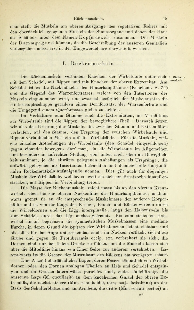 man stellt die Muskeln am oberen Ausgange des vegetativen Rohres mit den oberflächlich gelegenen Muskeln der Sinnesorgane und denen der Haut des Schädels unter dem Namen Kopfmuskeln zusammen. Die Muskeln der Dammgegend können, da die Beschreibung der äusseren Genitalien vorausgehen muss, erst in der Eingeweidelehre dargestellt werden. 1. Rückenmuskeln. Die Riickenrauskeln verbinden Knochen der Wirbelsäule unter sich, i. Riicke»- mit dem Schädel, mit Rippen und mit Knochen der oberen Extremität. Am Schädel ist es die Nackenfläche des Hinterhauptbeines- (Knochenl. S. 74) und die Gegend des Warzenfortsatzes, welche von den Insertionen der Muskeln eingenommen wird, und zwar ist bezüglich der Muskeiansätze die * Hinterhauptsschuppe geradezu einem Dornfortsatz, der Warzenfortsatz und die Umgegend einem Querfortsatze gleich zu achten. Im Verhältniss zum Stamme sind die Extremitäten, im Verhältniss zur Wirbelsäule sind die Rippen der beweglichere Theil. Darnach setzen wir also den Ursprung der Muskeln, die zwischen Stamm und Extremitäten verlaufen, auf den Stamm, den Ursprung der zwischen Wirbelsäule Und Rippen verlaufenden Muskeln auf die Wirbelsäule. Für die Muskeln, wel- che einzelne Abtheilungen der Wirbelsäule (den Schädel eingeschlossen) gegen einander bewegen, darf man, da die Wirbelsäule im Allgemeinen und besonders in aufrechter Stellung von unten nach oben an Beweglich- keit zunimmt, je die abwärts gelegenen Anheftungen als Ursprünge, die aufwärts gelegenen als Insertionen betrachten und demnach alle longitudi- nalen Rückenmuskeln aufsteigende nennen. Dies gilt auch für diejenigen Muskeln der Wirbelsäule, welche, so weit sie sich am Brustkorbe hinauf er- strecken, mit Rippen in Verbindung treten. Die Masse der Rückenmuskeln reicht unten bis an den vierten Kreuz- wirbel , oben bis zur oberen Nackenlinie des Hinterhauptbeines; median- wärts grenzt sie an die entsprechende Muskelmasse der anderen Körper- hälfte und ist von ihr längs den Kreuz-, Bauch- und Rückenwirbeln durch die Wirbeldornen und die Ligg. interspinalia, längs den Halswirbeln bis zum Schädel, durch das Lig. nuchae getrennt. Bis zum siebenten Hals- wirbel hinauf begrenzen die symmetrischen Muskelmassen eine mediane Furche, in deren Grund die Spitzen der Wirbeldornen leicht sichtbar und ' oft selbst für das Auge unterscheidbar sind; im Nacken verflacht sich diese Grube und gegen die Protuberantia occip. ext. verbreitert sie sich; die Dornen sind nur bei tiefem Drucke zu fühlen, und die Muskeln lassen sich über die Mittellinie hinaus von Einer Seite zur anderen verschieben. La- teralwärts ist die Grenze der Musculatur des Rückens am wenigsten scharf. Eine Anzahl oberflächlicher Lagen, deren Fasern sämmtlich von Wirbel- dornen oder den Dornen analogen Theilen an Hals und Schädel entsprin- gen und im Ganzen lateralwärts gerichtet sind, endet staff'elförmig, die äusserste Lage (M. cucullaris) an dem knöchernen Gürtel der oberen Ex- tremität, die nächst tiefere (Mm. rhomboidei, teres maj., latissimus) an der Basis des Schulterblattes und am Armbein, die dritte (Mm. serrati postici) an 2*