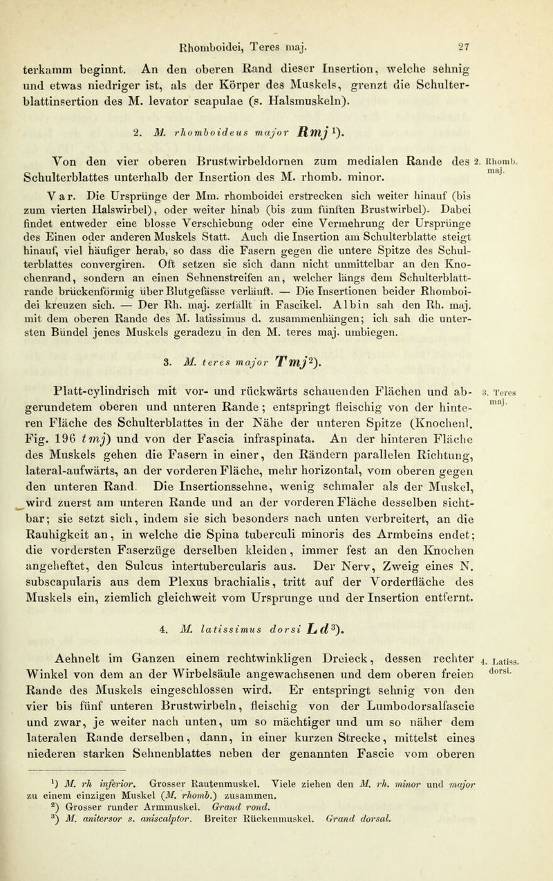 terkamm beginnt. An den oberen Rand dieser Insertion, welche sehnig und etwas niedriger ist, als der Körper des Muskels, grenzt die Schulter- blattinsertion des M. levator scapulae (s. Halsmuskeln). 2. M. rhomboideus major RmJ Von den vier oberen Brustwirbeldornen zum medialen Rande des 2. Rhomi). Schulterblattes unterhalb der Insertion des M. rhomb. minor. V a r. Die Ursprünge der Mm. rhomboidei erstrecken sich weiter hinauf (bis zum vierten Halswirbel), oder weiter hinab (bis zum fünften Brustwirbel). Dabei findet entweder eine blosse Verschiebung oder eine Vermehrung der Ursprünge des Einen oder anderen Muskels Statt. Auch die Insertion am Schulterblatte steigt hinauf, viel häufiger herab, so dass die Fasern gegen die untere Spitze des Schul- terblattes convergiren. Oft setzen sie sich dann nicht unmittelbar an den Kno- chenrand, sondern an einen Sehnenstreifen an, welcher längs dem Schulterblatt- rande brückenförmig über Blutgefässe verläuft. — Die Insertionen beider Rhomboi- dei kreuzen sich. — Der Bh. maj. zerfällt in Fascikel. Albin sah den Rh. maj. mit dem oberen Rande des M. latissimus d. zusammenhängen; ich sah die unter- sten Bündel jenes Muskels geradezu in den M. teres maj. umbiegen. 3. M. teres major Tmj'^). Platt-cylindrisch mit vor- und rückwärts schauenden Flächen und ab- 3. Teres gerundetem oberen und unteren Rande ; entspringt fleischig von der hinte- ren Fläche des Schulterblattes in der Nähe der unteren Spitze (Knochenl. Fig. 196 tmj) und von der Fascia infraspinata. An der hinteren Fläche des Muskels gehen die Fasern in einer, den Rändern parallelen Richtung, lateral-aufwärts, an der vorderen Fläche, mehr horizontal, vom oberen gegen den unteren Rand. Die Insertionssehne, wenig schmaler als der Muskel, wird zuerst am unteren Rande und an der vorderen Fläche desselben sicht- bar; sie setzt sich, indem sie sich besonders nach unten verbreitert, an die Rauhigkeit an, in welche die Spina tuberculi minoris des Armbeins endet; die vordersten Faserzüge derselben kleiden, immer fest an den Knochen angeheftet, den Sulcus intertubercularis aus. Der Nerv, Zweig eines N. subscapularis aus dem Plexus brachialis, tritt auf der Vorderfläche des Muskels ein, ziemlich gleichweit vom Ursprünge und der Insertion entfernt. 4. M. latissimus dorsi Ld,^^, Aehnelt im Ganzen einem rechtwinkligen Dreieck, dessen rechter 4. Latiss. Winkel von dem an der Wirbelsäule angewachsenen und dem oberen freien Rande des Muskels eingeschlossen wird. Er entspringt sehnig von den vier bis fünf unteren Brustwirbeln, fleischig von der Lumbodorsalfascie und zwar, je weiter nach unten, um so mächtiger und um so näher dem lateralen Rande derselben, dann, in einer kurzen Strecke, mittelst eines niederen starken Sehnenblattes neben der genannten Fascie vom oberen ^) M. rh inferior. Gi'osser Rautenmuskel. Viele ziehen den M. rh. minor und major zu einem einzigen Muskel {M. rhomb.) zusammen. ^) Grosser runder Armmuskel. Grand rond. ^) M. anitersor s. aniscalptor. Breiter Rückenmuskel. Grand dorsal.