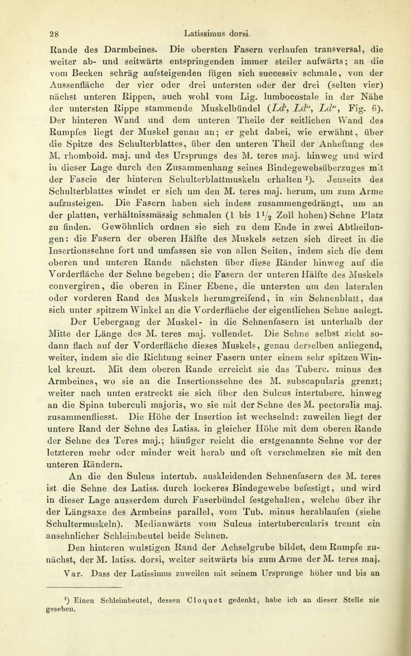 Rande des Darmbeines. Die obersten Fasern verlaufen transversal, die weiter ab- und seitwärts entspringenden immer steiler aufwärts; an die vom Becken schräg aufsteigenden fügen sich successiv schmale, von der Aussenfläche der vier oder drei untersten oder der drei (selten vier) nächst unteren Rippen, auch wohl vom Lig. lumbocostale in der Nähe der untersten Rippe stammende Muskelbündel {Ld', Ld, Ld, Fig. 6). Der hinteren Wand und dem unteren Theile der seitlichen Wand des Rumpfes liegt der Muskel genau an; er geht dabei, wie erwähnt, über die Spitze des Schulterblattes, über den unteren Theil der Anheffcung des M. rhomboid. maj. und des Ursprungs des M. teres maj. hinweg und wird in dieser Lage durch den Zusammenhang seines Bindegewebsüberzuges mit der Fascie der hinteren Schulterblattmuskeln erhalten i). Jenseits des Schulterblattes windet er sich um den M. teres maj. herum, um zum Arme aufzusteigen. Die Fasern haben sich indess zusammengedrängt, um an der platten, verhältnissmässig schmalen (1 bis I1/2 Zoll hohen) Sehne Platz zu finden. Gewöhnlich ordnen sie sich zu dem Ende in zwei Abtheilun- gen: die Fasern der oberen Hälfte des Muskels setzen sich direct in die Insertionssehne fort und umfassen sie von allen Seiten, indem sich die dem oberen und unteren Rande nächsten über diese Ränder hinweg auf die Vorderfläche der Sehne begeben; die Fasern der unteren Hälfte des Muskels convergiren, die oberen in Einer Ebene, die untersten um den lateralen oder vorderen Rand des Muskels herumgreifend, in ein Sehnenblatt, das sich unter spitzem Winkel an die Vorderfläche der eigentlichen Sehne anlegt. Der Uebergang der Muskel- in die Sehnenfasern ist unterhalb der Mitte der Länge des M. teres maj. vollendet. Die Sehne selbst zieht so- dann flach auf der Vorderfläche dieses Muskels, genau derselben anliegend, weiter, indem sie die Richtung seiner Fasern unter einem sehr spitzen Win- kel kreuzt. Mit dem oberen Rande erreicht sie das Tuberc. minus des Armbeines, wo sie an die Insertionssehne des M. subscapularis grenzt; weiter nach unten erstreckt sie sich über den Sulcus intertuberc. hinweg an die Spina tuberculi majoris, wo sie mit der Sehne des M. pectoralis maj. zusammenfliesst. Die Höhe der Insertion ist wechselnd: zuweilen liegt der untere Rand der Sehne des Latiss. in gleicher Höhe mit dem oberen Rande der Sehne des Teres maj.; häufiger reicht die erstgenannte Sehne vor der letzteren mehr oder minder weit herab und oft verschmelzen sie mit den unteren Rändern. An die den Sulcus intertub. auskleidenden Sehnenfasern des M. teres ist die Sehne des Latiss. durch lockeres Bindegewebe befestigt, und wird in dieser Lage ausserdem durch Faserbündel festgehalten, welche über ihr der Längsaxe des Armbeins parallel, vom Tub. minus herablaufen (siehe Schultermuskeln). Medianwärts vom Sulcus intertubercularis trennt ein ansehnlicher Schleinibeutel beide Sehnen. Den hinteren wulstigen Rand der Achselgrube bildet, dem Rumpfe zu- nächst, der M. latiss. dorsi, weiter seitwärts bis zum Arme der M. teres maj. Var. Dass der Latissimus zuweilen mit seinem Ursprünge höher und bis an ^) Einen Schleimbeutel, dessen Cloquet gedenkt, habe ich an dieser Stelle nie gesehen.