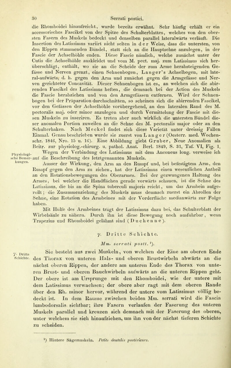 die Rhomboidei hinaufreicht, wurde bereits erwähnt. Sehr häufig erhält er ein accessorisches Fascikel von der Spitze des Schulterblattes, welches von den ober- sten Fasern des Muskels bedeckt und denselben parallel lateralwärts verläuft. Die Insertion des Latissimus variirt nicht selten in d e r Weise, dass die untersten, von den Rippen stammenden Bündel, statt sich an die Hauptsehne anzulegen, in der Fascie der Achselhöhle enden. Diese Fascie nämlich, welche zunächst unter der Cutis die Achselhöhle auskleidet und vom M. pect. maj. zum Latissimus sich her- überschlägt, enthält, wo sie an die Scheide der zum Arme herabsteigenden Ge- fässe und Nerven grenzt, einen Sehnenbogen, Langer's Achselbogen, mit late- ral-aufwärts, d. h. gegen den Arm und zunächst gegen die Armgelasse und Ner- ven gerichteter Concavität. Dieser Sehnenbogen ist es, an welchen sich die abir- renden Fascikel des Latissimus heften, die demnach bei der Action des Muskels die Fascie herabziehen und von den Armgefässen entfernen. Wird der Sehnen- bogen bei der Präparation durchschnitten, so scheinen sich die abirrenden Fascikel, vor den Gefässen der Achselhöhle vorübergehend, an den lateralen Rand des M. pectoralis maj. oder minor anzulegen und durch Vermittelung der Fascie mit die- sen Muskeln zu inseriren. Es treten aber auch wirklich die untersten Bündel die- ser anomalen Portion zuweilen an die Sehne des M. pectoralis major oder an den Schulterhaken. Nach Meckel findet sich diese Varietät unter dreissig Fällen Einmal. Genau beschrieben wurde sie zuerst von L an g e r (Oesterr. med. Wochen- schr. 184G, Nro. 15 u. IG). Eine Abbildung giebt Gr über. Neue Anomalien als Beitr. zur physiolog.-chirurg. u. pathol. Anat. Berl. 1849, S. 31, Taf. VI, Fig. 1. Physioiogi- Wegen der Verbindung des Latissimus mit dem Anconeus long, verweise ich scheBemer-aut die Beschreibung des letztgenannten Muskels, kungeii. Ausser der Wirkung, den Arm an den Rumpf und, bei befestigtem Arm, den Rumpf gegen den Arm zu ziehen, hat der Latissimus einen wesentlichen Antheil an den Rotationsbewegungen des Oberarmes. Bei der gezwungenen Haltung des Armes, bei welcher die Handflächen gerade vorwärts schauen, ist die Sehne des Latissimus, die bis an die Spina tuberculi majoris reicht, um das Armbein aufge- rollt ; die Zusammenziehung des Muskels muss demnach zuerst ein Abrollen der Sehne, eine Rotation des Armbeines mit der Vorderflächc medianwärts zur Folge haben. Mit Hülfe des Armbeines trägt der Latissimus dazu bei, das Schulterblatt der Wirbelsäule zu nähern. Durch ihn ist diese Bewegung noch ausführbar, wenn Trapezius und Rhomboidei gelähmt sind (Duchenne). y. Dritte Schichte. Mm. serrati postt.^). „ Sie besteht aus zwei Muskeln, von welchen der Eine am oberen Ende /• Dritte .Schichte, des Thorax von unteren Hals- und oberen Brustwirbeln abwärts an die nächst oberen Rippen, der andere am unteren Ende des Thorax von unte- ren Brust- und oberen Bauchwirbeln aufwärts an die unteren Rippen geht. Der obere ist am Ursprünge mit den Rhomboidei, wie der untere mit dem Latissimus verwachsen; der obere aber ragt mit dem oberen Rande über den Rh. minor hervor, während der untere vom Latissimus völlig be- deckt ist. In dem Räume zwischen beiden Mm. serrati wird die Fascia lumbodorsalis sichtbar; ihre Fasern verlaufen der Faserung des unteren Muskels parallel und kreuzen sich demnach mit der Faserung des oberen, unter welchem sie sich hinaufziehen, um ihn von der nächst tieferen Schichte zu scheiden. ') Hintere Sägemuskeln. Petits denteles posterieurs.