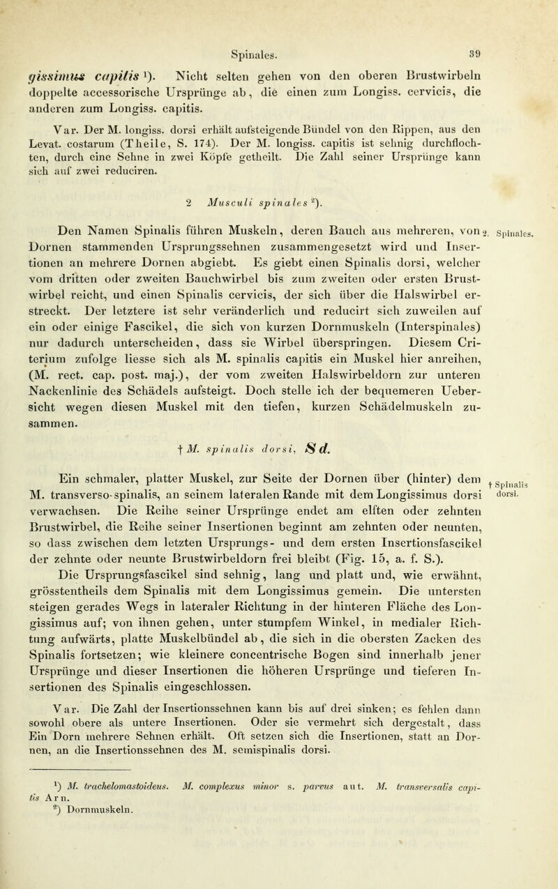 gissiinu^ capitis i). Nicht selten gehen von den oberen Brustwirbeln doppelte accessorische Ursprünge ab, die einen zum Longiss. cervicis, die anderen zum Longiss. capitis. Var. Der M. longiss. dorsi erhält aufsteigende Bündel von den Rippen, aus den Levat. costarum (Theile, S. 174). Der M. longiss. capitis ist sehnig durchfloch- ten, durch eine Sehne in zwei Köpfe getheilt. Die Zahl seiner Ursprünge kann sich auf zwei reduciren. 2 Musculi spinales ^■'■). Den Namen Spinalis führen Muskeln, deren Bauch aus mehreren, von2. Siünab Dornen stammenden Ursprnngssehnen zusammengesetzt wird und Inser- tionen an mehrere Dornen abgiebt. Es giebt einen Spinalis dorsi, welcher vom dritten oder zweiten Bauchwirbel bis zum zweiten oder ersten Brust- wirbel reicht, und einen Spinalis cervicis, der sich über die Halswirbel er- streckt. Der letztere ist sehr veränderlich und reducirt sich zuweilen auf ein oder einige Fascikel, die sich von kurzen Dornmuskeln (Interspinales) nur dadurch unterscheiden, dass sie Wirbel überspringen. Diesem Cri- terium zufolge Hesse sich als M. spinalis capitis ein Muskel hier anreihen, (M. rect. cap. post. maj.), der vom zweiten Halswirbeldorn zur unteren Nackenlinie des Schädels aufsteigt. Doch stelle ich der bequemeren Ueber- sicht wegen diesen Muskel mit den tiefen, kurzen Schädelmuskeln zu- sammen. ^ M. spinalis dorsi^ ^ d. Ein schmaler, platter Muskel, zur Seite der Dornen über (hinter) dem |gpi„j^]i M. transversO'spinalis, an seinem lateralen Rande mit dem Longissinms dorsi ^o^si- verwachsen. Die Reihe seiner Ursprünge endet am elften oder zehnten Brustwirbel, die Reihe seiner Insertionen beginnt am zehnten oder neunten, so dass zwischen dem letzten Ursprungs- und dem ersten Insertionsfascikel der zehnte oder neunte Brustwirbeldorn frei bleibt (Fig. 15, a. f. S.). Die Ursprungsfascikel sind sehnig, lang und platt und, wie erwähnt, grösstentheils dem Spinalis mit dem Longissimus gemein. Die untersten steigen gerades Wegs in lateraler Richtung in der hinteren Fläche des Lon- gissimus auf; von ihnen gehen, unter stumpfem Winkel, in medialer Rich- tung aufwärts, platte Muskelbündel ab, die sich in die obersten Zacken des Spinalis fortsetzen; wie kleinere concentrische Bogen sind innerhalb jener Ursprünge und dieser Insertionen die höheren Ursprünge und tieferen In- sertionen des Spinalis eingeschlossen. Var. Die Zahl der Insertionssehnen kann bis auf drei sinken; es fehlen dann sowohl obere als untere Insertionen. Oder sie vermehrt sich dergestalt, dass Ein Dorn mehrere Sehnen erhält. Oft setzen sich die Insertionen, statt an Dor- nen, an die Insertionssehnen des M. semispinalis dorsi. ^) M. trachelomastoideus. M. complexus minor s. parvus aut. M. transversalis capi- tis Arn. ®) Dornmuskeln.