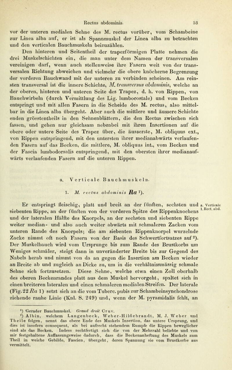vor der unteren medialen Sehne des M. rectus vorüber, vom Schambeine zur Linea alba auf, er ist als Spannmuskel der Linea alba zu betrachten und den verticalen Bauchmuskeln beizuzählen. Den hinteren und Seitentheil der trapezförmigen Platte nehmen die drei Muskelschichten ein, die man unter dem Namen der transversalen vereinigen darf, wenn auch stellenweise ihre Fasern weit von der trans- versalen Richtung abweichen und vielmehr die obere knöcherne Begrenzung der vorderen Bauch wand mit der unteren zu verbinden scheinen. Am rein- sten transversal ist die innere Schichte, M. transversus abdominis^ welche an der oberen, hinteren und unteren Seite des Trapez, d. h. von Rippen, von Bauchwirbeln (durch Vermittlung des Lig. lumbocostale) und vom Becken entspringt und mit allen Fasern in die Scheide des M. rectus, also mittel- bar in die Linea alba übergeht. Aber auch die mittlere und äussere Schichte enden grösstentheils in den Sehnenblättern, die den Rectus zwischen sich fassen, und gehen nur gleichsam nebenbei mit ihren Insertionen auf die obere oder untere Seite des Trapez über, die äusserste, M. obliquus ext., von Rippen entspringend, mit den untersten ihrer medianabwärts verlaufen- den Fasern auf das Becken, die mittlere, M. obliquus int., vom Becken und der Fascia lunibodorsalis entspringend, mit den obersten ihrer medianauf- wärts verlaufenden Fasern auf die unteren Rippen. a. Verticale Bauchmuskeln. 1. M. rectus abdominis Rct ^). Er entspringt fleischig, platt und breit an der fünften, sechsten und a. Verticaie siebenten Rippe, an der fünften von der vorderen Spitze des Rippenknochens und der lateralen Plälfte des Knorpels, an der sechsten und siebenten Rippe weiter median- und also auch weiter abwärts mit schmaleren Zacken vom unteren Rande des Knorpels; die am siebenten Rippenknorpel wurzelnde Zacke nimmt oft noch Fasern von der Basis des Schwertfortsatzes auf 2). Der Muskelbauch wird vom Ursprünge bis zum Rande des Brustkorbs um Weniges schmäler, steigt dann in unveränderter Breite bis zur Gegend des Nabels herab und nimmt von da an gegen die Insertion am Becken wieder an Breite ab und zugleich an Dicke zu, um in die verhältnissmässig schmale Sehne sich fortzusetzen. Diese Sehne, welche etwa einen Zoll oberhalb des oberen Beckenrandes platt aus dem Muskel hervorgeht, spaltet sich in einen breiteren lateralen und einen schmaleren medialen Streifen. Der laterale (Fig. 22 Ea 1) setzt sich an die vom Tuberc. pubis zur Schambeinsynchondrose ziehende rauhe Linie (Knl. S. 249) und, wenn der M. pyramidalis fehlt, an ^) Gerader Bauchmuskel. Grand droit Cruv. ^) Albin, welchem Langenbeck, W eb e r-H ild e br an dt, M. J. Weber und Theile folgen, nennt das obere Ende des Muskels Insertion, das untere Ursprung, und dies ist insofern consequent, als bei aufrecht stehendem Rumpfe die Rippen beweglicher sind als das Becken, Indess rechtfertigt sich die von der Mehr?ahl beliebte und von mir festgehaltene Auffassungsweise dadurch, dass die Beckenanheftung des Muskels zum Theil in weiche Gebilde, Fascien, übergeht, deren Spannung sie vom Brustkorbe aus vermittelt.