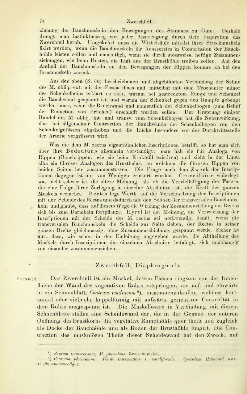Ziehung der Bauchmuskeln den Bewegungen des Stammes zu Gute. Deshalb drängt man instinktmässig vor jeder Anstrengung durch tiefe Inspiration das Zwerchfell herab. Umgekehrt muss die Wirbelsäule mittelst ihrer Streckmuskeln fixirt werden, wenn die Bauchmuskeln ihr Aeusserstes in Compression der Bauch- höhle leisten sollen und namentlich, wenn sie durch stossweise, heltige Zusammen- ziehungen, wie beim Husten, die Luft aus der Brusthöhle treiben sollen. Auf den Antheil der Bauchmuskeln an den Bewegungen der Rippen komme ich bei den Brustmuskeln zurück. Aus der oben (S. GO) beschriebenen und abgebildeten Verbindung der Sehne des M. obliq. ext. mit der Fascia iliaca und mittelbar mit dem Trochanter minor des Schenkelbeins erklärt es sieh, warum bei gestrecktem Rumpf und Schenkel die Bauchwand gespannt ist, und warum der Schenkel gegen den Rumpie gebeugt werden muss, wenn die Bauchwand und namentlich der Schenkelbogen (zum Behuf der Reduction von Brüchen) erschlafft werden sollen. Der Ursprung einiger Bündel des M. obliq. int. und transv. vom Schenkelbogen hat die Nebenwirkung, dass bei allgemeiner Contraction der Bauchwände der Schenkelbogen von den Schenkelgelassen abgehoben und die Lücke besonders vor der Durchtrittsstelle der Arterie vergrösscn-t wird. Was die dem M. rectus eigenthümlichen Inscriptionen betriffst, so hat man sich über ihre Bedeutung allgemein verständigt: man hält sie für Analoga von Rippen (Rauchrippen, wie sie beim Krokodil exisliren) und sieht in der Linea alba ein fibröses Analogon des Brustbeins, an welchem die fibrösen Rippen von beiden Seiten her zusammenstossen. Die Frage nach dem Zweck der Inscrip- tionen dagegen ist nur von Wenigen erörtert worden. Cruveilhier widerlegt, was nicht schwer ist, die ältere Meinung, als ob die Vervielfältigung der Fasern, die eine Folge ihrer Zerlegung in einzelne Abschnitte ist, die Kraft des ganzen Muskels vermehre. Bertin legt Werth auf die Verschmelzung der Inscriptionen mit der Scheide des Rectus und dadurch mit den Sehnen der transversalen Bauchmus- keln und glaubt, dass auf diesem Wege die A'\'irkung der Zusammenziehung des Rectus sich bis zum Darmbein fortpflanze. Hyrtl ist der Meinung, die Verwachsung der Inscriptionen mit der Scheide des M. rectus sei nothwendig, damit, wenn die transversalen Bauchmuskeln die Scheide zur Seite ziehen, der Rectus in seiner ganzen Breite gleichmässig, ohne Zusammenschiebung, gespannt werde. Sicher ist nur, dass, wie schon in der Einleitung angegeben wurde, die Abtheilung des Muskels durch Inscriptionen die einzelnen Abschnitte belähigt, sich unabhängig von einander zusammenzuziehen. Zwerchfell, Diaphragma i). Zwerchfell. Das Zwerchfell ist ein Muskel, dessen Fasern ringsum von der Innen- fläche der Wand des vegetativen Rohrs entsja'ingen, um auf- und einwärts in ein Sehnenblatt, Centrum tendineum'^)^ zusammenznlanfen, welches hori- zontal oder vielmehr kuppeli'örmig mit aufwärts gerichteter Convexität in dem Rohre ausgespannt ist. Die Muskelfasern in Verbindung mit diesem Sehnenblatte stellen eine Scheidewand dar, die in der Gegend der imteren Oefi'nung des Brustkorbs die vegetative Rumpfhöhlc quer theilt und zugleich als Decke der Bauchhöhle und als Boden der Brusthöhle fiingirt. Die Con- traction des muskulösen Theils dieser Scheidewand hat den Zweck, auf ') Septum transrersum, AI. phrenlcus, Zwcrclunuskcl. ^) Centrum phrenicum. Tendo intermed'ms s. cordifoniiis. Spaculum lldinont'd aut. Trpße aponenrotique.