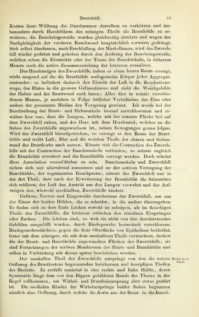 Kosten ihrer Wölbung die Durchmesser derselben zu verkürzen und ins- besondere durch Herabführen des sehnigen Theils die Brusthöhle zu er- weitern; die Baucheingeweide werden gleichzeitig abwärts und wegen der Nachgiebigkeit der vorderen Bauchwand hauptsächlich vorwärts gedrängt. Sich selbi-t überlassen, nach Erschlaffung der Muskelfasern, wird das Zwerch- fell wieder gedehnt und gehoben durch den Andrang der Baucheingeweide, welchen schon die Elasticität oder der Tonus der Bauchwände, in höherem Maasse noch die active Zusammenziehung der letzteren veranlasst. Das Herabsteigen des Zwerchfells, indem es einen leeren Raum erzeugt, wirkt saugend auf die die Brusthöhle umlagernden Körper jedes Aggregat- zustandes : es befördert dadurch den Eintritt der Luft in die Respirations- wege, des Blutes in die grossen Gefässstämme und zieht die Weichgebilde des Halses und der Brustwand nach innen; Alles dies in relativ verschie- denem Maasse, je nachdem in Folge örtlicher Verhältnisse das Eine oder andere der genannten Medien den Vorsprung gewinnt. Ich werde bei der Beschreibung der Brust- und Halsmuskeln hierauf zurückkommen und er- wähne hier nur, dass die Lungen, welche mit der unteren Fläche frei auf dem Zwerchfell ruhen, und das Herz mit dem Herzbeutel, welcher an die Sehne des Zwerchfells angewachsen ist, seinen Bewegungen genau folgen. Wird das Zwerchfell hinaufgetrieben, so verengt es den Raum der Brust- höhle und treibt Luft, Blut und die weichen Theile der oberen und Seiten- wand des Brustkorbs nach aussen. Könnte sich die Contraction des Zwerch- fells mit der Contraction der Bauchmuskeln verbinden, so müsste zugleich die Brusthöhle erweitert und die Bauchhöhle verengt werden. Doch scheint diese Association unausführbar zu sein. Bauchmuskeln und Zwerchfell ziehen sich nur alternirend zusammen und an der activen Verengung der Bauchhöhle, der sogenannten Bauchpresse, nimmt das Zwerchfell nur in der Art Theil, dass nach der Erweiterung der Brusthöhle die Stimmritze sich schliesst, der Luft den Austritt aus den Lungen verwehrt und das Auf- steigen des, wiewohl erschlafften, Zwerchfells hindert. Gefässe, Nerven und Eingeweide durchsetzen das Zwerchfell, um aus der Einen der beiden Höhlen, die es scheidet, in die andere überzugehen. Es finden sich zu dem Ende Lücken sowohl im sehnigen, als im fleischigen Theile des Zwerchfells, die letzteren zwischen den einzelnen Ursprüngen oder Zacken. Die Lücken sind, so weit sie nicht von den durchtretenden Gebilden ausgefüllt werden, durch Bindegewebe hermetisch verschlossen. Bindegewebsschichten, gegen die freie Oberfläche von Epithelium bekleidet, fester mit dem sehnigen, als mit dem muskulösen Theile verwachsen, decken die der Brust- und Bauchhöhle zugewandten Flächen des Zwerchfells; sie sind Fortsetzungen der serösen Membranen der Brust- und Bauchhöhle und sollen in Verbindung mit diesen später beschrieben werden. Der nuiskulöse Theil des Zwerchfells entspringt von den die untere Muskulöser OefFnung des Brustkastens begrenzenden knöchernen und knorpligen Theilen des Skeletts. Er zerfällt zunächst in eine rechte und linke Hälfte, deren Symmetrie längs dem von den Rippen gebildeten Rande des Thorax in der Regel vollkommen, am Wirbel- und Brustbeinursprung aber etwas gestört ist. Die medialen Ränder der Wirbelursprünge beider Seiten begrenzen nämlich eine OefTnung, durch welche die Aorta aus der Brust- in die Bauch-