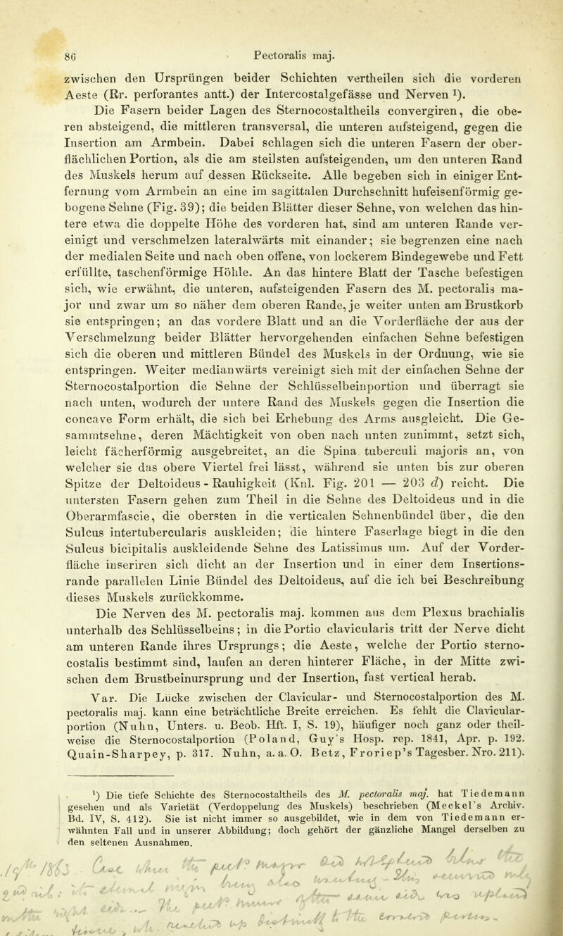 zwischen den Ursprüngen beider Schichten vertheilen sich die vorderen Aeste (Rr. perforantes antt.) der Intercostalgefässe und Nerven i). Die Fasern beider Lagen des Sternocostaltheils convergiren, die obe- ren absteigend, die mittleren transversal, die unteren aufsteigend, gegen die Insertion am Armbein. Dabei schlagen sich die unteren Fasern der ober- flächlichen Portion, als die am steilsten aufsteigenden, um den unteren Rand des Muskels herum auf dessen Rückseite. Alle begeben sich in einiger Ent- fernung vom Armbein an eine im sagittalen Durchschnitt hufeisenförmig ge- bogene Sehne (Fig. 39); die beiden Blätter dieser Sehne, von welchen das hin- tere etwa die doppelte Höhe des vorderen hat, sind am unteren Rande ver- einigt und verschmelzen lateralwärts mit einander; sie begrenzen eine nach der medialen Seite und nach oben offene, von lockerem Bindegewebe und Fett erfüllte, taschenförmige Höhle, An das hintere Blatt der Tasche befestigen sich, wie erwähnt, die unteren, aufsteigenden Fasern des M. pectoralis ma- jor und zwar um so näher dem oberen Rande, je weiter unten am Brustkorb sie entspringen; an das vordere Blatt und an die Vorderfläche der aus der Verschmelzung beider Blätter hervorgehenden einfachen Sehne befestigen sich die oberen und mittleren Bündel des Muskels in der Ordnung, wie sie entspringen. Weiter medianwärts vereinigt sich mit der einfachen Sehne der Sternocostalportion die Sehne der Schlüsselbeinportion und überragt sie nach unten, wodurch der untere Rand des Muskels gegen die Insertion die concave Form erhält, die sich bei Erhebung des Arms ausgleicht. Die Ge- sammtsehne, deren Mächtigkeit von oben nach unten zunimmt, setzt sich, leicht fächerförmig ausgebreitet, an die Spina tuberculi majoris an, von welcher sie das obere Viertel frei lässt, während sie unten bis zur oberen Spitze der Deltoideus - Rauhigkeit (Knl. Fig. 201 — 203 d) reicht. Die untersten Fasern gehen zum Theil in die Sehne des Deltoideus und in die Oberarmfascie, die obersten in die verticalen Sehnenbündel über, die den Sulcus intertubercularis auskleiden; die hintere Faserlage biegt in die den Sulcus bicipitalis auskleidende Sehne des Latissimus um. Auf der Vorder- fläche inseriren sich dicht an der Insertion und in einer dem Insertions- rande parallelen Linie Bündel des Deltoideus, auf die ich bei Beschreibung dieses Muskels zurückkomme. Die Nerven des M. pectoralis maj. kommen aus dem Plexus brachialis unterhalb des Schlüsselbeins; in die Portio clavicularis tritt der Nerve dicht am unteren Rande ihres Ursprungs; die Aeste, welche der Portio sterno- costalis bestimmt sind, laufen an deren hinterer Fläche, in der Mitte zwi- schen dem Brustbeinursprung und der Insertion, fast vertical herab. Var. Die Lücke zwischen der Clavicular- und Sternocostalportion des M. pectoralis maj. kann eine beträchthche Breite erreichen. Es fehlt die Clavicular- portion (Nuhn, Unters, u. Beob. Hft. I, S. 19), häufiger noch ganz oder theil- weise die Sternocostalportion (Poland, Guy's Hosp. rep. 1841, Apr. p. 192. Quain-Sharpey, p. 317, Nuhn, a.a.O. Betz, Frori ep's Tagesber. Nro. 211). ^) Die tiefe Schichte des Sternocostaltheils des M. pectoralis maj. hat Tiedemann gesehen und als Varietät (Verdoppelung des Muskels) beschrieben (Meckel's Archiv. Bd. IV, S. 412), Sie ist nicht immer so ausgebildet, wie in dem von Tiedemann er- wähnten Fall und in unserer Abbildung; doch gehört der gänzliche Mangel derselben zu den seltenen Ausnahmen,