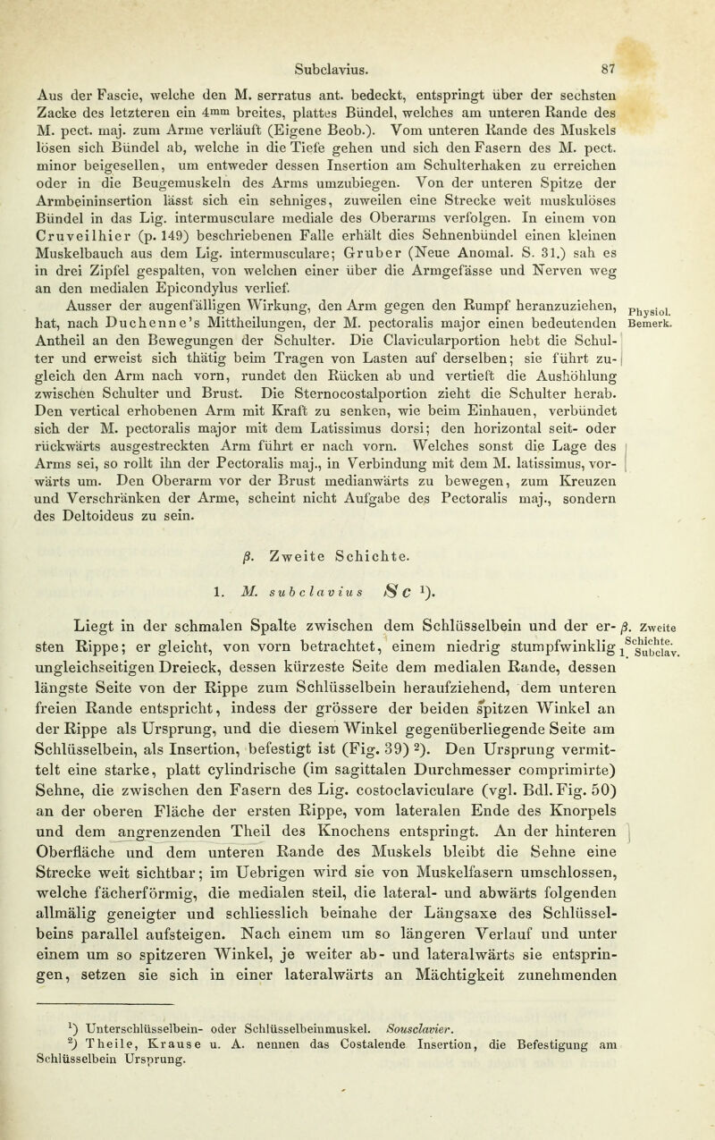 Aus der Fascie, welche den M. serratus ant. bedeckt, entspringt über der sechsten Zacke des letzteren ein 4mm breites, plattes Bündel, welches am unteren Rande des M. pect. maj. zum Arme verläuft (Eigene Beob.)- Vom unteren Kande des Muskels lösen sich Bündel ab, welche in die Tiefe gehen und sich den Fasern des M. pect, minor beigesellen, um entweder dessen Insertion am Schulterhaken zu erreichen oder in die Beugemuskeln des Arms umzubiegen. Von der unteren Spitze der Armbeininsertion lässt sich ein sehniges, zuweilen eine Strecke weit muskulöses Bündel in das Lig. intermusculare mediale des Oberarms verfolgen. In einem von Cruveilhier (p. 149) beschriebenen Falle erhält dies Sehnenbündel einen kleinen Muskelbauch aus dem Lig. intermusculare; Gruber (Neue Anomal. S. 31.) sah es in drei Zipfel gespalten, von welchen einer über die Armgefässe und Nerven weg an den medialen Epicondylus verlief. Ausser der augenfälligen Wirkung, den Arm gegen den Rumpf heranzuziehen, pjjygjQj hat, nach Duchenne's Mittheilungen, der M. pectoralis major einen bedeutenden Bemerk. Antheil an den Bewegungen der Schulter. Die Clavicularportion hebt die Schul- ter und erweist sich thätig beim Tragen von Lasten auf derselben; sie führt zu- \ gleich den Arm nach vorn, rundet den Rücken ab und vertieft die Aushöhlung zwischen Schulter und Brust. Die Sternocostalportion zieht die Schulter herab. Den vertical erhobenen Arm mit Kraft zu senken, wie beim Einbauen, verbündet sich der M. pectoralis major mit dem Latissimus dorsi; den horizontal seit- oder rückwärts ausgestreckten Arm führt er nach vorn. Welches sonst die Lage des Arms sei, so rollt ihn der Pectoralis maj., in Verbindung mit dem M. latissimus, vor- wärts um. Den Oberarm vor der Brust medianwärts zu bewegen, zum Kreuzen und Verschränken der Arme, scheint nicht Aufgabe des Pectoralis maj., sondern des Deltoideus zu sein. ß. Zweite Schichte. 1. M. subclavius C Liegt in der schmalen Spalte zv^ischen dem Schlüsselbein und der er- ß. zweite sten Rippe; er gleicht, von vorn betrachtet, einem niedrig stumpfv^inkligj^'^g^^^j^^ ungleichseitigen Dreieck, dessen kürzeste Seite dem medialen Rande, dessen längste Seite von der Rippe zum Schlüsselbein heraufziehend, dem unteren freien Rande entspricht, indess der grössere der beiden spitzen W^inkel an der Rippe als Ursprung, und die diesem Winkel gegenüberliegende Seite am Schlüsselbein, als Insertion, befestigt ist (Fig. 39) 2), Den Ursprung vermit- telt eine starke, platt cylindrische (im sagittalen Durchmesser comprimirte) Sehne, die zw^ischen den Fasern des Lig. costoclaviculare (vgl. Bdl. Fig. 50) an der oberen Fläche der ersten Rippe, vom lateralen Ende des Knorpels und dem angrenzenden Theil des Knochens entspringt. An der hinteren i Oberfläche und dem unteren Rande des Muskels bleibt die Sehne eine Strecke weit sichtbar; im Uebrigen wird sie von Muskelfasern umschlossen, welche fächerförmig, die medialen steil, die lateral- und abwärts folgenden allmälig geneigter und schliesslich beinahe der Längsaxe des Schlüssel- beins parallel aufsteigen. Nach einem um so längeren Verlauf und unter einem um so spitzeren Winkel, je weiter ab- und lateralwärts sie entsprin- gen, setzen sie sich in einer lateralwärts an Mächtigkeit zunehmenden ^) Unterschlüsselbein- oder Schlüsselbeinmuskel. Sousciavier. ^) Theile, Krause u. A. nennen das Costalende Insertion, die Befestigung am Schlüsselbein Ursprung.
