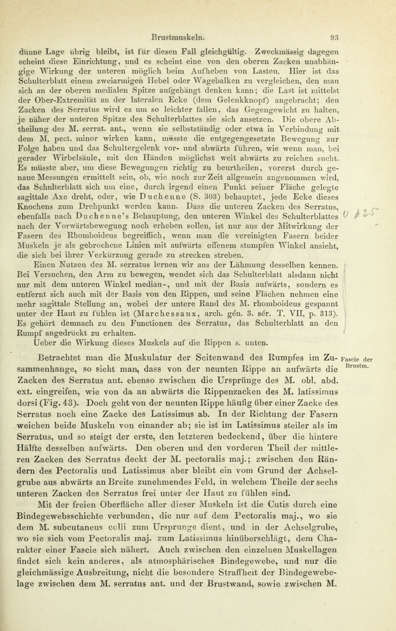 dünne Lage übrig bleibt, ist für diesen Fall gleichgültig. Zweckmässig dagegen scheint diese Einrichtung, und es scheint eine von den oberen Zacken unabhän- gige Wirkung der unteren möglich beim Aufheben von Lasten. Hier ist das Schulterblatt einem zweiarmigen Hebel oder Wagebalken zu vergleichen, den man sich an der oberen medialen Spitze aufgehängt denken kann; die Last ist mittelst der Ober-Extremität an der lateralen Ecke (dem Gelenkknopf) angebracht; den Zacken des Serratus wird es um so leichter fallen, das Gegengewicht zu halten, je näher der unteren Spitze des Schulterblattes sie sich ansetzen. Die obere Ab- theilung des M. serrat. ant., wenn sie selbstständig oder etwa in Verbindung mit dem M. pect, minor wirken kann, müsste die entgegengesetzte Bewegung zur Folge haben und das Schultergelenk vor- und abwärts führen, wie wenn man, bei gerader Wirbelsäule, mit den Händen möglichst weit abwärts zu reichen sucht. Es müsste aber, um diese Bewegungen richtig zu beurtheilen, vorerst durch ge- naue Messungen ermittelt sein, ob, wie noch zur Zeit allgemein angenommen wird, das Schulterblatt sich um eine, durch irgend einen Punkt seiner Fläche gelegte sagittale Axe dreht, oder, wie Duchenne (S. 303) behauptet, jede Ecke dieses Knochens zum Drehpunkt werden kann. Dass die unteren Zacken des Serratus, , ebenfalls nach Duchenne's Behauptung, den unteren Winkel des Schulterblattes '^ f ^ nach der Vorwärtsbewegung noch erheben sollen, ist nur aus der Mitwirkung der Fasern des Rhomboideus begreiflich, wenn man die vereinigten Fasern beider Muskeln je als gebrochene Linien mit aufwärts offenem stumpfen Winkel ansieht, die sich bei ihrer Verkürzung gerade zu strecken streben. Einen Nutzen des M. serratus lernen wir aus der Lähmung desselben kennen. Bei Versuchen, den Arm zu bewegen, wendet sich das Schulterblatt alsdann nicht nur mit dem unteren Winkel median-, und mit der Basis aufwärts, sondern es entfernt sich auch mit der Basis von den Rippen, und seine Flächen nehmen eine mehr sagittale Stellung an, wobei der untere Rand des M. rhomboideus gespannt unter der Haut zu fühlen ist (Marchessaux, arch. gen. 3. ser. T. VH, p. 313). Es gehört demnach zu den Functionen des Serratus, das Schulterblatt an den Rumpf angedrückt zu erhalten. Ueber die Wirkung dieses Muskels auf die Rippen s. unten. Betrachtet man die Muskulatur der Seitenwand des Rumpfes im Zu- Fascie der sammenhange, so sieht man, dass von der neunten Rippe an aufwärts die Zacken des Serratus ant. ebenso zwischen die Ursprünge des M. obl. abd. ext. eingreifen, wie von da an abwärts die Rippenzacken des M. latissimus dorsi (Fig. 43). Doch geht von der neunten Rippe häufig über einer Zacke des Serratus noch eine Zacke des Latissimus ab. In der Richtung der Fasern weichen beide Muskeln von einander ab; sie ist im Latissimus steiler als im Serratus, und so steigt der erste, den letzteren bedeckend, über die hintere Hälfte desselben aufwärts. Den oberen und den vorderen Theil der mittle- ren Zacken des Serratus deckt der M. pectoralis maj.; zwischen den Rän- dern des Pectoralis und Latissimus aber bleibt ein vom Grund der Achsel- grube aus abwärts an Breite zunehmendes Feld, in welchem Theile der sechs unteren Zacken des Serratus frei unter der Haut zu fühlen sind. Mit der freien Oberfläche aller dieser Muskeln ist die Cutis durch eine Bindegewebsschichte verbunden, die nur auf dem Pectoralis maj., wo sie dem M. subcutaneus colli zum Ursprünge dient, und in der Achselgrube, wo sie sich vom Pectoralis maj. zum Latissimus hinüberschlägt, dem Cha- rakter einer Fascie sich nähert. Auch zwischen den einzelnen Muskellagen findet sich kein anderes, als atmosphärisches Bindegewebe, und nur die gleichmässige Ausbreitung, nicht die besondere Strafl^heit der Bindegewebe- lage zwischen dem M. serratus ant. und der Brustwand, sowie zwischen M.