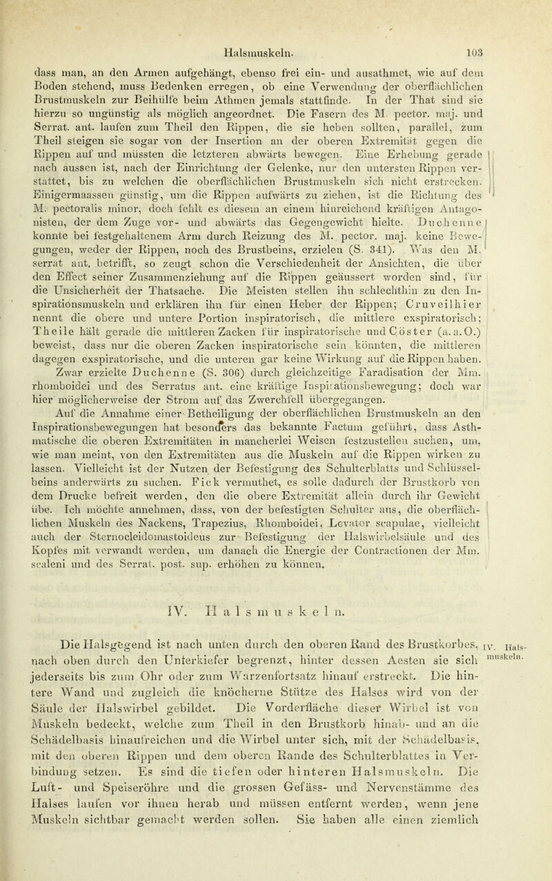 dass man, an den Armen aufgehängt, ebenso frei ein- und ausathmet, wie auf dem Boden stehend, muss Bedenken erregen, ob eine Verwendung der oberfliichliclicn Brustmuskeln zur Beihiilfe beim Athmen jemals stattfinde. In der Tliat sind sie hierzu so ungünstig als möglich angeordnet. Die Fasern des M. pector. maj. und Serrat. ant. laufen zum Theil den Rippen, die sie heben sollten, parailcl, zum Theil steigen sie sogar von der Insertion an der oberen Extremität gegen die Rippen auf und müssten die letzteren abwärts bewegen. Eine Erhebung gerade 1 nach aussen ist, nach der Einrichtung der Gelenke, nur den untersten Rippen vcr- ■ stattet, bis zu welchen die oberflächlichen Brustmuskeln sich nicht erstrv-^cken. ' Einigermaassen günstig, um die Rippen aufwärts zu ziehen, ist die Richtung des M. pectoralis minor, doch fehlt es diesem an einem hinreichend kräftigen Antago- nisten, der dem Zuge vor- und abwärts das Gegengewicht hielte. Duchenne] konnte bei festgehaltenem Arm durch Reizung des M. pector. maj. keine Bcwe- | gungen, weder der Rippen, noch des Bi'ustbeins, erzielen (S. 341). ^>Vas den M.' serrat ant. betrifft, so zeugt schon die Verschiedenheit der Ansichten, die über den Effect seiner Zusaramenziehung auf die Rippen geäussert worden sind, l'ür die Unsicherheit der Thatsache. Die Meisten stellen ihn schlechthin zu den In- spirationsmuskeln und erklären ihn für einen Heber der Rippen; Cruveiihier nennt die obere und untere Portion inspiratorisch, die mittlere exspiratorisch; Theile hält gerade die mittleren Zacken für inspiratorische undCöster (a.a.O.) beweist, dass nur die oberen Zacken inspiratorische sein könnten, die mittleren dagegen exspiratorische, und die unteren gar keine Wirkung auf die Rippen haben. Zwar erzielte Duchenne (S. SOG) durch gleichzeitige Faradisation der Mm. rhomboidei und des Serratus ant. eine kräftige Inspi; ationsbewegung; doch war hier möglicherweise der Strom auf das Zwerchfell übergegangen. Auf die Annahme einer Betheiligung der oberflächlichen Brustmuskeln an den Inspirationsbewegungen hat besonciers das bekannte Factum geführt, dass Asth- matische die oberen Extremitäten in mancherlei Weisen festzustellen suchen, um, wie man meint, von den Extremitäten aus die Muskeln auf die Rippen wirken zu lassen. Vielleicht ist der Nutzen der Befestigung des Schulterblatts und Schlüssel- beins anderwärts zu suchen. Fick vermuthet, es solle dadurch der Brustkorb von dem Drucke befreit werden, den die obere Extremität allein durch ihr Gewicht übe. Ich möchte annehmen, dass, von der befestigten Schulter aus, die oberfläch- lichen Muskeln des Nackens, Trapezius, Rhomboidei, Levator scapulae, vielleicht auch der Sternocleidomastoideus zur Befestigung der Halswirbelsäule und des Kopfes mit verwandt werden, um danach die Energie der Contractionen der Mm. scaleni und des Serrat. post. sup. erhöhen zu können. iV. II als m u ö k e 1 ii. Die Halsg^geiid ist nach unten durch den oberen Kaiid des Brustkorbes, xiais- nach oben durch den Unterkiefer begrenzt, hinter dessen Aesten sie sicli '-^i^^'- jederseits bis zum Ohr oder zum Vfarzenfortsatz liinauf erstreckt. Die hin- tere Wand und zugleich die knöcherne Stütze des Halses wird von der Säule der Halswirbel gebildet. Die Vorderfläche dieser Wirljel ist von Mtiskeln bedeckt, welche zum Theil in den Brustkorb hinab- und an die Schädelbasis hinaufreichen und die Wirbel unter sich, mit der [Sciiadelbapis, mit den oberen Rippen und dem oberen Rande des Schulterblattes in Ver- bindung setzen. Es sind die tiefen oder hinteren Halsmuskeln. Die Luft- und Speiseröhre und die grossen Gefäss- und Nervenstämme des Halses laufen vor ihnen herab und müssen entfernt werden, wenn jene Muskeln sichtbar gemacl't werden sollen. Sie haben alle einen ziemlich