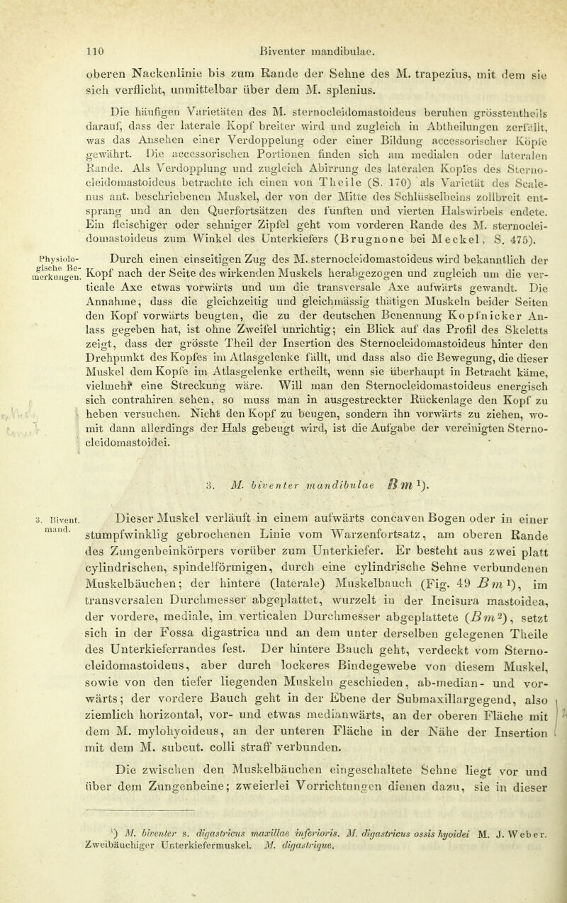 oberen Nackenlinie bis zum Rande der Seime des M. trapezius, mit dem sie sich verflicht, unmittelbar über dem M. splenius. Die häufigen Varietäten des M. sternocleidomastoideus beruhen grössteuthells darauf, dass der laterale Kopf breiter wird und zugleich in Abtheilungen zerfällt, was das Ansehen einer Verdoppelung oder einer Bildung accessorischer Kopie gewährt. Die acccssorischen Portionen finden sich am medialen oder lateralen Kande. Als Verdopplung und zugleich Abirrung des lateralen Koples des Slcnin- cleidomastoideus betrachte ich einen von Theile (S. 170) als Varietät des Scale- nus aut. beschriebenen Muskel, der von der Mitte des Schlüsselbeins zollbreit ent- sprang und an den Quei'fortsätzen des fünften und vierten Halswirbels endete. Ein fleischiger oder sehniger Zipfel geht vom vorderen Rande des M. sternoclei- domastoideus zum Winkel des Unterkiefers (Brugnone bei Meckel, S. 475). Physioio- Durch einen einseitigen Zug des M. sternocleidomastoideus wird bekanntlich der merkung^u' Kopf nach der Seite des wirkenden Muskels herabgezogen und zugleich um die ver- ticale Axe etwas vorwärts und um die transversale Axe aufwärts gewandt. Die Annahme, dass die gleichzeitig und gleichmässig thätigcn Muskeln beider Seiten den Kopf vorwärts beugten, die zu der deutschen Benennung Kopfnicker An- lass gegeben hat, ist ohne Zweifel unrichtig; ein Blick auf das Profil des Skeletts zeigt, dass der grösste Theil der Insertion des Sternocleidomastoideus hinter den Drehpunkt des Kopfes im Atlasgelenke fällt, und dass also die Bewegung, die dieser Muskel dem Kopfe im Atlasgelenke ertheilt, wenn sie überhaupt in Betracht käme, vieimeh? eine Streckung wäre. Will man den Sternocleidomastoideus energisch sich contrahiren sehen, so muss man in ausgestreckter Kückenlage den Kopf zu heben versuchen. Nicht den Kopf zu beugen, sondern ihn vorwärts zu ziehen, wo- mit dann allerdings der Hals gebeugt wird, ist die Aufgabe der vereinigten Sterno- cleidomastoidei. 3. M. biven ter mayidibulae B 711 1). 3. r.ivent. maiid. Dieser Muskel verläuft in einem aufwärts concaven Bogen oder in einer stumpfwinklig gebrochenen Linie vom Warzenfortsatz, am oberen Rande des Zungenbeinkörpers vorüber zum Unterkiefer. Er besteht aus zwei platt cylindrischen, spindeiförmigen, durch eine cylindrische Sehne verbundenen Muskelbäuchen; der hintere (laterale) Muskelbauch (Fig. 49 ^mi), im transversalen Durchmesser abgeplattet, wurzelt in der Incisura mastoidea, der vordere, mediale, im verfcicalen Durchmesser abgeplattete {Bm^)^ setzt sich in der Fossa digastrica und an dem unter derselben gelegenen Theile des Unterkieferrandes fest. Der hintere Bauch geht, verdeckt vom Sterno- cleidomastoideus, aber durch lockeres Bindegewebe von diesem Muskel, sowie von den tiefer liegenden Muskeln geschieden, ab-median- und vor- wärts; der vordere Bauch geht in der Ebene der Submaxillargegend, also ziemlich horizontal, vor- und etwas medianwärts, an der oberen Fläche mit dem M. mylohyoideus, an der unteren Fläche in der Nähe der Insertion mit dem M. subcut. colli straft verbunden. Die zwischen den Muskelbäuchen eingeschaltete Sehne liegt vor und über dem Zungenbeine; zweierlei Vorrichtungen dienen dazu, sie in dieser ') 31. biventer s. digastricus maxillae inferioris. M. digastricus ossis hyoidei M. J.Weber. Zweibäucliiger Unterkiefermuskel. M. digastrique.