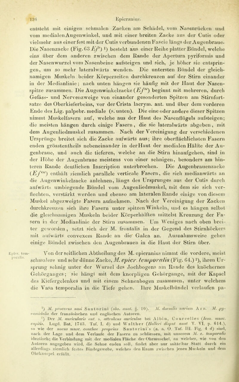 13G • Epicruuiiig. entsteht mit einigen schmalen Zacken am Schädel, vom Nasenrücken und vom medialenAugenwinkel, und mit einer breiten Zacke aus der Cutis oder vielmehr aus einer fest mit der Cutis verbundenen Fascie längs der Augenbraue. Die Nasenzacke (Fig. 03 i^/') i) besteht aus einer Reihe platter Bündel, welche eins über dem anderen zwischen dem Rande der Apertura pyriformis und der Nasenwurzel vom Nasenbeine aufsteigen und sich, je höher sie entsprin- gen, um so mehr lateralwärts wenden. Die untersten Bündel der gleich- namigen Muskeln beider Körperseiten durchkreuzen auf der Stirn einander in der Medianlinie ; nach unten hängen sie häufig mit der Haut der Nasen- spitze zusammen. Die Augenwinkelzacke (i^J/'O beginnt mit mehreren, durch Gefäss- und Nervenzweige von einander gesonderten Spitzen am Stirnfort- satze des Oberkieferbeins, vor der Crista lacrym. ant. und über dem vorderen Ende des Lig. palpebr. mediale (s. unten). Die eine oder andere dieser Spitzen nimmt Muskelfasern auf, welche aus der Haut des Nasenflügels aufsteigen; die meisten hängen durch einige Fasern , die sie lateralwärts abgeben, mit dem Augenliedmuskel zusammen. Nach der Vereinigung der verschiedenen Ursprünge breitet sich die Zacke aufwärts aus; ihre oberflächlichsten Fasern enden grösstentheils nebeneinander in der Haut der medialen Häll te der Au- genbraue, und auch die tieferen, welche an die Stirn hinaufgehen, sind in der Höhe der Augenbraue meistens von einer sehnigen, besonders am hin- teren Rande deutlichen Inscription unterbrochen. Die Augenbrauenzacke {TLf) enthält ziemlich parallele verticale Fasern, die sich medianwärts an die Augenwinkelzacke anlehnen, längs des Ursprunges aus der Cutis durch aufwärts umbiegende Bündel vom Augenliedmuskel, mit dem sie sich ver- flechten, verstärkt Averden und ebenso am lateralen Rande einige von diesem Muskel abgezweigte Fasern aufnehmen. Nach der Vereinigung der Zacken durchkreuzen sich ihre Fasern unter spitzen Winkeln, und es hängen selbst die gleichnamigen Muskeln beider Körperhälften mittelst Kreuzung der Fa- sern in der Medianlinie der Stirn zusammen. Um Weniges nach oben brei- ter geworden , setzt sich der M. frontalis in der Gegend des Stirnhöckers mit aufwärts convexem Rande an die Galea an. Ausnahmsweise gehen einige Bündel zwischen den Augenbrauen in die Haut der Stirn über. Epif r. tcm- Von der Seitlichen Abtheilung des M. epicranius nimmt die vordere, meist i'^-'^'^' schmalere und sehr dünne Zacke, M. epicr. iemporalis (Fig. 64.) ^)j ihren Ur- sprung sehnig unter der W^u'zel des Jochbogens am Rande des knöchernen Gehörganges; sie hängt mit dem knorpligen Gehörgange, mit der Kapsel des Kiefergelenkes und mit einem Sehnenbogen zusammen, unter welchem die Vasa temporalia in die Tiefe gehen. Ihre Muskelbündel verlaufen pa- ^) M. procerus nasi Santorini (obs. anal. §. 10). M. dorsal/s narinm Arn. M. iiy- ramidaUs der französischen und englischen Autoren. ■•^) Der M. aurkularis aiit. s. attrahens nuriculae bei Ali>in, C()nrc(;llcs {Icon. miisc capitis. Lngd. Bat. 1743. Taf. I. d) und Walther {Ilallcn disput nnat '\\ VI. p. 614.). so wie der nums mtisc. conchae proprius Santo riui's (a. a. (J. Tat', iii Fig, 4 d) sind, nach der Lage und dem Verlaufe der Fasern zu schliessen, mit uusi rem .)/. e.. (emporalls identisch; die Verbindung mit der medialen Fläche der Ohrmuschel, an welcher, Avie von den Autoren angegeben wird, die Sehne enden soll, findet aber nur mittelbar Statt durch ein allerdings ziemlich festes BindegcAvebe, welches den Raum zwischen jenen Muskeln und dem Ohrknoipcl erfüllt.