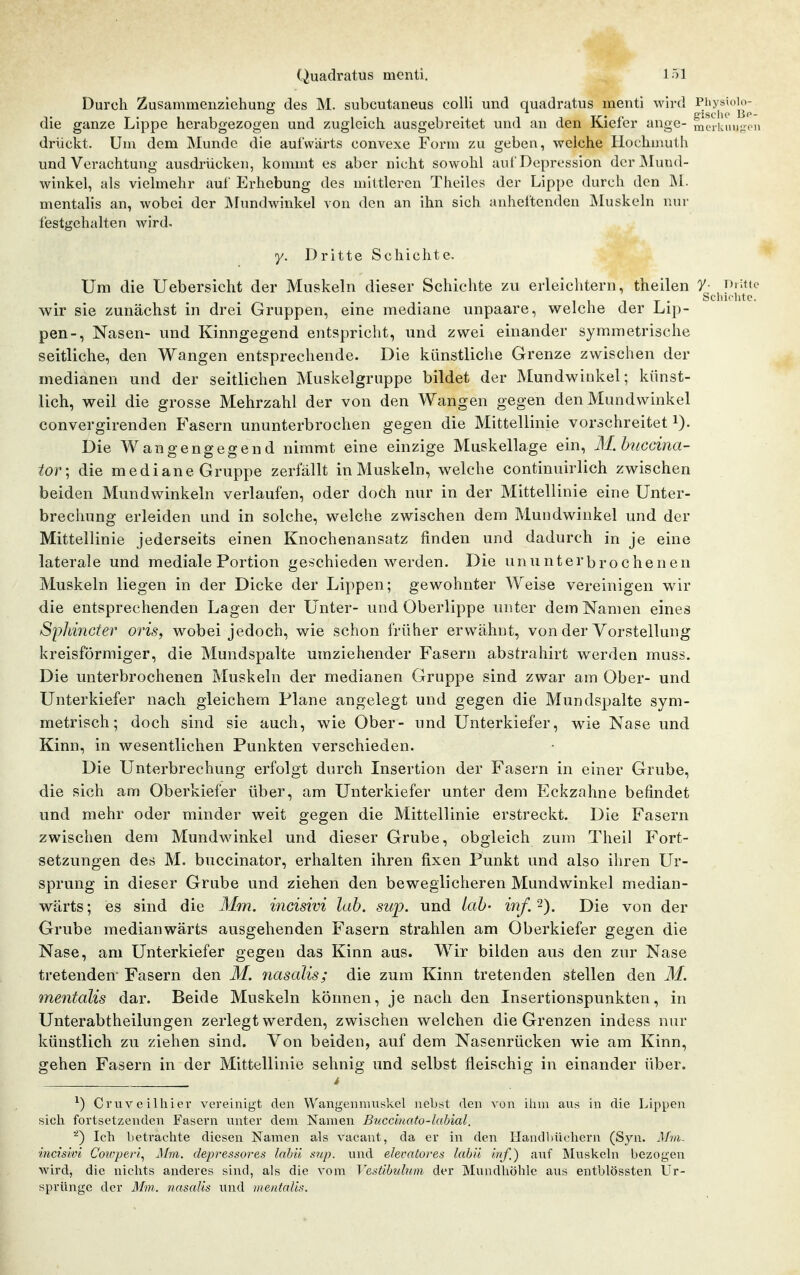 Quadratus menti. l öl Durch Zusammenziehung des M. subcutaneus colli und quadratus menti wird PhysioU)- die ganze Lippe herabgezogen und zugleich ausgebreitet und an den Kiefer ange- mcikmijicn drückt. Um dem Munde die aufwärts convexe Form zu geben, welche Hoclnnuth und Verachtung ausdrücken, kommt es aber nicht sowohl aul'Depression der Alund- winkel, als vielmehr auf Erhebung des mittleren Theiles der Lippe durch den INI. mentalis an, wobei der JNIundwinkel von den an ihn sich anheftenden Muskeln nur festgehalten wird. y. Dritte Schichte. Um die Uebersicht der Muskeln dieser Schichte zu erleichtern, theilen 7 ^''^'c* Scliirhte. wir sie zunächst in drei Gruppen, eine mediane unpaare, welche der Lip- pen-, Nasen- und Kinngegend entspricht, und zwei einander symmetrische seitliche, den Wangen entsprechende. Die künstliche Grenze zwischen der medianen und der seitlichen Muskelgruppe bildet der Mundwinkel; künst- lich, weil die grosse Mehrzahl der von den Wangen gegen den Mundwinkel convergirenden Fasern ununterbrochen gegen die Mittellinie vorschreitet i). Die Wangengegend nimmt eine einzige Muskellage ein, M.huccina- tor-, die mediane Gruppe zerfällt in Muskeln, welche continuirlich zwischen beiden Mundwinkeln verlaufen, oder doch nur in der Mittellinie eine Unter- brechung erleiden und in solche, welche zwischen dem Mundwinkel und der Mittellinie jederseits einen Knochenansatz finden und dadurch in je eine laterale und mediale Portion geschieden werden. Die ununterbrochenen Muskeln liegen in der Dicke der Lippen; gewohnter Weise vereinigen wir die entsprechenden Lagen der Unter- und Oberlippe unter dem Namen eines Sphincter oris, wobei jedoch, wie schon früher erwähnt, von der Vorstellung kreisförmiger, die Mundspalte umziehender Fasern abstrahirt werden muss. Die unterbrochenen Muskeln der medianen Gruppe sind zwar am Ober- und Unterkiefer nach gleichem Plane angelegt und gegen die Mundspalte sym- metrisch; doch sind sie auch, wie Ober- und Unterkiefer, wie Nase und Kinn, in wesentlichen Punkten verschieden. Die Unterbrechung erfolgt durch Insertion der Fasern in einer Grube, die sich am Oberkiefer über, am Unterkiefer unter dem Eckzahne befindet und mehr oder minder weit gegen die Mittellinie erstreckt. Die Fasern zwischen dem Mundwinkel und dieser Grube, obgleich zum Theil Fort- setzungen des M. buccinator, erhalten ihren fixen Punkt und also ihren Ur- sprung in dieser Grube und ziehen den beweglicheren Mundwinkel median- wärts; es sind die Mm. incisivi Iah. sup. und lab- inf. 2). Die von der Grube medianwärts ausgehenden Fasern strahlen am Oberkiefer gegen die Nase, am Unterkiefer gegen das Kinn aus. Wir bilden aus den zur Nase tretenden- Fasern den M. fiasalis; die zum Kinn tretenden stellen den M. mentalis dar. Beide Muskeln können, je nach den Insertionspunkten, in Unterabtheilungen zerlegt werden, zwischen welchen die Grenzen indess nur künstlich zu ziehen sind. Von beiden, auf dem Nasenrücken wie am Kinn, gehen Fasern in der Mittellinie sehnig und selbst fleischig in einander über. i ^) Cruveilhier vereinigt den Wangenmuskel nebst den von ihm aus in die Lippen sich fortsetzenden Fasern unter dem Namen Bvxc'mato-labial. ■'^) Ich betrachte diesen Namen als vacant, da er in den Hantlliüehcrn (Syn. Mni- inds'wi Coiüperi^ Mm. clepressores lahü sup. und eleralores labü Inf.) auf IMuskeln bezogen wird, die nichts anderes sind, als die vom Vesübulum der Mundhöhle aus entblössten Ur- sprünge der Mm. nasalis und inentalis.
