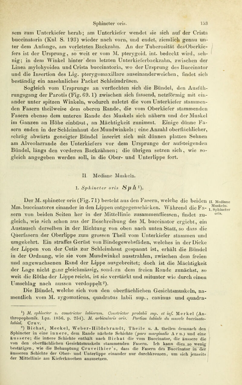 sem zum Unterkiefer herab; am Unterkiefer wendet sie sich auf der Crista buccinatoria (Knl. S. 193) wieder nach vorn, und endet, ziemlich genau un- ter dem Anfange, am vorletzten Backzahn. An der Tuberosität des Oberkie- fers ist der Ursprung, so weit er vom M. pterygoid. int. bedeckt wird, seh- nig; in dem Winkel hinter dem letzten Unterkieferbackzahn, zw^ischen der Linea mylohyoidea und Crista buccinatoria, wo der Ursprung des Buccinator und die Insertion des Lig. pterygomaxillare auseinanderweichen, findet sich beständig ein ansehnliches Packet Schleimdrüsen. Sogleich vom Ursprünge an verflechten sich die Bündel, den Ausfüh- rungsgang der Parotis (Fig. 69. 1) zwischen sich fassend, netzförmig mit ein- ander unter spitzen Winkeln, wodurch zuletzt die vom Unterkiefer stammen- den Fasern theilweise dem oberen Rande, die vom Oberkiefer stammenden Fasern ebenso dem unteren Rande des Muskels sich nähern und der Muskel im Ganzen an Höhe einbüsst, an Mächtigkeit zunimmt. Einige dünne Fa- sern enden in der Schleimhaut des Mundwinkels ; eine Anzahl oberflächlicher, schräg abwärts geneigter Bündel inserirt sich mit dünnen platten Sehnen am Alveolarrande des Unterkiefers vor dem Ursprünge der aufsteigenden Bündel, längs den vorderen Backzähnen; die übrigen setzen sich, wie so- gleich angegeben werden soll, in die Ober- und Unterlippe fort. II. Mediane Muskeln. 1. Sphincter oris Sp/l^^. Der M. sphincter oris (Fig. 71) besteht aus den Fasern, welche die beiden ii. Mediane Mm. buccinatores einander in den Lippen entgegenschicken. Während die Fa- i.^pSncter sern von beiden Seiten her in der Mittellinie zusammenfliessen, findet zu- gleich, v^ie sich schon aus der Beschreibung des M. buccinator ergiebt, ein Austausch derselben in der Richtung von oben nach unten Statt, so dass die Qüerfasern der Oberlippe zum grossen Theil vom Unterkiefer stammen und umgekehrt. Ein straffes Gerüst von Bindegewebsfäden, welches in der Dicke der Lippen von der Cutis zur Schleimhaut gespannt ist, erhält die Bündel in der Ordnung, wie sie vom Mundwinkel ausstrahlen, zwischen dem freien und angewachsenen Rand der Lippe ausgebreitet; doch ist die Mächtigkeit der Lage nicht ganz gleichmässig, sondern dem freien Rande zunächst, so weit die Rothe der Lippe reicht, ist sie verstärkt und mitunter wie durch einen Umschlag nach aussen verdoppelt2). Die Bündel, welche sich von den oberflächlichen Gesichtsmuskeln, na- mentlich vom M. zygomaticus, quadratus labii sup., caninus und quadra- ^) M, sphincter s. constricior labiorum. Consirictor prolahii sup. et inf. Merkel (An- thropophonik. Lpz. i856. p. 254). M. orUculai 'is oris. Portion labiale du muscle buccinato- labial. Cruv. Bichat, Meckel, Weber-Hildebrandt, Theile u. A. theilen demnach den . Sphincter in eine innere, dem Rande nächste Schichte {pars marginalis Arn.; und eine j äussere; die innere Schichte enthält nach Bichat die vom Buccinator, die äussere die \ von den oberflächlichen Gesichtsmuskeln stammenden Fasern. Ich kann dies so wenig l bestätigen, wie die Behauptung Cruveilhier's, dass die Fasern des Buccinator in der \ äusseren Schichte der Ober- und Unterlippe einander nur durchkreuzen, um sich jenseits j der Mittellinie am Kieferknochen anzusetzen. I