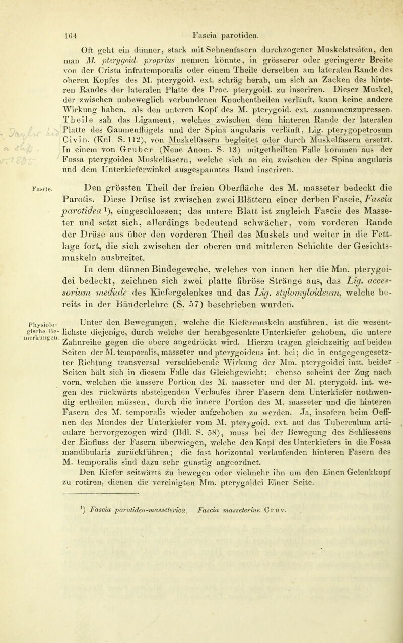 1G4 Fascia parotidea. Oft geht ein dünner, stark mit Sehnenfasern durchzogener Muskelstreit'en, den man M. pterygoid. proprius nennen könnte, in grösserer oder geringerer Breite von der Crista infratemporalis oder einem Theile derselben am lateralen Rande des oberen Kopfes des M. pterygoid. ext. schräg herab, um sich an Zacken des hinte- ren Randes der lateralen Platte des Proc. pterygoid. zu inseriren. Dieser Muskel, der zwischen unbeweglich verbundenen Knochentheilen verläuft, kann keine andere Wirkung haben, als den unteren Kopf des M. pterygoid. ext. zusammenzupressen- Theile sah das Ligament, welches zwischen dem hinteren Rande der lateralen / Platte des Gaumenflügels und der Spina angularis verläuft, Ijig. pterygopetrosum Civin. (Knl. S. 1]2), von Muskelfasern begleitet oder durch Muskelfasern ersetzt. In einem von Gruber (Neue Anom. S. 13) mitgetheilten Falle kommen aus der Fossa pterygoidea Muskelfasern, welche sich an ein zwischen der Spina angularis und dem Unterkieferwinkel ausgespanntes Band inseriren. Fascie. Den grössten Theil der freien Oberfläche des M. masseter bedeckt die Parotis. Diese Drüse ist zwischen zwei Blättern einer derben Fascie, Fascia parotidea'^)^ eingeschlossen; das untere Blatt ist zugleich Fascie des Masse- ter und setzt sich, allerdings bedeutend schwächer, vom vorderen Rande der Drüse aus über den vorderen Theil des Muskels und weiter in die Fett- lage fort, die sich zwischen der oberen und mittleren Schichte der Gesichts- muskeln ausbreitet. In dem dünnen Bindegewebe, welches von innen her die Mm. pterygoi- dei bedeckt, zeichnen sich zwei platte fibröse Stränge aus, das Lig. acces- sorium mediale des Kiefergelenkes und das Lig. styloniyloideum^ welche be- reits in der Bänderlehre (S. 57) beschrieben wurden. Physioio- Unter den Bewegungen, welche die Kiefermuskeln ausführen, ist die wesent- gische Be- lichste diejenige, durch welche der herabgesenkte Unterkiefer gehoben, die untere ncr inigtii. ^ahnrcihc gegen die obere angedrückt wird. Hierzu tragen gleichzeitig auf beiden Seiten der M. temporalis, masseter und pterygoideus int. bei; die in entgegengesetz- ter Richtung transversal verschiebende Wirkung der Mm. pterygoidci intt. beider Seiten hält sich in diesem Falle das Gleichgewicht; ebenso scheint der Zug nach vorn, welchen die äussere Portion des M. masseter und der M. pterygoid. int. we- gen des rückwärts absteigenden Verlaufes ihrer Fasern dem Unterkiefer nothwen- dig ertheilen müssen, durch die innere Portion des M. masseter und die hinteren Fasern des M. temporalis wieder aufgehoben zu werden. Ja, insofern beim Oeff- nen des Mundes der Unterkiefer vom M. pterygoid. ext. auf das Tuberculum arti- ^ culare hervorgezogen wird (Bdl. S. 58), muss bei der Bewegung des Schliessens der Einfluss der Fasern überwiegen, welche den Kopf des Unterkiefers in die Fossa mandibularis zurückführen; die fast horizontal verlaufenden hinteren Fasern des M. temporalis sind dazu sehr günstig angeordnet. Den Kiefer seitwärts zu bewegen oder vielmehr ihn um den Einen Gclenkkopf zu rotiren, dienen die vereinigten Mm. pterygoidei Einer Seite. ^) Fascia parotideo-masseterica. Fascia masseterine Cruv.