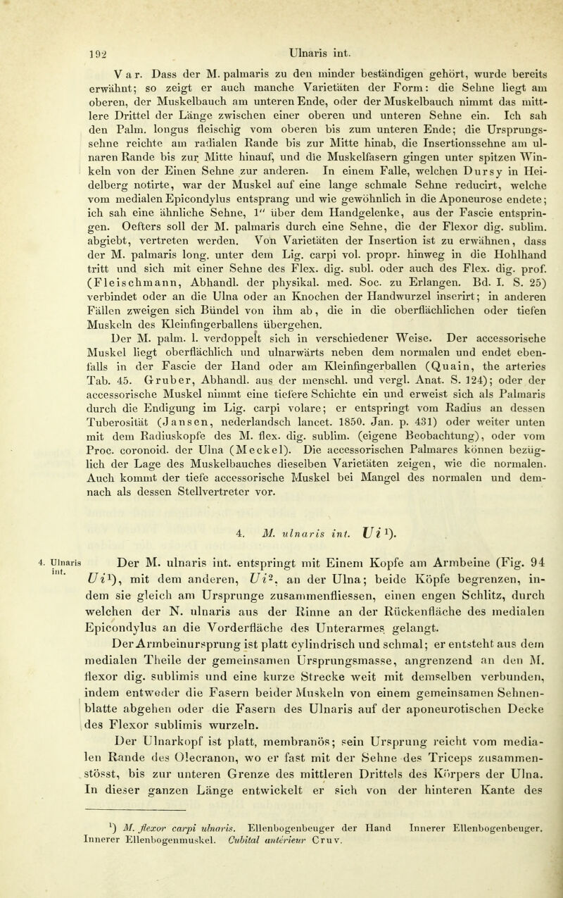 V a r. Dass der M. palmaris zu den minder bestandigen gehört, wurde bereits erwähnt; so zeigt er auch manche Varietäten der Form: die Sehne liegt am oberen, der Muskelbauch am unteren Ende, oder der Muskelbauch nimmt das mitt- lere Drittel der Länge zwischen einer oberen und unteren Sehne ein. Ich sah den Palm, longus fleischig vom oberen bis zum unteren Ende; die Ursprungs- sehne reichte am radialen Rande bis zur Mitte hinab, die Insertionssehne am ul- naren Rande bis zur Mitte hinauf, und die Muskelfasern gingen unter spitzen Win- keln von der Einen Sehne zur anderen. In einem Falle, welchen Dursy in Hei- delberg notirte, war der Muskel auf eine lange schmale Sehne reducirt, welche vom medialenEpicondylus entsprang und wie gewöhnlich in die Aponeurose endete; ich sah eine ähnliche Sehne, 1 über dem Handgelenke, aus der Fascie entsprin- gen. Oefters soll der M. palmaris durch eine Sehne, die der Flexor dig. sublim, abgiebt, vertreten werden. Von Varietäten der Insertion ist zu erwähnen, dass der M. palmaris long, unter dem Lig, carpi vol. propr. hinweg in die Hohlhand tritt und sich mit einer Sehne des Flex. dig. subl. oder auch des Flex. dig. prof. (Fleischmann, Abhandl. der physikal. med. Soc zu Erlangen. Bd. I. S. 25) verbindet oder an die Ulna oder an Knochen der Handwurzel inserirt; in anderen Fällen zweigen sich Bündel von ihm ab, die in die oberflächlichen oder tiefen Muskeln des Kleinfingerballens übergehen. Der M. palm. 1. verdoppelt sich in verschiedener Weise. Der accessorische Muskel liegt oberflächlich und ulnarwärts neben dem normalen und endet eben- falls in der Fascie der Hand oder am Kleinfingerballen (Quain, the arteries Tab. 45. Gruber, Abhandl. aus der menschl. und vergl. Anat. S. 124); oder der accessorische Muskel nimmt eine tiefere Schichte ein und erweist sich als Palmaris durch die Endigung im Lig. carpi volare; er entspringt vom Radius an dessen Tuberosität (Jansen, nederlandsch lancet. 1850. Jan. p. 431) oder weiter unten mit dem Radiuskopfe des M. flex. dig. sublim, (eigene Beobachtung), oder vom Proc. coronoid. der Ulna (Meckel). Die accessorischen Palmares können bezüg- lich der Lage des Muskelbauches dieselben Varietäten zeigen, wie die normalen. Auch kommt der tiefe accessorische Muskel bei Mangel des normalen und dem- nach als dessen Stellvertreter vor. 4. M. ulnaris int. Ui 4. Ulnaris Der M. ulnaris int. entspringt mit Einem Kopfe am Armbeine (Fig. 94 Ui^)^ mit dem anderen, Ui^. an der Ulna; beide Köpfe begrenzen, in- dem sie gleich am Ursprünge zusammenfliessen, einen engen Schlitz, durch welchen der N. ulnaris ans der Rinne an der Rückenfläche des medialen Epicondylus an die Vorderfläche des Unterarmes gelangt. Der Armbeinurt^prung ist platt cylindrisch und schmal; er entsteht aus dem medialen Theile der gemeinsamen Ursprungsmasse, angrenzend an den M. flexor dig. sublimis und eine kurze Strecke weit mit demselben verbunden, indem entweder die Fasern beider Muskeln von einem gemeinsamen Sehnen- blatte abgehen oder die Fasern des Ulnaris auf der aponeurotischen Decke des Flexor sublimis wurzeln. Der Ulnarkopf ist platt, membranös; sein Ursprung reicht vom media- len Rande des Olecranon, wo er fast mit der Sehne des Triceps zusammen- stösst, bis zur unteren Grenze des mittleren Drittels des Kr)rpers der Ulna. In dieser ganzen Länge entwickelt er sich von der hinteren Kante des ^) M. flexor carpi ulnaris. EUenbogeiibeuger der Hand Innerer Ellenbogenbeuger. Innerer Ellenbogenmuskel. Cubital anierieur Cruv.