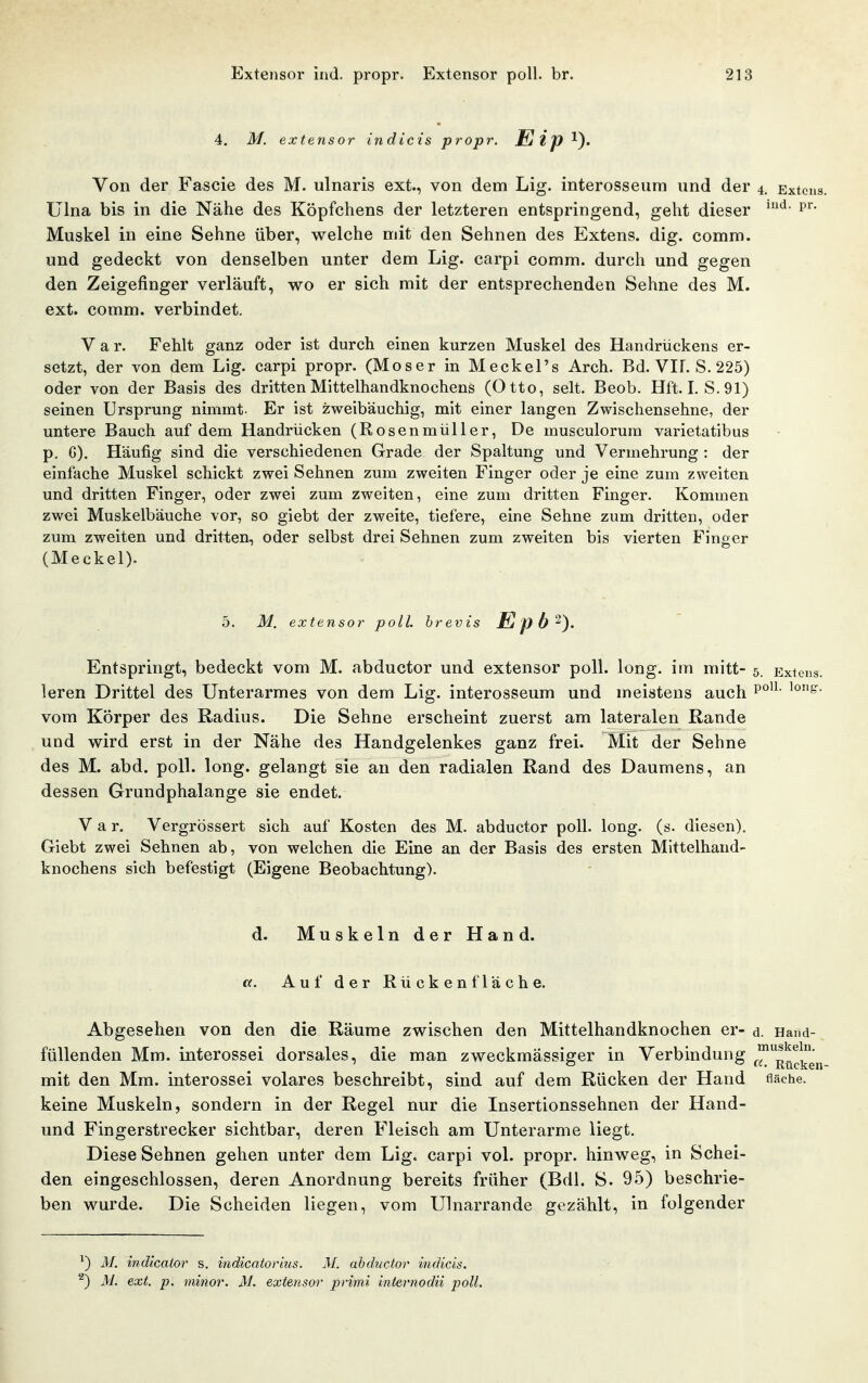 4. M. extensor indicis propr. Elp Von der Fascie des M. ulnaris ext., von dem Lig. interosseum und der 4. Extcus, ülna bis in die Nähe des Köpfchens der letzteren entspringend, geht dieser p* Muskel in eine Sehne über, welche mit den Sehnen des Extens. dig. comm. und gedeckt von denselben unter dem Lig. carpi comm. durch und gegen den Zeigefinger verläuft, wo er sich mit der entsprechenden Sehne des M. ext. comm. verbindet. V a r. Fehlt ganz oder ist durch einen kurzen Muskel des Handrückens er- setzt, der von dem Lig. carpi propr. (Moser in Meckel's Arch. Bd. VIL S. 225) oder von der Basis des dritten Mittelhandknochens (Otto, seit. Beob. Hft. I. S. 91) seinen Ursprung nimmt- Er ist zweibäuchig, mit einer langen Zwischensehne, der untere Bauch auf dem Handrücken (Rosenmüller, De musculorura varietatibus p. G). Häufig sind die verschiedenen Grade der Spaltung und Vermehrung : der einfache Muskel schickt zwei Sehnen zum zweiten Finger oder je eine zum zweiten und dritten Finger, oder zwei zum zweiten, eine zum dritten Finger. Kommen zwei Muskelbäuche vor, so giebt der zweite, tiefere, eine Sehne zum dritten, oder zum zweiten und dritten, oder selbst drei Sehnen zum zweiten bis vierten Finger (Meckel). 5. M. extensor poll. hrevis E p 6 Entspringt, bedeckt vom M. abductor und extensor poll. long, im mitt- 5. Extens. leren Drittel des Unterarmes von dem Lig. interosseum und meistens auch p^'^ vom Körper des Radius. Die Sehne erscheint zuerst am lateralen Rande und wird erst in der Nähe des Handgelenkes ganz frei. Mit der Sehne des M. abd. poll. long, gelangt sie an den radialen Rand des Daumens, an dessen Grundphalange sie endet. V a r. Vergrössert sich auf Kosten des M. abductor poll. long. (s. diesen). Giebt zwei Sehnen ab, von welchen die Eine an der Basis des ersten Mittelhand- knochens sich befestigt (Eigene Beobachtung). d. Muskeln der Hand. a. Auf der R ü c k e n f 1 ä c h e. Abgesehen von den die Räume zwischen den Mittelhandknochen er- d. Hand- füUenden Mm. interossei dorsales, die man zweckmässiger in Verbindung f^^^'^^jj^j mit den Mm. interossei volares beschreibt, sind auf dem Rücken der Hand fläche, keine Muskeln, sondern in der Regel nur die Insertionssehnen der Hand- und Fingerstrecker sichtbar, deren Fleisch am Unterarme liegt. Diese Sehnen gehen unter dem Lig. carpi vol. propr. hinweg, in Schei- den eingeschlossen, deren Anordnung bereits früher (Bdl. S. 95) beschrie- ben wurde. Die Scheiden liegen, vom Ulnarrande gezählt, in folgender ^) AI. indicaior s. indicatorius. M. abductor indicis. ^) M. ext. p. minor. M. extensor primi internodii poll.