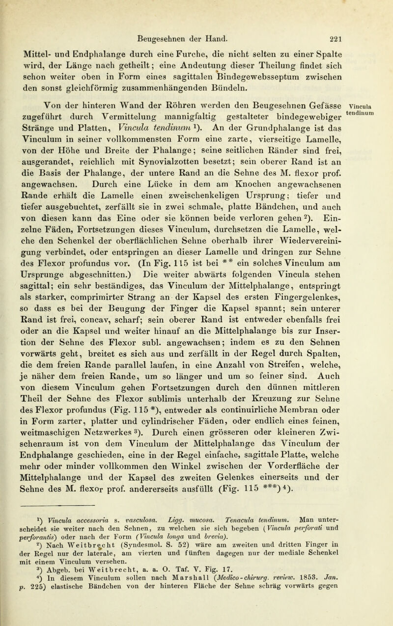 Mittel- und Endphalange durch eine Furche, die nicht selten zu einer Spalte wird, der Länge nach getheilt; eine Andeutung dieser Theilung findet sich schon weiter oben in Form eines sagittalen Bindegewebsseptum zwischen den sonst gleichförmig zusammenhängenden Bündeln. Von der hinteren Wand der Röhren werden den Beugesehnen Gefasse vincuia zugeführt durch Vermittelung mannigfaltig gestalteter bindegewebiger ^^^'^ Stränge und Platten, Vincuia tendinuDi i). An der Grundphalange ist das Vinculum in seiner vollkommensten Form eine zarte, vierseitige Lamelle, von der Höhe und Breite der Phalange; seine seitlichen Ränder sind frei, ausgerandet, reichlich mit Synovialzotten besetzt; sein oberer Rand ist an die Basis der Phalange, der untere Rand an die Sehne des M. flexor prof. angewachsen. Durch eine Lücke in dem am Knochen angewachsenen Rande erhält die Lamelle einen zweischenkeligen Ursprung; tiefer und tiefer ausgebuchtet, zerfällt sie in zwei schmale, platte Bändchen, und auch von diesen kann das Eine oder sie können beide verloren gehen 2). Ein- zelne Fäden, Fortsetzungen dieses Vinculum, durchsetzen die Lamelle, wel- che den Schenkel der oberflächlichen Sehne oberhalb ihrer Wiedervereini- gung verbindet, oder entspringen an dieser Lamelle und dringen zur Sehne des Flexor profundus vor. (In Fig. 115 ist bei ** ein solches Vinculum am Ursprünge abgeschnitten.) Die weiter abwärts folgenden Vincuia stehen sagittal; ein sehr beständiges, das Vinculum der Mittelphalange, entspringt als starker, comprimirter Strang an der Kapsel des ersten Fingergelenkes, so dass es bei der Beugung der Finger die Kapsel spannt; sein unterer Rand ist frei, concav, scharf; sein oberer Rand ist entweder ebenfalls frei oder an die Kapsel und weiter hinauf an die Mittelphalange bis zur Inser- tion der Sehne des Flexor subl. angewachsen; indem es zu den Sehnen vorwärts geht, breitet es sich aus und zerfällt in der Regel durch Spalten, die dem freien Rande parallel laufen, in eine Anzahl von Streifen, welche, je näher dem freien Rande, um so länger und um so feiner sind. Auch von diesem Vinculum gehen Fortsetzungen durch den dünnen mittleren Theil der Sehne des Flexor sublimis unterhalb der Kreuzung zur Sehne des Flexor profundus (Fig. 115*), entweder als continuirliche Membran oder in Form zarter, platter und cylindrischer Fäden, oder endlich eines feinen, weitmaschigen Netzwerkes 3). Durch einen grösseren oder kleineren Zwi- schenraum ist von dem Vinculum der Mittelphalange das Vinculum der Endphalange geschieden, eine in der Regel einfache, sagittale Platte, welche mehr oder minder vollkommen den Winkel zwischen der Vorderfläche der Mittelphalange und der Kapsel des zweiten Gelenkes einerseits und der Sehne des M. flexor prof. andererseits ausfüllt (Fig. 115 ***) 4), ^) Vincuia accessoria s. vasculosa. Ligg. mucosa. Tenacula tendinum. Man unter- scheidet sie weiter nach den Sehnen, zu welchen sie sich begeben {Vincuia perforati und perforantis) oder nach der Form (Vincuia longa und brevia). ^) Nach Weitbrecht (Syndesmol. S. 52) wäre am zweiten und dritten Finger in der Regel nur der laterale, am vierten und fünften dagegen nur der mediale Schenkel mit einem Vinculum versehen. 3) Abgeb. bei Weitbrecht, a. a. O. Taf. V. Fig. 17. In diesem Vinculum sollen nach Marshall {Medico - Chirurg. review. 1853. Jan. p. 225) elastische Bändchen von der hinteren Fläche der Sehne schräg vorwärts gegen