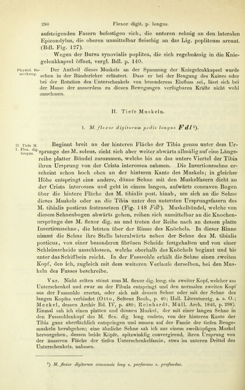 aufsteigenden Fasern befestigen sich, die unteren sehnig an den lateralen Epicondylus, die oberen unmittelbar fleischig an das Lig. popliteum arcuat. (Bdl. Fig. 127). Wegen der Bursa synovialis poplitea, die sich regelmässig in die Knie- gelenkkapsel öffnet, vergl. Bdl. p. 140. Physioi. Be- Der Antheil dieses Muskels an der Spannung der Kniegelenkkapsel wurde merkuug. g^j^Qj^ (jgj. Bänderlehre erläutert. Dass er bei der Beugung des Kniees oder bei der Kotation des Unterschenkels von besonderem Einfluss sei, lässt sich bei der Masse der ausserdem zu diesen Bewegungen verfügbaren Kräfte nicht wohl annehmen. IT. Tiefe Muskeln. 1. M. flexor digitorum pedis longus Fdl^^. II. Tiefe M. Beginnt breit an der hinteren Fläche der Tibia genau unter dem Ur- ^ fongus!^^^P''^g^ des M. soleus, zieht sich aber weiter abwärts allmälig auf eine Längs- reihe platter Bündel zusammen, welche bis an das untere Viertel der Tibia ihren Ursprung von der Crista interossea nehmen. Die Insertionssehne er- scheint schon hoch oben an der hinteren Kante des Muskels; in gleicher Höhe entspringt eine andere, dünne Sehne mit den Muskelfasern dicht an der Crista interossea und geht in einem langen, aufwärts concaven Bogen über die hintere Fläche des M. tibialis post. hinab, um sich an die Sehne dieses Muskels oder an die Tibia unter den untersten Ursprungsfasern des M. tibialis posticus festzusetzen (Fig. 148 FdV\ Muskelbündel, welche von diesem Sehnenbogen abwärts gehen, reihen sich unmittelbar an die Knochen- ursprünge des M. flexor dig. an und treten der Reihe nach an dessen platte Insertionssehne, die letzten über der Rinne des Knöchels. In dieser Rinne nimmt die Sehne ihre Stelle lateralwärts neben der Sehne des M. tibialis posticus, von einer besonderen fibrösen Scheide festgehalten und von einer Schleimscheide umschlossen, welche oberhalb des Knöchels beginnt und bis unter das Schiffbein reicht. In der Fusssohle erhält die Sehne einen zweiten Kopf, den ich, zugleich mit dem weiteren Verlaufe derselben, bei den Mus- keln des Fusses beschreibe. Var. Nicht selten stösst zum M. flexor dig. long, ein zweiter Kopf, welcher am Unterschenkel und zwar an der Fibula entspringt und den normalen zweiten Kopf aus der Fusssohle ersetzt, oder sich mit dessen Sehne oder mit der Sehne des langen Kopfes verbindet (Otto, Seltene Beob., p. 40; Hafl. Literaturztg. a. a. O.; Meckel, dessen Archiv Bd. IV, p. 480; Reinhardt, Müll. Arch. 184G, p. 298). Einmal sah ich einen platten und dünnen Muskel, der mit einer langen Sehne in den Fusssohlenkopf des M. flex. dig. long, endete, von der hinteren Kante der Tibia ganz oberflächlich entspringen und aussen auf der Fascie der tiefen Beuge- muskeln herabgehen; eine ähnliche Sehne sah ich aus einem zweiköpfigen Muskel hervorgehen, dessen beide Köpfe, spitzwinklig convergirend, ihren Ursprung von der äusseren Fläche der tiefen Unterschenkelfascie, etwa im unteren Drittel des Unterschenkels, nahmen. ^) M. flexor digitorum communis long s. perforans s. profimdus.