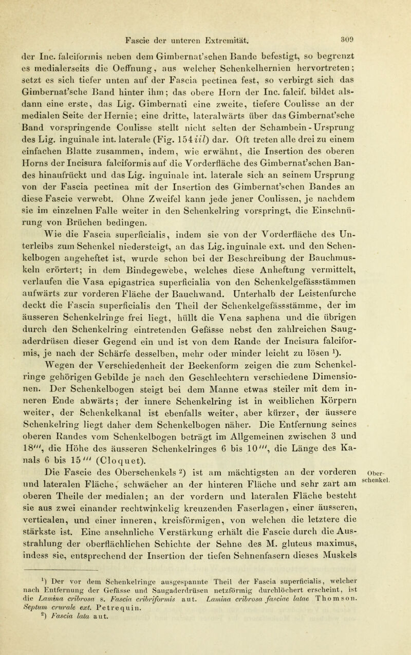 der Inc. üilcilorini« neben dem Gimbernat'tjchen Bande befestigt, so begrenzt es medialerseits die Oeffnung, aus welcher Schenkelhernien hervortreten; setzt es sich tiefer unten auf der Fascia pectinea fest, so verbirgt sich das Gimbernat'sche Band hinter ihm; das obere Horn der Inc. falcif. bildet als- dann eine erste, das Lig. Gimbernati eine zweite, tiefere Coulisse an der medialen Seite der Hernie; eine dritte, lateralwarts über das Gimbernat'sche Band vorspringende Coulisse stellt nicht selten der Schambein - Ursprung des Lig. inguinale int. laterale (Fig. 154u7) dar. Oft treten alle drei zu einem einfacVien Blatte zusammen, indem, wie erwähnt, die Insertion des oberen Horns derincisura falciformis auf die Vorderfläche des Gimbernat'schen Ban- des hinaufrückt und das Lig. inguinale int. laterale sich an seinem Ursprung von der Fascia pectinea mit der Insertion des Gimbernat'schen Bandes an diese Fascie verwebt. Ohne Zweifel kann jede jener Coulissen, je nachdem sie im einzelnen Falle weiter in den Schenkelring vorspringt, die Einschnü- rung von Brüchen bedingen. Wie die Fascia superficialis, indem sie von der Vorderfläche des Un- terleibs zum Schenkel niedersteigt, an das Lig. inguinale ext. und den Schen- kelbogen angeheftet ist, wurde schon bei der Beschreibung der Bauchmus- keln erörtert; in dem Bindegewebe, welches diese Anheftung vermittelt, verlaufen die Vasa epigastrica superficialia von den Schenkelgefässstämmen aufwärts zur vorderen Fläche der Bauchwand. Unterhalb der Leistenfurche deckt die Fascia superficialis den Theil der Schenkelgefässstämme, der im äusseren Schenkelringe frei liegt, hüllt die Vena saphena und die übrigen durch den Schenkelring eintretenden Gefässe nebst den zahlreichen Saug- aderdrüsen dieser Gegend ein und ist von dem Rande der Incisura falcifor- mis, je nach der Schärfe desselben, mehr oder minder leicht zu lösen i). Wegen der Verschiedenheit der Beckenform zeigen die zum Schenkel- ringe gehörigen Gebilde je nach den Geschlechtern verschiedene Dimensio- nen. Der Schenkelbogen steigt bei dem Manne etwas steiler mit dem in- neren Ende abwärts; der innere Schenkelring ist in weiblichen Körpern weiter, der Schenkelkanal ist ebenfalls weiter, aber kürzer, der äussere Schenkelring liegt daher dem Schenkelbogen näher. Die Entfernung seines oberen Randes vom Schenkelbogen beträgt im Allgemeinen zwischen 3 und 18', die Höhe des äusseren Schenkelringes 6 bis 10', die Länge des Ka- nals 6 bis 15' (Cloquet). Die Fascie des Oberschenkels 2) ist am mächtigsten an der vorderen obcr- und lateralen Fläche, schwächer an der hinteren Fläche und sehr zart am ^^^^^^ oberen Theile der medialen; an der vordem und lateralen Fläche besteht sie aus zwei einander rechtwinkelig kreuzenden Faserlagen, einer äusseren, verticalen, und einer inneren, kreisförmigen, von welchen die letztere die stärkste ist. Eine ansehnliche Verstärkung erhält die Fascie durch die Aus- strahlung der oberflächlichen Schichte der Sehne des M. gluteus maximus, indess sie, entsprechend der Insertion der tiefen Sehnenfasern dieses Muskels ^) Der vor dem Schenkelringe ausgespannte Theil der Fascia superficialis, welcher nach Entfernung der Gefässe und Saugaderdrüsen netzförmig durchlöchert erscheint, ist die Lamina cribrosn s. Fascia crihriformis aut. Lamina crib7'osa fa^ciae latae Thomson. Septum crurale ext. Petrequin. ^) Fascia lata aut.