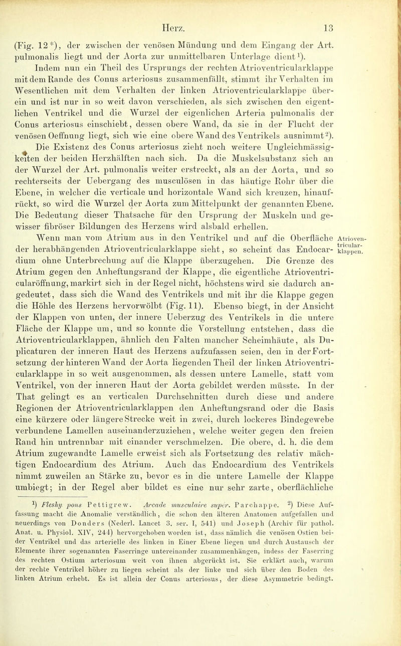 (Fig. 12*), der zwischen der venösen Mündung und dem Eingang der Art. pulmonalis liegt und der Aorta zur unmittelbaren Unterlage dientl). Indem nun ein Theil des Ursprungs der rechten Atrioventricularklappe mit dem Rande des Conus arteriosus zusammenfällt, stimmt ihr Verhalten im Wesentlichen mit dem Verhalten der linken Atrioventricularklappe über- ein und ist nur in so weit davon verschieden, als sich zwischen den eigent- lichen Ventrikel und die Wurzel der eigenlichen Arteria pulmonalis der Conus arteriosiis einschiebt, dessen obere Wand, da sie in der Flucht der venösen Oeffnung liegt, sich wie eine obere Wand des Ventrikels ausnimmt2). Die Existenz des Conus arteriosus zieht noch weitere Ungleichmässig- keiten der beiden Herzhälften nach sich. Da die Muskelsubstanz sich an der Wurzel der Art. pulmonalis weiter erstreckt, als an der Aorta, und so rechterseits der Uebergang des musculösen in das häutige Rohr über die Ebene, in welcher die verticale und horizontale Wand sich kreuzen, hinauf- rückt, so wird die Wurzel der Aorta zum Mittelpunkt der genannten Ebene. Die Bedeutung dieser Thatsache für den Ursprung der Muskeln und ge- wisser fibröser Bildungen des Herzens wird alsbald erhellen. Wenn man vom Atrium aus in den Ventrikel und auf die Oberfläche Atrioven- der herabhängenden Atrioventricularklappe sieht, so scheint das Endocar- Mappen, dium ohne Unterbrechung auf die Klappe überzugehen. Die Grenze des Atrium gegen den Anheftungsrand der Klappe, die eigentliche Atrioventri- cularöffhung, markirt sich in der Regel nicht, höchstens wird sie dadurch an- gedeutet, dass sich die Wand des Ventrikels und mit ihr die Klappe gegen die Höhle des Herzens hervorwölbt (Fig. 11). Ebenso biegt, in der Ansicht der Klappen von unten, der innere Ueberzug des Ventrikels in die untere Fläche der Klappe um, und so konnte die Vorstellung entstehen, dass die Atrioventricularklappen, ähnlich den Falten mancher Scheimhäute, als Du- plicaturen der inneren Haut des Herzens aufzufassen seien, den in der Fort- setzung der hinteren Wand der Aorta liegenden Theil der linken Atrioventri- cularklappe in so weit ausgenommen, als dessen untere Lamelle, statt vom Ventrikel, von der inneren Haut der Aorta gebildet werden müsste. In der That gelingt es an verticalen Durchschnitten durch diese und andere Regionen der Atrioventricularklappen den Anheftungsrand oder die Basis eine kürzere oder längere Strecke weit in zwei, durch lockeres Bindegewebe verbundene Lamellen auseinanderzuziehen, welche weiter gegen den freien Rand hin untrennbar mit einander verschmelzen. Die obere, d. h. die dem Atrium zugewandte Lamelle erweist sich als Fortsetzung des relativ mäch- tigen Endocardium des Atrium. Auch das Endocardium des Ventrikels nimmt zuweilen an Stärke zu, bevor es in die untere Lamelle der Klappe umbiegt; in der Regel aber bildet es eine nur sehr zarte, oberflächliche J) Fleshy. pons Pettigrew. Arcade musculaire super. Parchappe. 2) Diese Auf- fassung macht die Anomalie verständlich, die schon den älteren Anatomen aufgefallen und neuerdings von Donders (Nederl. Lancet 3. ser. I, 541) und Joseph (Archiv für pathol. Anat. u. Physiol. XIV, 244) hervorgehoben worden ist, dass nämlich die venösen Ostien bei- der Ventrikel und das arterielle des linken in Einer Ebene liegen und durch Austausch der Elemente ihrer sogenannten Faserringe untereinander zusammenhängen, indess der Faserring des rechten Ostium arteriosum weit von ihnen abgerückt ist. Sie erklärt auch, warum der rechte Ventrikel höher zu liegen scheint als der linke und sich über den Boden des linken Atrium erhebt. Es ist allein der Conus arteriosus, der diese Asymmetrie bedingt,