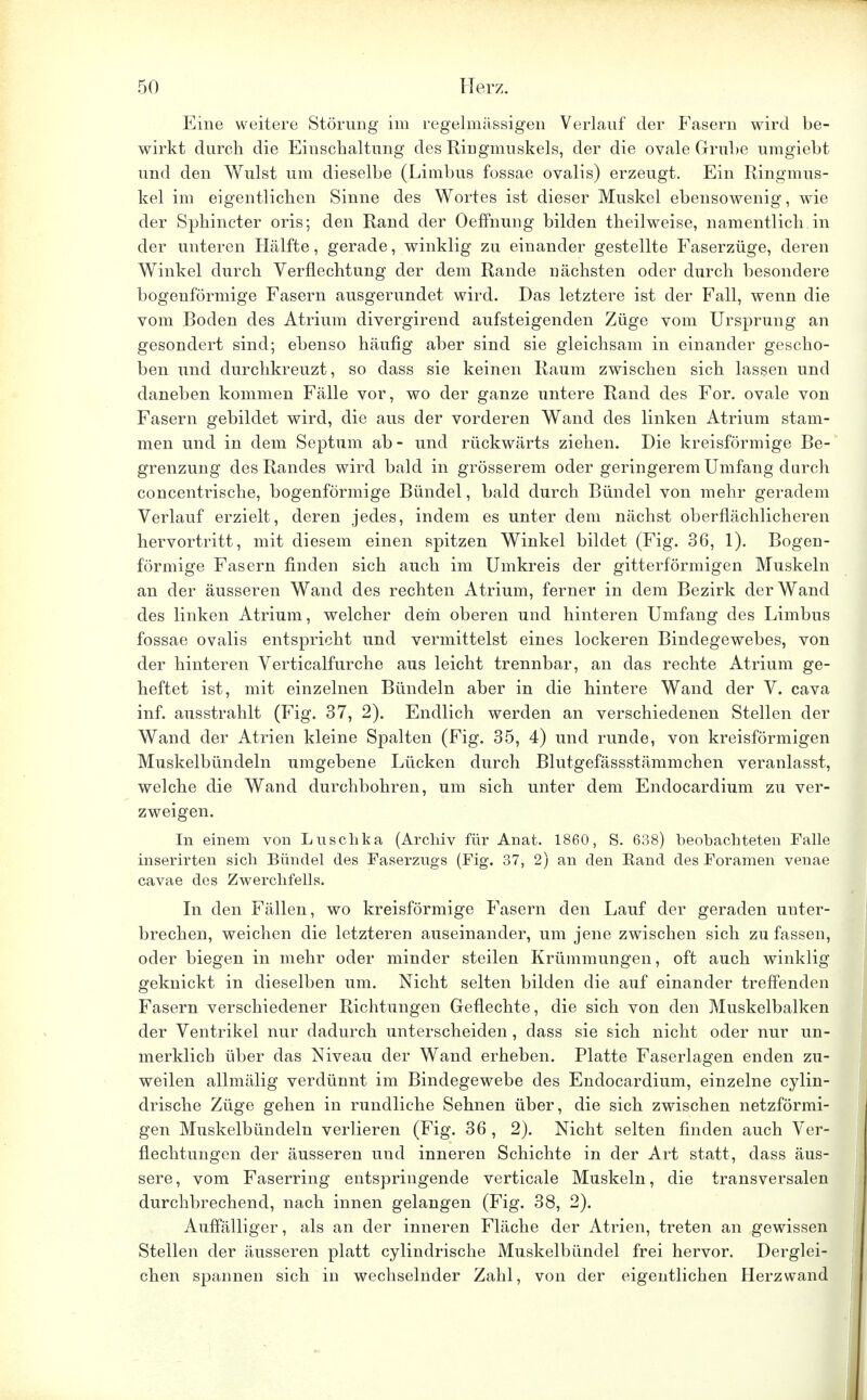 Eine weitere Störung im regelmässigen Verlauf der Fasern wird be- wirkt durch die Einschaltung des Ringmuskels, der die ovale Grube umgiebt und den Wulst um dieselbe (Limbus fossae ovalis) erzeugt. Ein Ringmus- kel im eigentlichen Sinne des Wortes ist dieser Muskel ebensowenig, wie der Sphincter oris; den Rand der Oeffhung bilden theilweise, namentlich in der unteren Hälfte, gerade, winklig zu einander gestellte Faserzüge, deren Winkel durch Verflechtung der dem Rande nächsten oder durch besondere bogenförmige Fasern ausgerundet wird. Das letztere ist der Fall, wenn die vom Boden des Atrium divergirend aufsteigenden Züge vom Ursprung an gesondert sind; ebenso häufig aber sind sie gleichsam in einander gescho- ben und durchkreuzt, so dass sie keinen Raum zwischen sich lassen und daneben kommen Fälle vor, wo der ganze untere Rand des For. ovale von Fasern gebildet wird, die aus der vorderen Wand des linken Atrium stam- men und in dem Septum ab- und rückwärts ziehen. Die kreisförmige Be- grenzung des Randes wird bald in grösserem oder geringerem Umfang durch concentrische, bogenförmige Bündel, bald durch Bündel von mehr geradem Verlauf erzielt, deren jedes, indem es unter dem nächst oberflächlicheren hervortritt, mit diesem einen spitzen Winkel bildet (Fig. 36, 1). Bogen- förmige Fasern finden sich auch im Umkreis der gitterförmigen Muskeln an der äusseren Wand des rechten Atrium, ferner in dem Bezirk der Wand des linken Atrium, welcher dein oberen und hinteren Umfang des Limbus fossae ovalis entspricht und vermittelst eines lockeren Bindegewebes, von der hinteren Verticalfurche aus leicht trennbar, an das rechte Atrium ge- heftet ist, mit einzelnen Bündeln aber in die hintere Wand der V. cava inf. ausstrahlt (Fig. 37, 2). Endlich werden an verschiedenen Stellen der Wand der Atrien kleine Spalten (Fig. 35, 4) und runde, von kreisförmigen Muskelbündeln umgebene Lücken durch Blutgefässstämmchen veranlasst, welche die Wand durchbohren, um sich unter dem Endocardium zu ver- zweigen. In einem von Luschka (Archiv für Anat. 1860, S. 638) beobachteten Falle inserirten sich Bündel des Faserzugs (Fig. 37, 2) an den Hand des Foramen venae cavae des Zwerchfells. In den Fällen, wo kreisförmige Fasern den Lauf der geraden unter- brechen, weichen die letzteren aiiseinander, um jene zwischen sich zu fassen, oder biegen in mehr oder minder steilen Krümmungen, oft auch winklig geknickt in dieselben um. Nicht selten bilden die auf einander treffenden Fasern verschiedener Richtungen Geflechte, die sich von den Muskelbalken der Ventrikel nur dadurch unterscheiden, dass sie sich nicht oder nur un- merklich über das Niveau der Wand erheben. Platte Faserlagen enden zu- weilen allmälig verdünnt im Bindegewebe des Endocardium, einzelne cylin- drische Züge gehen in rundliche Sehnen über, die sich zwischen netzförmi- gen Muskelbündeln verlieren (Fig. 36 , 2). Nicht selten finden auch Ver- flechtungen der äusseren und inneren Schichte in der Art statt, dass äus- sere , vom Faserring entspringende verticale Muskeln, die transversalen durchbrechend, nach innen gelangen (Fig. 38, 2). Auffälliger, als an der inneren Fläche der Atrien, treten an gewissen Stellen der äusseren platt cylindrische Muskelbündel frei hervor. Derglei- chen spannen sich in wechselnder Zahl, von der eigentlichen Herzwand