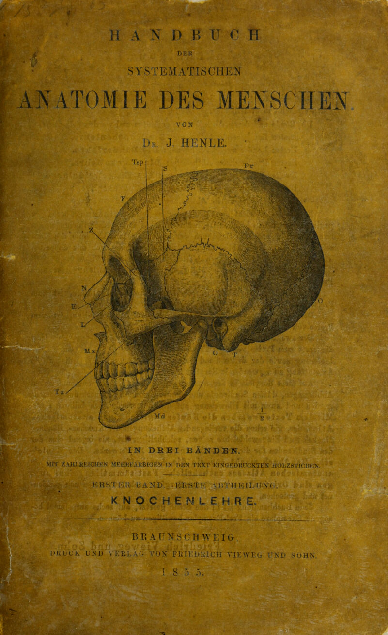 Fi A N D B U r Ii DER SYSTEMATISCHEN ANATOMIE DES MENSCHES VON J HFNLE. IH DREI BlNDEH^ ■•'fFKRFA kBIGFN TN DEN TEX'J' ErNGl^DRÜCKTEN nöLZöTICriRK. KNOCHENLEHRE. B IJ A. r N S C H W EI G PklJC.K UND » 1 .1;.