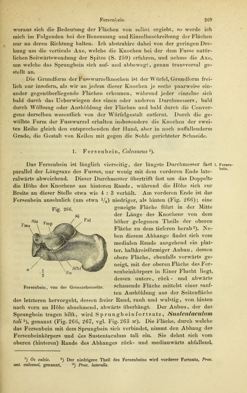 woraus sich die Bedeutimg der Flächen von selbst ergiebt, so werde ich mich im Folgenden bei der Benennung und Einzelbeschreibung der Flächen nur an deren Richtung halten. Ich abstrahire dabei von der geringen Dre- hung um die verticale Axe, welche die Knochen bei der dem Fusse natür- lichen Seitwärtswendung der Spitze (S. 259) erfahren, und nehme die Axe, um welche das Sprungbein sich auf- und abbewegt, genau transversal ge- stellt an. Die Grundform der Fusswurzelknochen ist der Würfel, Grundform frei- lich nur insofern, als wir an jedem dieser Knochen je sechs paarweise ein- ander gegenüberliegende Flächen erkennen, während jeder einzelne sich bald durch das Ueberwiegen des einen oder anderen Durchmessers, bald durch Wölbung oder Aushöhlung der Flächen und bald durch die Conver- genz derselben wesentlich von der Würfelgestalt entfernt. Durch die ge- wölbte Form der Fusswurzel erhalten insbesondere die Knochen der zwei- ten Reihe gleich den entsprechenden der Hand, aber in noch auffallenderm Grade, die Gestalt von Keilen mit gegen die Sohle gerichteter Schneide. 1. ¥ er senh ein^ Calcaneus'^). Das Fersenbein ist länglich vierseitig, der längste Durchmesser fast i. Fersen- parallel der Längsaxe des Fusses, nur wenig mit dem vorderen Ende late- ralwärts abweichend. Dieser Durchmesser übertrifft fast um das Doppelte die Höhe des Knochens am hinteren Rande, während die Höhe sich zur Breite an dieser Stelle etwa wie 4 : 3 verhält. Am vorderen Ende ist das Fersenbein ansehnlich (um etwa V4) niedriger, als hinten (Fig. 266); eine geneigte Fläche führt in der Mitte der Länge des Knochens von dem höher gelegenen Theile der oberen Fläche zu dem tieferen herab 2). Ne- ben diesem Abhänge findet sich vom medialen Rande ausgehend ein plat- ter, halbkreisförmiger Anbau, dessen obere Fläche, ebenfalls vorwärts ge- neigt, mit der oberen Fläche des Fer- senbeinkörpers in Einer Flucht liegt, dessen untere, rück- und abwärts Fersenbein, von der Grosszehenseite. Schauende Fläche mittelst einer sanf- ten Aushöhlung aus der Seitenfläche des letzteren hervorgeht, dessen freier Rand, rauh und wulstig, von hinten nach vorn an Höhe abnehmend, abwärts überhängt. Der Anbau, der das Sprungbein tragen hilft, wird Sprungbeinfortsatz, ^ustenlaculum tali% genannt (Fig. 266, 267, vgl. Fig. 263 w). Die Fläche, durch welche das Fersenbein mit dem Sprungbein sich verbindet, nimmt den Abhang des Fersenbeinkörpers und des Sustentaculum tali ein. Sie dehnt sich vom oberen (hinteren) Rande des Abhanges rück- und medianwärts abfallend, ^) Os calcis. ^) Der niedrigere Theil des Fersenbeins wird vorderer Fortsatz, Proc. ant. calcanei, genannt. ^) Proc. lateralis.