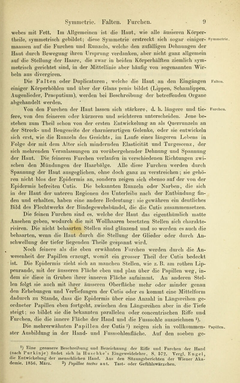 webes mit Fett. Im Allgemeinen ist die Haut, wie alle äusseren Körper- theile, symmetrisch gebildet; diese Symmetrie erstreckt sich sogar einiger- Symmetrie, maassen auf die Furchen und Runzeln, welche den zufälligen Dehnungen der Haut durch Bewegung ihren Ursprung verdanken, aber nicht ganz allgemein auf die Stellung der Haare, die zwar in beiden Körperhälften ziemlich sym- metrisch gerichtet sind, in der Mittellinie aber häufig von sogenannten Wir- beln aus divergiren. Die Falten oder Duplicaturen, welche die Haut, an den Eingängen Falten, einiger Körperhöhlen und über der Glans penis bildet (Lippen, Schamlippen, Augenlieder, Praeputium), werden bei Beschreibung der betreffenden Organe abgehandelt werden. Yon den Furchen der Haut lassen sich stärkere, d. h. längere und tie- Furchen, fere, von den feineren oder kürzeren und seichteren unterscheiden. Jene be- stehen zum Theil schon von der ersten Entwickelung an als Querrunzeln an der Streck- und Beugeseite der charnierartigen Gelenke, oder sie entwickeln sich erst, wie die Runzeln des Gesichts, im Laufe eines längeren Lebens in Folge der mit dem Alter sich mindernden Elasticität und Turgescenz, der sich mehrenden Veranlassungen zu vorübergehender Dehnung und Spannung der Haut. Die feineren Furchen verlaufen in verschiedenen Richtungen zwi- schen den Mündungen der Haarbälge. Alle diese Furchen werden durch Spannung der Haut ausgeglichen, ohne doch ganz zu verstreichen; sie gehö- ren nicht blos der Epidermis an, sondern zeigen sich ebenso auf der von der Epidermis befreiten Cutis. Die bekannten Runzeln oder Narben, die sich in der Haut der unteren Regionen des Unterleibs nach der Entbindung fin- den und erhalten, haben eine andere Bedeutung: sie gewähren ein deutliches Bild des Flechtwerks der Bindegewebsbündel, die die Cutis zusammensetzen. Die feinen Furchen sind es, welche der Haut das eigentümlich matte Ansehen geben, wodurch die mit Wollhaaren besetzten Stellen sich charakte- risiren. Die nicht behaarten Stellen sind glänzend und so werden es auch die behaarten, wenn die Haut durch die Stellung der Glieder oder durch An- schwellung der tiefer liegenden Theile gespannt wird. Noch feinere als die eben erwähnten Furchen werden durch die An- wesenheit der Papillen erzeugt, womit ein grosser Theil der Cutis bedeckt ist. Die Epidermis zieht sich an manchen Stellen, wie z. B. am rothen Lip- penrande, mit der äusseren Fläche eben und plan über die Papillen weg, in- dem sie diese in Gruben ihrer inneren Fläche aufnimmt. An anderen Stel- len folgt sie auch mit ihrer äusseren Oberfläche mehr oder minder genau den Erhebungen und Vertiefungen der Cutis oder es kommt eine Mittelform dadurch zu Stande, dass die Epidermis über eine Anzahl in Längsreihen ge- ordneter Papillen eben fortgeht, zwischen den Längsreihen aber in die Tiefe steigt; so bildet sie die bekannten parallelen oder concentrischen Riffe und Furchen, die die innere Fläche der Hand und die Fusssohle auszeichnen 1). Die mehrerwähnten Papillen der Cutis2) zeigen sich in vollkommen- Papillen, ster Ausbildung in der Hand- und Fusssohlenfläche. Auf den soeben ge- 3) Eine genauere Beschreibung und Bezeichnung der Riffe und Furchen der Hand (nach Purkinje) findet sich in Huschke's Eingeweidelehre, S. 572. Vergl. Engel, die Entwickelung der menschlichen Hand. Aus den Sitzungsberichten der Wiener Aka- demie. 1856, März. 2) Papillae tactus aut. Tast- oder Gefühlswärzchen.