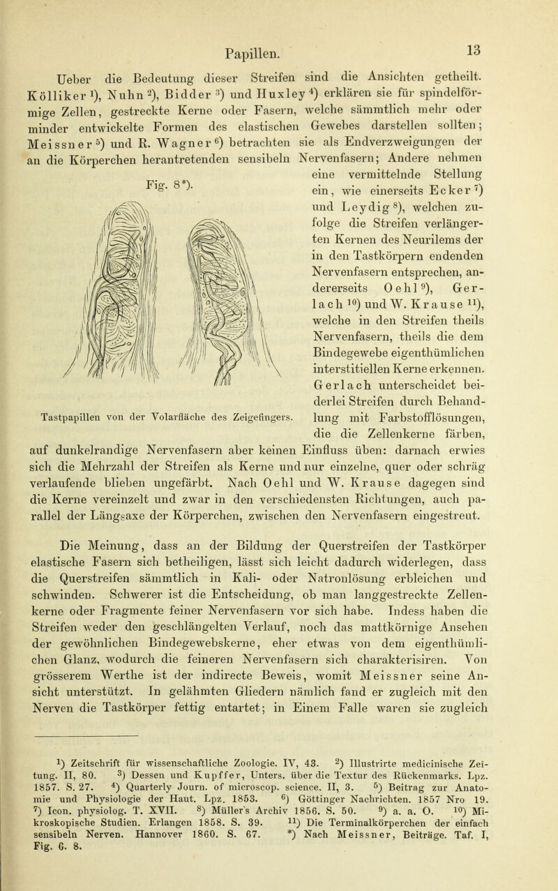 Ueber die Bedeutung dieser Streifen sind die Ansichten getheilt. Kölliker !), Nuhn2), Bidder 3) und Huxley4) erklären sie für spindelför- mige Zellen, gestreckte Kerne oder Fasern, welche sämmtlich mehr oder minder entwickelte Formen des elastischen Gewebes darstellen sollten; Meissner5) und R. Wagner6) betrachten sie als Endverzweigungen der an die Körperchen herantretenden sensibeln Nervenfasern; Andere nehmen eine vermittelnde Stellung ein, wie einerseits Ecker 7) und Leydig8), welchen zu- folge die Streifen verlänger- ten Kernen des Neurilems der in den Tastkörpern endenden Nervenfasern entsprechen, an- dererseits Oehl9), Ger- lach 10) und W. Krause n), welche in den Streifen theils Nervenfasern, theils die dem Bindegewebe eigenthümlichen interstitiellen Kerne erkennen. Gerlach unterscheidet bei- derlei Streifen durch Behand- lung mit Farbstofflösungen, die die Zellenkerne färben, auf dunkelrandige Nervenfasern aber keinen Einfluss üben: darnach erwies sich die Mehrzahl der Streifen als Kerne und nur einzelne, quer oder schräg verlaufende blieben ungefärbt. Nach Oehl und W. Krause dagegen sind die Kerne vereinzelt und zwar in den verschiedensten Richtungen, auch pa- rallel der Längsaxe der Körperchen, zwischen den Nervenfasern eingestreut. Die Meinung, dass an der Bildung der Querstreifen der Tastkörper elastische Fasern sich betheiligen, lässt sich leicht dadurch widerlegen, dass die Querstreifen sämmtlich in Kali- oder Natronlösung erbleichen und schwinden. Schwerer ist die Entscheidung, ob man langgestreckte Zellen- kerne oder Fragmente feiner Nervenfasern vor sich habe. Indess haben die Streifen weder den geschlängelten Verlauf, noch das mattkörnige Ansehen der gewöhnlichen Bindegewebskerne, eher etwas von dem eigenthümli- chen Glanz, wodurch die feineren Nervenfasern sich charakterisiren. Von grösserem Werth e ist der indirecte Beweis, womit Meissner seine An- sicht unterstützt. In gelähmten Gliedern nämlich fand er zugleich mit den Nerven die Tastkörper fettig entartet; in Einem Falle waren sie zugleich !) Zeitschrift für wissenschaftliche Zoologie. IV, 43. 2) Illustrirte medicinische Zei- tung. II, 80. 3) Dessen und Kupffer, Unters, über die Textur des Rückenmarks. Lpz. 1857. S. 27. 4) Quarterly Journ. of microscop. science. II, 3. 5) Beitrag zur Anato- mie und Physiologie der Haut. Lpz. 1853. 6) Göttinger Nachrichten. 1857 Nro 19. 7) Icon. physiolog. T. XVII. 8) Müllers Archiv 1856. S. 50. 9) a. a. 0. 10) Mi- kroskopische Studien. Erlangen 1858. S. 39. n) Die Terminalkörperchen der einfach sensibeln Nerven. Hannover 1860. S. 67. *) Nach Meissner, Beiträge. Taf. I, Fig. 6. 8.