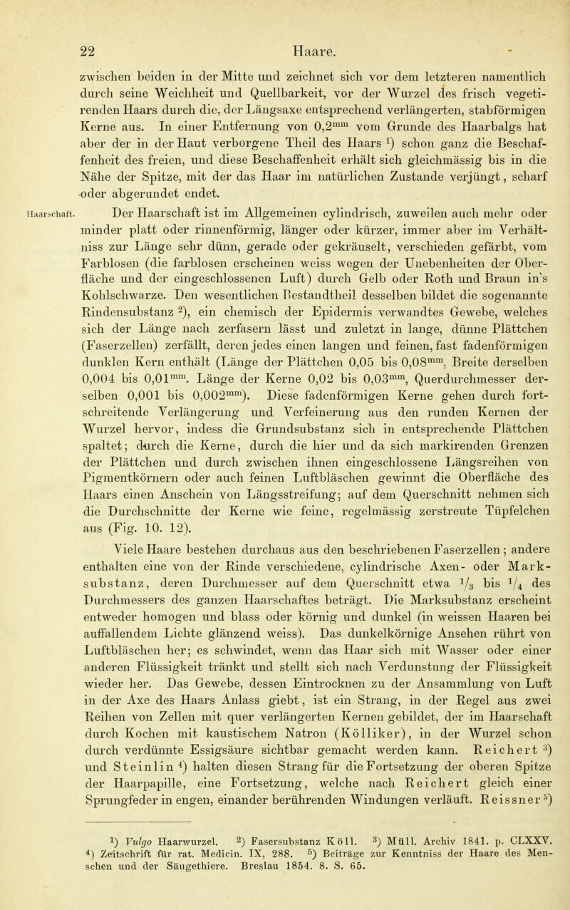 zwischen beiden in der Mitte und zeichnet sich vor dem letzteren namentlich durch seine Weichheit und Quellbarkeit, vor der Wurzel des frisch vegeti- renden Haars durch die, der Längsaxe entsprechend verlängerten, stabförmigen Kerne aus. In einer Entfernung von 0,2mm vom Grunde des Haarbalgs hat aber der in der Haut verborgene Theil des Haars l) schon ganz die Beschaf- fenheit des freien, und diese Beschaffenheit erhält sich gleichmässig bis in die Nähe der Spitze, mit der das Haar im natürlichen Zustande verjüngt, scharf oder abgerundet endet. Haarschaft. Der Haarschaft ist im Allgemeinen cylindrisch, zuweilen auch mehr oder minder platt oder rinnenförmig, länger oder kürzer, immer aber im Verhält- niss zur Länge sehr dünn, gerade oder gekräuselt, verschieden gefärbt, vom Farblosen (die farblosen erscheinen weiss wegen der Unebenheiten der Ober- fläche und der eingeschlossenen Luft) durch Gelb oder Koth und Braun in's Kohlschwarze. Den wesentlichen Bestandtheil desselben bildet die sogenannte Rindensubstanz 2), ein chemisch der Epidermis verwandtes Gewebe, welches sich der Länge nach zerfasern lässt und zuletzt in lange, dünne Plättchen (Faserzellen) zerfällt, deren jedes einen langen und feinen, fast fadenförmigen dunklen Kern enthält (Länge der Plättchen 0,05 bis 0,08mm, Breite derselben 0,004 bis 0,0lmm. Länge der Kerne 0,02 bis 0,03mm, Querdurchmesser der- selben 0,001 bis 0,002mm). Diese fadenförmigen Kerne gehen durch fort- schreitende Verlängerung und Verfeinerung aus den runden Kernen der Wurzel hervor, indess die Grundsubstanz sich in entsprechende Plättchen spaltet; durch die Kerne, durch die hier und da sich markirenden Grenzen der Plättchen und durch zwischen ihnen eingeschlossene Längsreihen von Pigmentkörnern oder auch feinen Luftbläschen gewinnt die Oberfläche des Ilaars einen Anschein von Längsstreifung; auf dem Querschnitt nehmen sich die Durchschnitte der Kerne wie feine, regelmässig zerstreute Tüpfelchen aus (Fig. 10. 12). Viele Haare bestehen durchaus aus den beschriebenen Faserzellen ; andere enthalten eine von der Rinde verschiedene, cylindrische Axen- oder Mark- substanz, deren Durchmesser auf dem Querschnitt etwa 1/3 bis */4 des Durchmessers des ganzen Haarschaftes beträgt. Die Marksubstanz erscheint entweder homogen und blass oder körnig und dunkel (in weissen Haaren bei auffallendem Lichte glänzend weiss). Das dunkelkörnige Ansehen rührt von Luftbläschen her; es schwindet, wenn das Haar sich mit Wasser oder einer anderen Flüssigkeit tränkt und stellt sich nach Verdunstung der Flüssigkeit wieder her. Das Gewebe, dessen Eintrocknen zu der Ansammlung von Luft in der Axe des Haars Anlass giebt, ist ein Strang, in der Regel aus zwei Reihen von Zellen mit quer verlängerten Kernen gebildet, der im Haarschaft durch Kochen mit kaustischem Natron (Kölliker), in der Wurzel schon durch verdünnte Essigsäure sichtbar gemacht werden kann. Reichert 3) und Steinlin4) halten diesen Strang für die Fortsetzung der oberen Spitze der Haarpapille, eine Fortsetzung, welche nach Reichert gleich einer Sprungfeder in engen, einander berührenden Windungen verläuft. Reissner5) 1) Vulgo Haarwurzel. 2) Fasersubstanz Köll. 3) Müll. Archiv 1841. p. CLXXV. 4) Zeitschrift für rat. Medicin. IX, 288. 5) Beiträge zur Kenntniss der Haare des Men- schen und der Säugethiere. Breslau 1854. 8. S. 65.