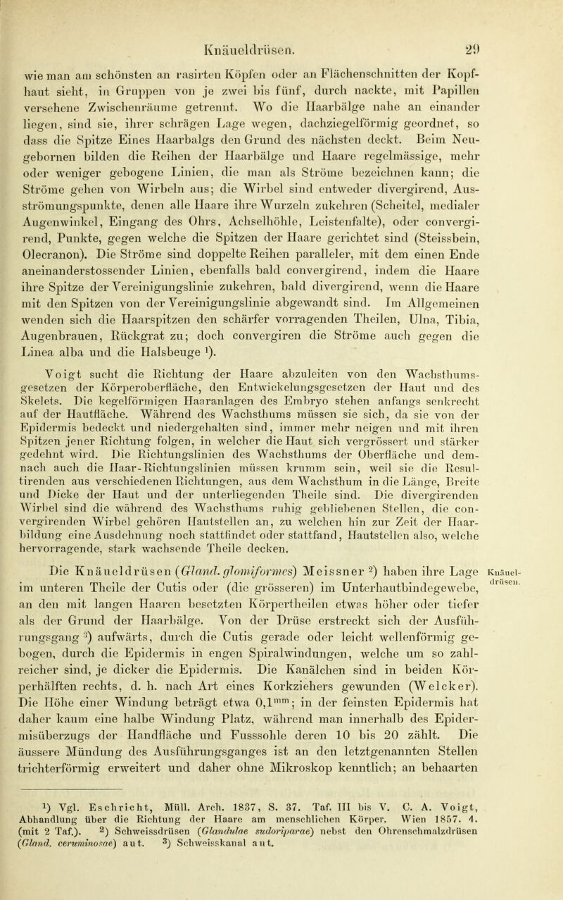 wie man am schönsten an rasirten Köpfen oder an Flächenschnitten der Kopf- haut sieht, in Gruppen von je zwei bis fünf, durch nackte, mit Papillen versehene Zwischenräume getrennt. Wo die Haarbälge nahe an einander liegen, sind sie, ihrer schrägen Lage wegen, dachziegelförmig geordnet, so dass die Spitze Eines Haarbalgs den Grund des nächsten deckt. Beim Neu- gebornen bilden die Reihen der Haarbälge und Haare regelmässige, mehr oder weniger gebogene Linien, die man als Ströme bezeichnen kann; die Ströme gehen von Wirbeln aus; die Wirbel sind entweder divergirend, Aus- strömungspunkte, denen alle Hanre ihre Wurzeln zukehren (Scheitel, medialer Augenwinkel, Eingang des Ohrs, Achselhöhle, Leistenfalte), oder convergi- rend, Punkte, gegen welche die Spitzen der Haare gerichtet sind (Steissbein, Olecranon). Die Ströme sind doppelte Reihen paralleler, mit dem einen Ende aneinanderstossender Linien, ebenfalls bald convergirend, indem die Haare ihre Spitze der Vereinigungslinie zukehren, bald divergirend, wenn die Haare mit den Spitzen von der Vereinigungslinie abgewandt sind. Im Allgemeinen wenden sich die Haarspitzen den schärfer vorragenden Theilen, Ulna, Tibia, Augenbrauen, Rückgrat zu; doch convergiren die Ströme auch gegen die Linea alba und die Halsbeuge ]). Voigt sucht die Richtung der Haare abzuleiten von den Wachsthums- gesetzen der Körperoberfläche, den Entwickehmgsgesetzen der Plaut und des Skelets. Die kegelförmigen Haaranlagen des Embryo stehen anfangs senkrecht auf der Hautfläche. Während des Wachsthums müssen sie sich, da sie von der Epidermis bedeckt und niedergehalten sind, immer mehr neigen und mit ihren Spitzen jener Richtung folgen, in welcher die Haut sich vergrössert und stärker gedehnt wird. Die Richtungslinien des Wachsthums der Oberfläche und dem- nach auch die Haar-Richtungslinien müssen krumm sein, weil sie die Resul- tirenden aus verschiedenen Richtungen, aus dem Wachsthum in die Länge, P>reite und Dicke der Haut und der unterliegenden Theile sind. Die divergirenden Wirbel sind die während des Wachsthums ruhig gebliebenen Stellen, die con- vergirenden Wirbel gehören Hautstellen an, zu welchen hin zur Zeit der Haar- bildung eine Ausdehnung noch stattfindet oder stattfand, Hautstellen also, welche hervorragende, stark wachsende Theile decken. Die Knäueldrüsen (Crland. glomiformes) Meissner 2) haben ihre Lage Knäuei- im unteren Theile der Cutis oder (die grösseren) im Unterhautbindegewebe, rüseu- an den mit langen Haaren besetzten Körpertheilen etwas höher oder tiefer als der Grund der Haarbälge. Von der Drüse erstreckt sich der Ausfüh- rungsgang 3) aufwärts, durch die Cutis gerade oder leicht wellenförmig ge- bogen, durch die Epidermis in engen Spiralwindungen, welche um so zahl- reicher sind, je dicker die Epidermis. Die Kanälchen sind in beiden Kör- perhälften rechts, d. h. nach Art eines Korkziehers gewunden (Welcker). Die Höhe einer Windung beträgt etwa 0,lmm; in der feinsten Epidermis hat daher kaum eine halbe Windung Platz, während man innerhalb des Epider- misüberzugs der Handfläche und Fusssohle deren 10 bis 20 zählt. Die äussere Mündung des Ausführungsganges ist an den letztgenannten Stellen trichterförmig erweitert und daher ohne Mikroskop kenntlich; an behaarten !) Vgl. Eschricht, Müll. Avch. 1837, S. 37. Taf. III bis V. C. A. Voigt, Abhandlung über die Richtung der Haare am menschlichen Körper. Wien 1857. 4. (mit 2 Taf.). 2) Schweissdrüsen {Glandulae szidoriparae) nebst den Ohrenschmalzdrüsen (Gland. ceruminome) aut. 3) Schweisskanal aut.