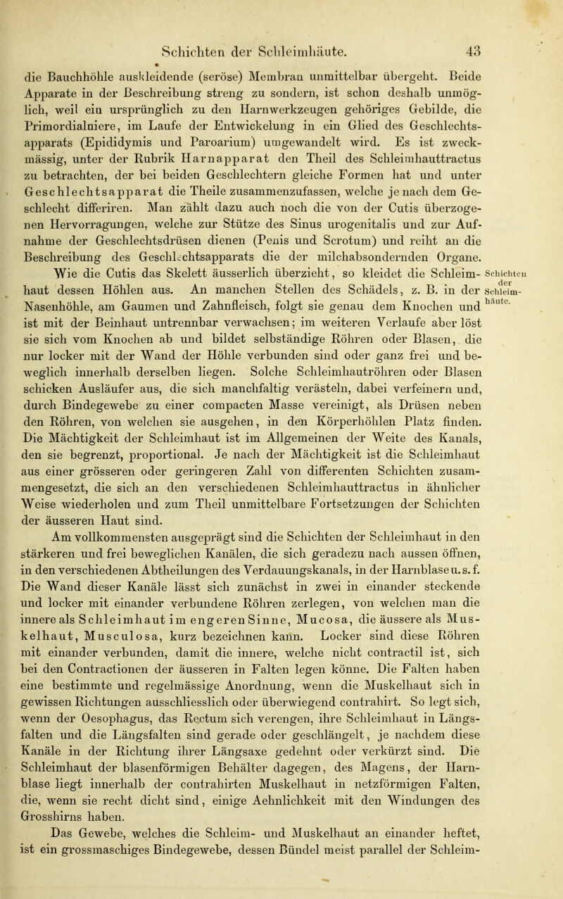 • die Bauchhöhle auskleidende (seröse) Membran unmittelbar übergeht. Beide Apparate in der Beschreibung streng zu sondern, ist schon deshalb unmög- lich, weil ein ursprünglich zu den Harnwerkzeugen gehöriges Gebilde, die Primordialniere, im Laufe der Entwicklung in ein Glied des Geschlechts- apparats (Epididymis und Paroarium) umgewandelt wird. Es ist zweck- mässig, unter der Rubrik Harnapparat den Theil des Schleimhauttractus zu betrachten, der bei beiden Geschlechtern gleiche Formen hat und unter Geschlechtsapparat die Theile zusammenzufassen, welche je nach dem Ge- schlecht differiren. Man zählt dazu auch noch die von der Cutis überzoge- nen Hervorragungen, welche zur Stütze des Sinus urogenitalis und zur Auf- nahme der Geschlechtsdrüsen dienen (Penis und Scrotum) und reiht an die Beschreibung des Geschhchtsapparats die der milchabsondernden Organe. Wie die Cutis das Skelett äusserlich überzieht, so kleidet die Schleim- Schichten haut dessen Höhlen aus. An manchen Stellen des Schädels, z. B. in der Schieim- Nasenhöhle, am Gaumen und Zahnfleisch, folgt sie genau dem Knochen und haute' ist mit der Beinhaut untrennbar verwachsen; im weiteren Verlaufe aber löst sie sich vom Knochen ab und bildet selbständige Röhren oder Blasen, die nur locker mit der Wand der Höhle verbunden sind oder ganz frei und be- weglich innerhalb derselben liegen. Solche Schleimhautröhren oder Blasen schicken Ausläufer aus, die sich manchfaltig verästeln, dabei verfeinern und, durch Bindegewebe zu einer compacten Masse vereinigt, als Drüsen neben den Röhren, von welchen sie ausgehen, in den Körperhöhlen Platz finden. Die Mächtigkeit der Schleimhaut ist im Allgemeinen der Weite des Kanals, den sie begrenzt, proportional. Je nach der Mächtigkeit ist die Schleimhaut aus einer grösseren oder geringeren Zahl von difFerenten Schichten zusam- mengesetzt, die sich an den verschiedenen Schleimhauttractus in ähnlicher Weise wiederholen und zum Theil unmittelbare Fortsetzungen der Schichten der äusseren Haut sind. Am vollkommensten ausgeprägt sind die Schichten der Schleimhaut in den stärkeren und frei beweglichen Kanälen, die sich geradezu nach aussen öffnen, in den verschiedenen Abtheilungen des Verdauungskanals, in der Harnblase u.s. f. Die Wand dieser Kanäle lässt sich zunächst in zwei in einander steckende und locker mit einander verbundene Röhren zerlegen, von welchen man die innere als Schleimhaut i m engeren Sinne, Mucosa, die äussere als Mus- kelhaut, Musculosa, kurz bezeichnen kann. Locker sind diese Röhren mit einander verbunden, damit die innere, welche nicht contractu ist, sich bei den Contractionen der äusseren in Falten legen könne. Die Falten haben eine bestimmte und regelmässige Anordnung, wenn die Muskelhaut sich in gewissen Richtungen ausschliesslich oder überwiegend contrahirt. So legt sich, wenn der Oesophagus, das Rectum sich verengen, ihre Schleimhaut in Längs- falten und die Längsfalten sind gerade oder geschlängelt, je nachdem diese Kanäle in der Richtung ihrer Längsaxe gedehnt oder verkürzt sind. Die Schleimhaut der blasenförmigen Behälter dagegen, des Magens, der Harn- blase liegt innerhalb der contrahirten Muskelhaut in netzförmigen Falten, die, wenn sie recht dicht sind, einige Aehnlichkeit mit den Windungen des Grosshirns haben. Das Gewebe, welches die Schleim- und Muskelhaut an einander heftet, ist ein grossmaschiges Bindegewebe, dessen Bündel meist parallel der Schleim-