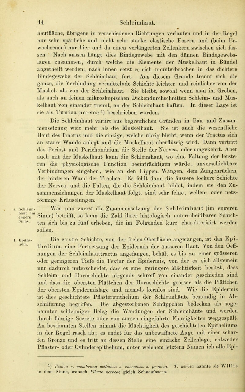 hautfläche, übrigens in verschiedenen Richtungen verlaufen und in der Regel nur sehr spärliche und nicht sehr starke elastische Fasern und (beim Er- wachsenen) nur hier und da einen verlängerten Zellenkern zwischen sich fas- sen. ' Nach aussen hängt dies Bindegewebe mit den dünnen Bindegewebs- lagen zusammen, durch welche die Elemente der Muskelhaut in Bündel abgetheilt werden; nach innen setzt es sich ununterbrochen in das dichtere Bindegewebe der Schleimhaut fort. Aus diesem Grunde trennt sich die ganze, die Verbindung vermittelnde Schichte leichter und reinlicher von der Muskel- als von der Schleimhaut. Sie bleibt, sowohl wenn man im Groben, als auch an feinen mikroskopischen Dickendurchschnitten Schleim- und Mus- kelhaut von einander trennt, an der Schleimhaut haften. In dieser Lage ist sie als Tunica nervea1) beschrieben worden. Die Schleimhaut variirt aus begreiflichen Gründen in Bau und Zusam- mensetzung weit mehr als die Muskelhaut. Sie ist auch die wesentliche Haut des Tractus und die einzige, welche übrig bleibt, wenn der Tractus sich an starre Wände anlegt und die Muskelhaut überflüssig wird. Dann vertritt das Periost und Perichondrium die Stelle der Nervea, oder umgekehrt. Aber auch mit der Muskelhaut kann die Schleimhaut, wo eine Faltung der letzte- ren die physiologische Function beeinträchtigen würde, unverschiebbare Verbindungen eingehen, wie an den Lippen, Wangen, dem Zungenrücken, der hinteren Wand der Trachea. Es fehlt dann die äussere lockere Schichte der Nervea, und die Falten, die die Schleimhaut bildet, indem sie den Zu- sammenziehungen der Muskelhaut folgt, sind sehr feine, wellen- oder netz- förmige Kräuselungen, a. Schleim- Was nun zuerst die Zuammensetzung der Schleimhaut (im engeren engern1 Sinne) betrifft, so kann die Zahl ihrer histologisch unterscheidbaren Schich- Shme- ten sich bis zu fünf erheben, die im Folgenden kurz charakterisirt werden sollen. 1. Epithe- Die erste Schichte, von der freien Oberfläche angefangen, ist das Epi- hum' thelium, eine Fortsetzung der Epidermis der äusseren Haut. Von den Oeff- nungen der Schleimhauttractus angefangen, behält es bis zu einer grösseren oder geringeren Tiefe die Textur der Epidermis, von der es sich allgemein nur dadurch unterscheidet, dass es eine geringere Mächtigkeit besitzt, dass Schleim- und Hornschichte nirgends schroff von einander geschieden sind und dass die obersten Plättchen der Hornschichte grösser als die Plättchen der obersten Epidermislage und niemals kernlos sind. Wie die Epidermis ist dies geschichtete Pflasterepithelium der Schleimhäute beständig in Ab- schilferung begriffen. Die abgestorbenen Schüppchen bedecken als soge- nannter schleimiger Beleg die Wandungen der Schleimhäute und werden durch flüssige Secrete oder von aussen eingeführte Flüssigkeiten weggespült. An bestimmten Stellen nimmt die Mächtigkeit des geschichteten Epitheliums in der Regel rasch ab; es endet für das unbewaffnete Auge mit einer schar- fen Grenze und es tritt an dessen Stelle eine einfache Zellenlage, entweder Pflaster- oder Cylinderepithelium, unter welchem letztern Namen ich alle Epi- *) Tunica s. membrana cellulosa s. vasculosa s. proprio,. T. nervea nannte sie Willis in dem Sinne, wonach Fibrae nerveae gleich Sehnenfasern.