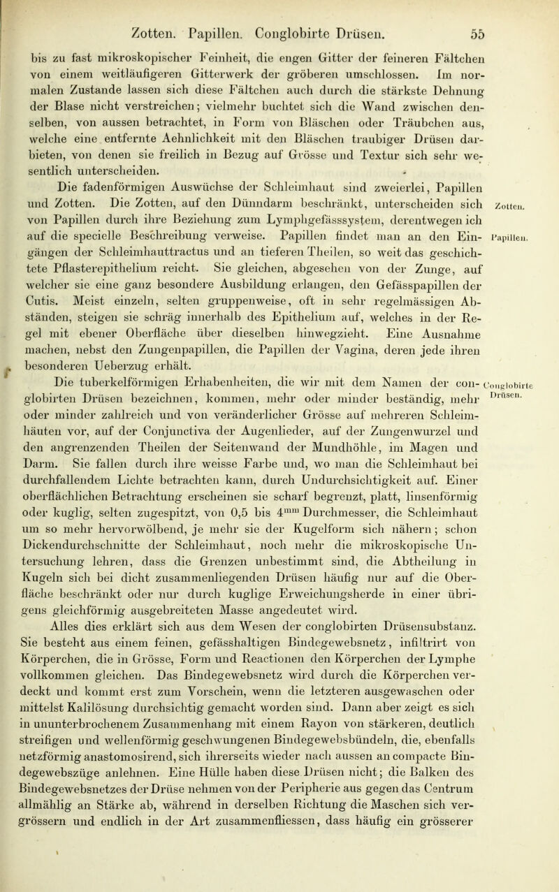 bis zu fast mikroskopischer Feinheit, die engen Gitter der feineren Fältchen von einem weitläufigeren Gitterwerk der gröberen umschlossen. Im nor- malen Zustande lassen sich diese Fältchen auch durch die stärkste Dehnung der Blase nicht verstreichen; vielmehr buchtet sich die Wand zwischen den- selben, von aussen betrachtet, in Form von Bläschen oder Träubchen aus, welche eine entfernte Aehnlichkeit mit den Bläschen traubiger Drüsen dar- bieten, von denen sie freilich in Bezug auf Grösse und Textur sich sehr we- sentlich unterscheiden. Die fadenförmigen Auswüchse der Schleimhaut sind zweierlei, Papillen und Zotten. Die Zotten, auf den Dünndarm beschränkt, unterscheiden sich Zotten, von Papillen durch ihre Beziehung zum Lymphgefässsystem, derentwegen ich auf die specielle Beschreibung verweise. Papillen findet man an den Ein- Papillen, gängen der Schleimhauttractus und an tieferen Theilen, so weit das geschich- tete Pflasterepithelium reicht. Sie gleichen, abgesehen von der Zunge, auf welcher sie eine ganz besondere Ausbildung erlangen, den Gefässpapillen der Cutis. Meist einzeln, selten gruppenweise, oft in sehr regelmässigen Ab- ständen, steigen sie schräg innerhalb des Epithelium auf, welches in der Re- gel mit ebener Oberfläche über dieselben hinwegzieht. Eine Ausnahme machen, nebst den Zungenpapillen, die Papillen der Vagina, deren jede ihren besonderen Ueberzug erhält. Die tuberkelförmigen Erhabenheiten, die wir mit dem Namen der con- c'ongiobirie globirten Drüsen bezeichnen, kommen, mehr oder minder beständig, mehr Drttsen- oder minder zahlreich und von veränderlicher Grösse auf mehreren Schleim- häuten vor, auf der Conjunctiva der Augenlieder, auf der Zungenwurzel und den angrenzenden Theilen der Seiten wand der Mundhöhle, im Magen und Darm. Sie fallen durch ihre weisse Farbe und, wo man die Schleimhaut bei durchfallendem Lichte betrachten kann, durch Undurchsichtigkeit auf. Einer oberflächlichen Betrachtung erscheinen sie scharf begrenzt, platt, linsenförmig oder kuglig, selten zugespitzt, von 0,5 bis 4mm Durchmesser, die Schleimhaut um so mehr hervorwölbend, je mehr sie der Kugelform sich nähern; schon Dickendurchschnitte der Schleimhaut, noch mehr die mikroskopische Un- tersuchung lehren, dass die Grenzen unbestimmt sind, die Abtheilung in Kugeln sich bei dicht zusammenliegenden Drüsen häufig nur auf die Ober- fläche beschränkt oder nur durch kuglige Erweichungsherde in einer übri- gens gleichförmig ausgebreiteten Masse angedeutet wird. Alles dies erklärt sich aus dem Wesen der conglobirten Drüsensubstanz. Sie besteht aus einem feinen, gefässhaltigen Bindegewebsnetz, infiltrirt von Körperchen, die in Grösse, Form und Reactionen den Körperchen der Lymphe vollkommen gleichen. Das Bindegewebsnetz wird durch die Körperchen ver- deckt und kommt erst zum Vorschein, wenn die letzteren ausgewaschen oder mittelst Kalilösung durchsichtig gemacht worden sind. Dann aber zeigt es sich in ununterbrochenem Zusammenhang mit einem Rayon von stärkeren, deutlich streifigen und wellenförmig geschwungenen Bindegewebsbündeln, die, ebenfalls netzförmig anastomosirend, sich ihrerseits wieder nach aussen an compacte Bin- degewebszüge anlehnen. Eine Hülle haben diese Drüsen nicht; die Balken des Bindegewebsnetzes der Drüse nehmen von der Peripherie aus gegen das Centrum allmählig an Stärke ab, während in derselben Richtung die Maschen sich ver- grössern und endlich in der Art zusammenfliessen, dass häufig ein grösserer
