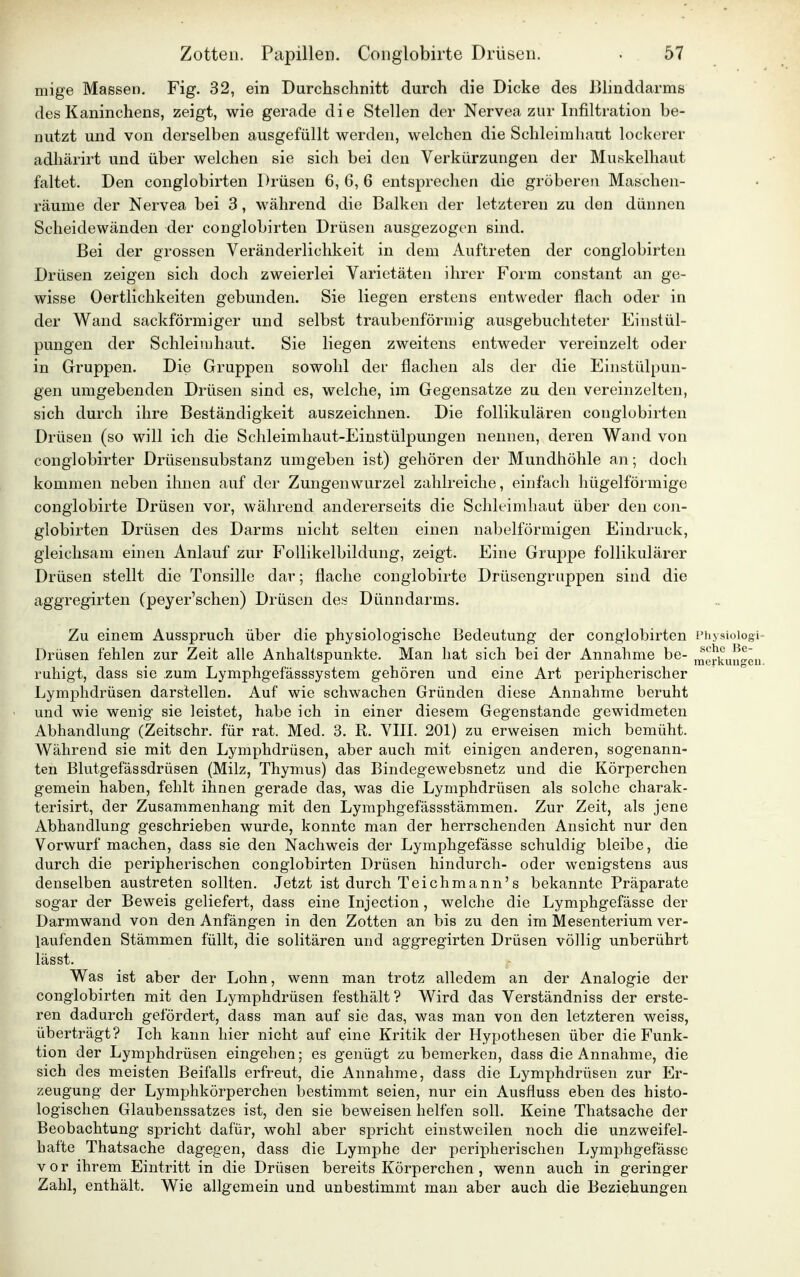 mige Massen. Fig. 32, ein Durchschnitt durch die Dicke des Blinddarms des Kaninchens, zeigt, wie gerade die Stellen der Nervea zur Infiltration be- nutzt und von derselben ausgefüllt werden, welchen die Schleimhaut lockerer adhärirt und über welchen sie sich bei den Verkürzungen der Muskelhaut faltet. Den conglobirten Drüsen 6, 6, 6 entsprechen die gröberen Maschen- räume der Nervea bei 3, während die Balken der letzteren zu den dünnen Scheidewänden der conglobirten Drüsen ausgezogen sind. Bei der grossen Veränderlichkeit in dem Auftreten der conglobirten Drüsen zeigen sich doch zweierlei Varietäten ihrer Form constant an ge- wisse Oertlichkeiten gebunden. Sie liegen erstens entweder flach oder in der Wand sackförmiger und selbst traubenförmig ausgebuchteter Einstül- pungen der Schleimhaut. Sie liegen zweitens entweder vereinzelt oder in Gruppen. Die Gruppen sowohl der flachen als der die Einstülpun- gen umgebenden Drüsen sind es, welche, im Gegensatze zu den vereinzelten, sich durch ihre Beständigkeit auszeichnen. Die follikulären conglobirten Drüsen (so will ich die Schleimhaut-Einstülpungen nennen, deren Wand von conglobirter Drüsensubstanz umgeben ist) gehören der Mundhöhle an; doch kommen neben ihnen auf der Zungenwurzel zahlreiche, einfach hügelförmige conglobirte Drüsen vor, während andererseits die Schleimhaut über den con- globirten Drüsen des Darms nicht selten einen nabeiförmigen Eindruck, gleichsam einen Anlauf zur Follikelbildung, zeigt. Eine Gruppe follikulärer Drüsen stellt die Tonsille dar; flache conglobirte Drüsengruppen sind die aggregirten (peyer'schen) Drüsen des Dünndarms. Zu einem Ausspruch über die physiologische Bedeutung der conglobirten Physiologe Drüsen fehlen zur Zeit alle Anhaltspunkte. Man hat sich bei der Annahme be- merkungen, ruhigt, dass sie zum Lymphgefässsystem gehören und eine Art peripherischer Lymphdrüsen darstellen. Auf wie schwachen Gründen diese Annahme beruht und wie wenig sie leistet, habe ich in einer diesem Gegen stände gewidmeten Abhandlung (Zeitschr. für rat. Med. 3. R. VIII. 201) zu erweisen mich bemüht. Während sie mit den Lymphdrüsen, aber auch mit einigen anderen, sogenann- ten Blutgefässdrüsen (Milz, Thymus) das Bindegewebsnetz und die Körperchen gemein haben, fehlt ihnen gerade das, was die Lymphdrüsen als solche charak- terisirt, der Zusammenhang mit den Lymphgefässstämmen. Zur Zeit, als jene Abhandlung geschrieben wurde, konnte man der herrschenden Ansicht nur den Vorwurf machen, dass sie den Nachweis der Lymphgefässe schuldig bleibe, die durch die peripherischen conglobirten Drüsen hindurch- oder wenigstens aus denselben austreten sollten. Jetzt ist durch Teichmann's bekannte Präparate sogar der Beweis geliefert, dass eine Injection, welche die Lymphgefässe der Darmwand von den Anfängen in den Zotten an bis zu den im Mesenterium ver- laufenden Stämmen füllt, die solitären und aggregirten Drüsen völlig unberührt lässt. Was ist aber der Lohn, wenn man trotz alledem an der Analogie der conglobirten mit den Lymphdrüsen festhält? Wird das Verständniss der erste- ren dadurch gefördert, dass man auf sie das, was man von den letzteren weiss, überträgt? Ich kann hier nicht auf eine Kritik der Hypothesen über die Funk- tion der Lymphdrüsen eingehen; es genügt zu bemerken, dass die Annahme, die sich des meisten Beifalls erfreut, die Annahme, dass die Lymphdrüsen zur Er- zeugung der Lymphkörperchen bestimmt seien, nur ein Ausnuss eben des histo- logischen Glaubenssatzes ist, den sie beweisen helfen soll. Keine Thatsache der Beobachtung spricht dafür, wohl aber spricht einstweilen noch die unzweifel- hafte Thatsache dagegen, dass die Lymphe der peripherischen Lymphgefässe vor ihrem Eintritt in die Drüsen bereits Körperchen, wenn auch in geringer Zahl, enthält. Wie allgemein und unbestimmt man aber auch die Beziehungen