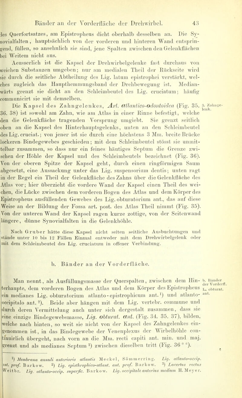ies Querfortsatzes, am Epistropheus dicht oberhalb desselben an. Die Sy- tiovialfalten , hauptsächlich von der vorderen und hinteren Wand entsprin- gend, füllen, so ansehnlich sie sind, jene Spalten zwischen den Gelenkflächen bei Weitem nicht aus. Aeusserlich ist die Kapsel der Drehwirbelgelenke fast durchaus von weichen Substanzen umgeben; nur am medialen Theil der Rückseite wird sie durch die seitliche Abtheilung des Lig. latum epistrophei verstärkt, wel- ches zugleich das Haupthemmungsband der Drehbewegung ist. Median- wärts grenzt sie dicht an den Schleimbeutel des Lig. cruciatum; häufig communicirt sie mit demselben. Die Kapsel des Zahngelenkes, Art. atlantico-odontoiäea (Fig. 35. 3. Zannge- . . . . . lenk. 36. 38) ist sowohl am Zahn, wie am Atlas in einer Rinne befestigt, welche den die Gelenkfläche tragenden Vorsprung umgiebt. Sie grenzt seitlich oben an die Kapsel des Hinterhauptsgelenks, unten an den Schleimbeutel des Lig. cruciat.; von jener ist sie durch eine höchstens 3 Mm. breite Brücke lockeren Bindegewebes geschieden; mit dem Schleimbeutel stösst sie unmit- telbar zusammen, so dass nur ein feines häutiges Septum die Grenze zwi- schen der Höhle der Kapsel und des Schleimbeutels bezeichnet (Fig. 36). Von der oberen Spitze der Kapsel geht, durch einen ringförmigen Saum abgesetzt, eine Aussackung unter das Lig. Suspensorium dentis; unten ragt in der Regel ein Theil der Gelenkfläche des Zahns über die Gelenkfläche des Atlas vor; hier überzieht die vordere Wand der Kapsel einen Theil des wei- chen, die Lücke zwischen dem vorderen Bogen des Atlas und dem Körper des Epistropheus ausfüllenden Gewebes des Lig. obturatörium ant., das auf diese Weise an der Bildung der Fossa art. post. des Atlas Theil nimmt (Fig. 35). Von der unteren Wand der Kapsel ragen kurze zottige, von der Seitenwand längere, dünne Synovialfalten in die Gelenkhöhle. Nach Gruber hätte diese Kapsel nicht selten seitliche Ausbuchtungen und stände unter 10 bis 12 Fällen Einmal entweder mit dem Dvehwirbelgelenk oder mit dem Schleimbeutel des Lig. cruciatum in offener Verbindung. b. Bänder an der Vorderfläche. Man nennt, als Ausfüllungsmasse der Querspalten, zwischen dem Hin- J^JJjJ^ terhaupte, dem vorderen Bogen des Atlas und dem Körper des Epistropheus L> obturat. ein medianes Lig. obturatörium atlanto - epistrophicum ant.1) und atlanto- ant- occipitalo ant. 2). Beide aber hängen mit dem Lig. vertebr. commune und durch deren Vermittelung auch unter sich dergestalt zusammen, dass sie jeine einzige Bindegewebsmasse, Lig. obturat. ant. (Fig. 34. 35. 37), bilden, welche nach hinten, so weit sie nicht von der Kapsel des Zahngelenkes ein- genommen ist, in das Bindegewebe der Venenplexus der Wirbelhöhle con- tihuirlich übergeht, nach vorn an die Mm. recti capiti ant. min. und maj. grenzt und als medianes Septum 3) zwischen dieselben tritt (Fig. 36 * *). x) Membrana annuli anteriores atlanüs Meckel, Sö mm erring. Lig. atlanio-occip. ■mt. prof. Barkow. 2) Lig. episthrophico-atlant. ant. pro/. Barkow. 3) Lacertus rectus Weitbr. Lig, atlanto-occip. superßc. Barkow. Lig. occipitale anterius medium H.Meyer.