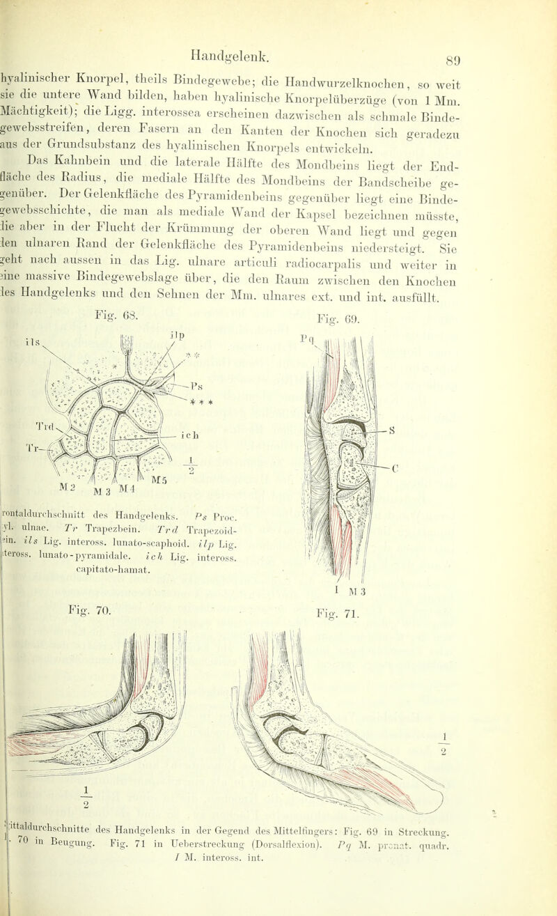 hyalinischer Knorpel, theils Bindegewebe; die Handwurzelknochen, so weit sie die untere Wand bilden, haben hyalinische Knorpelüberzüge (von 1 Mm Mächtigkeit); dieLigg. interossea erscheinen dazwischen als schmale Binde- gewebsstrerfen, deren Fasern an den Kanten der Knochen sich geradezu aus der Grundsubstanz des hyalinischen Knorpels entwickeln. Das Kahnbein und die laterale Hälfte des Mondbeins liegt der End- fläche des Radius, die mediale Hälfte des Mondbeins der Bandscheibe ge- genüber. Der Gelenkfläche des Pyramidenbeins gegenüber liegt eine Binde* gewebsschichte, die man als mediale Wand der Kapsel bezeichnen müsste, lie aber in der Flucht der Krümmung der oberen Wand liegt und gegen len ulnaren Rand der Gelenkfläche des Pyramidenbeins niedersteigt. Sie ?eht nach aussen in das Lig. ulnare articuli radiocarpalis und weiter in 3ine massive Bindegewebslage über, die den Raum zwischen den Knochen les Handgelenks und den Sehnen der Mm. ulnares ext. und int. ausfüllt. Fier. 68. Fig. 69. * * * romtaldurchschnitt des Handgelenks. Ps Proc. vi. ulnae. Tr Trapezbein. Trd Trapezoid- pa. ils Lig. inteross. lunato-scaphoid. Up Lig. 'iteross. lunato-pyramidale. ich Lig. inteross. capitato-hamat. M 3 Fiff. 71. ittaldurchschnitte des Handgelenks in der Gegend des Mittelfingers: Fig. 69 in Streckung. 70 in Beugung. Fig. 71 in Ueberstreckung (Dorsalflexion). / M. inteross. int.