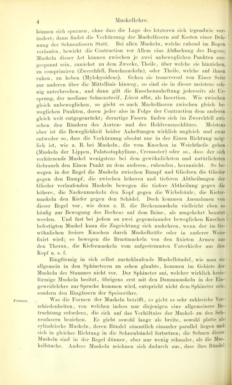 können sich spannen, ohne dass die Lage des letzteren sich irgendwie ver- ändert- dann findet die Verkürzung der Muskelfasern auf Kosten einer Deh- nung der Sehnenfasern Statt. Bei allen Muskeln, welche ruhend im Bogen verlaufen, bewirkt die Contraction vor Allem eine Abflachung des Bogens; Muskeln dieser Art können zwischen je zwei unbeweglichen Punkten aus- gespannt sein, zunächst zu dem Zwecke, Theile, über welche sie hinziehen, zu comprimiren (Zwerchfell, Bauchmuskeln), oder Theile, welche auf ihnen ruhen, zu heben (Mylohyoideus). Gehen sie transversal von Einer Seite zur anderen über die Mittellinie hinweg, so sind sie in dieser meistens seh- nig unterbrochen, und dann gilt die Knochenanheftung jederseits als Ur- sprung, der mediane Sehnenstreif, Linea alba, als Insertion. Wie zwischen gleich unbeweglichen, so giebt es auch Muskelfasern zwischen gleich be- weglichen Punkten, deren jeder also in Folge der Contraction dem anderen gleich weit entgegenrückt; derartige Fasern finden sich im Zwerchfell zwi- schen den Bändern des Aorten- und des Hohlvenenschlitzes. Meistens aber ist die Beweglichkeit beider Anheftungen wirklich ungleich und zwar entweder so, dass die Verkürzung absolut nur in der Einen Richtung mög- lich ist, wie z. B. bei Muskeln, die vom Knochen in Weichtheile gehen j (Muskeln der Lippen, Palatostaphylinus, Cremaster) oder so, dass der sich verkürzende Muskel wenigstens bei dem gewöhnlichsten und natürlichsten Gebrauch den Einen Punkt zu dem anderen, ruhenden, heranzieht. So be- wegen in der Regel die Muskeln zwischen Rumpf und Gliedern die Glieder gegen den Rumpf, die zwischen höheren und tieferen Abtheilungen der Glieder verlaufenden Muskeln bewegen die tiefere Abtheilung gegen die höhere, die Nackenmuskeln den Kopf gegen die Wirbelsäule, die Kiefer- muskeln den Kiefer gegen den Schädel. Doch kommen Ausnahmen von dieser Regel vor, wie denn z. B. die Beckenmuskeln vielleicht eben so häufig zur Bewegung des Beckens auf dem Beine, als umgekehrt benutzt » werden. Und fast bei jedem an zwei gegeneinander beweglichen Knochen 6 befestigten Muskel kann die Zugrichtung sich umkehren, wenn der im Ge- wöhnlichen freiere Knochen durch Muskelkräfte oder in anderer Weise fixirt wird; so bewegen die Brustmuskeln von den fixirten Armen aus den Thorax, die Kiefermuskeln vom aufgestemmten Unterkiefer aus den Kopf u. s. f. Ringförmig in sich selbst zurücklaufende Muskelbündel, wie man sie allgemein in den Sphincteren zu sehen glaubte, kommen im Gebiete der Muskeln des Stammes nicht vor. Der Sphincter ani, welcher wirklich kreis- förmige Muskeln besitzt, übrigens erst mit den Dammmuskeln in der Ein- geweidelehre zur Sprache kommen wird, entspricht nicht dem Sphincter oris, sondern den Ringfasern der Speiseröhre. Formen. Was die Formen der Muskeln betrifft, so giebt es sehr zahlreiche Ver- schiedenheiten , von welchen indess nur diejenigen eine allgemeinere Be- trachtung erfordern, die sich auf das Verhältniss der Muskel- zu den Seh- nenfasern beziehen. Es giebt sowohl lange als breite, sowohl platte als! cylindrische Muskeln, deren Bündel sämmtlich einander parallel liegen und! sich in gleicher Richtung in die Sehnenbündel fortsetzen; die Sehnen dieser; Muskeln sind in der Regel dünner, aber nur wenig schmaler, als die Mus- kelbäuche. Andere Muskeln zeichnen sich dadurch aus, dass ihre Bündel