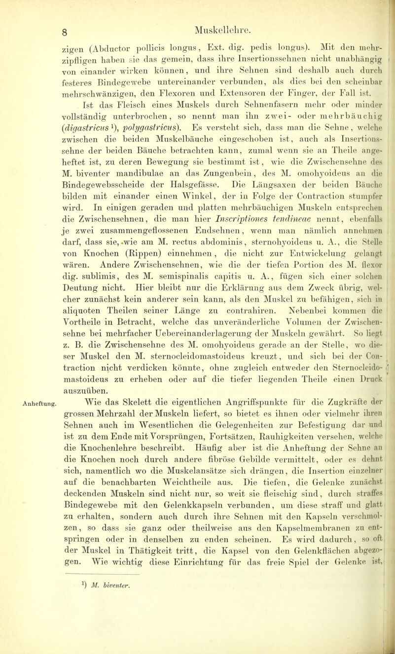 zigen (Abductor pollicis longus, Ext. dig. pedis longus). Mit den mehr- zipfligen haben sie das gemein, dass ihre Insertionssehnen nicht unabhängig von einander wirken können, und ihre Sehnen sind deshalb auch durch festeres Bindegewebe untereinander verbunden, als dies bei den scheinbar mehrschwänzigen, den Flexoren und Extensoren der Finger, der Fall ist. Ist das Fleisch eines Muskels durch Sehnenfasern mehr oder minder vollständig unterbrochen, so nennt man ihn zwei- oder mehrbäuchi (digastricas *), polygastricus). Es versteht sich, dass man die Sehne, welche zwischen die beiden Muskelbäuche eingeschoben ist, auch als Insertions- sehne der beiden Bäuche betrachten kann, zumal wenn sie an Theile ange- heftet ist, zu deren Bewegung sie bestimmt ist, wie die Zwischensehne des M. biventer mandibulae an das Zungenbein, des M. omohyoideus an die Bindegewebsscheide der Halsgefässe. Die Längsaxen der beiden Bäuche bilden mit einander einen Winkel, der in Folge der Contraction stumpfer wird. In einigen geraden und platten mehrbäuchigen Muskeln entsprechen die Zwischensehnen, die man hier Inscriptiones tendineae nennt, ebenfalls je zwei zusammengeflossenen Endsehnen, wenn man nämlich annehmen darf, dass sie,-wie am M. rectus abdominis, sternohyoideus u. A., die Stelle von Knochen (Rippen) einnehmen , die nicht zur Entwicklung gelangt wären. Andere Zwischensehnen, wie die der tiefen Portion des M. flexor dig. sublimis, des M. semispinalis capitis u. A., fügen sich einer solchen Deutung nicht. Hier bleibt nur die Erklärung aus dem Zweck übrig, wel- eher zunächst kein anderer sein kann, als den Muskel zu befähigen, sich in aliquoten Theilen seiner Länge zu contrahiren. Nebenbei kommen die Vortheile in Betracht, welche das unveränderliche Volumen der Zwischen- sehne bei mehrfacher Uebereinanderlagerung der Muskeln gewährt. So liegt z. B. die Zwischensehne des M. omohyoideus gerade an der Stelle, wo die- ser Muskel den M. sternocleidomastoideus kreuzt, und sich bei der Con- traction nicht verdicken könnte, ohne zugleich entweder den Sternocleido- jj mastoideus zu erheben oder auf die tiefer liegenden Theile einen Druck auszuüben. Anheftung. Wie das Skelett die eigentlichen Angriffspunkte für die Zugkräfte der grossen Mehrzahl der Muskeln liefert, so bietet es ihnen oder vielmehr ihren Sehnen auch im Wesentlichen die Gelegenheiten zur Befestigung dar und ist zu dem Ende mit Vorsprüngen, Fortsätzen, Rauhigkeiten versehen, welche die Knochenlehre beschreibt. Häufig aber ist die Anheftung der Sehne an j die Knochen noch durch andere fibröse Gebilde vermittelt, oder es dehnt sich, namentlich wo die Muskelansätze sich drängen, die Insertion einzelner auf die benachbarten Weichtheile aus. Die tiefen, die Gelenke zunächst deckenden Muskeln sind nicht nur, so weit sie fleischig sind, durch straffes Bindegewebe mit den Gelenkkapseln verbunden, um diese straff und glatt zu erhalten, sondern auch durch ihre Sehnen mit den Kapseln verschmol- zen , so dass sie ganz oder theilweise aus den Kapselmembranen zu ent- springen oder in denselben zu enden scheinen. Es wird dadurch, so oft, der Muskel in Thätigkeit tritt, die Kapsel von den Gelenkflächen abgezo-! gen. Wie wichtig diese Einrichtung für das freie Spiel der Gelenke ist, L) M. biventer.