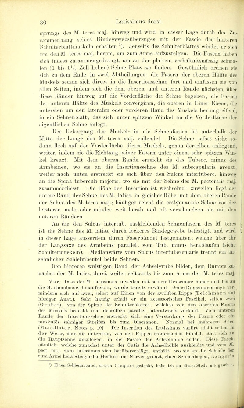 sprungs des M. teres maj. hinweg und wird in dieser Lage durch den Zu- sammenhang seines Bindegewebsüberzuges mit der Fascie der hinteren Schulterblattmuskeln erhalten x). Jenseits des Schulterblattes windet er sich um den M. teres maj. herum, um zum Arme aufzusteigen. Die Fasern haben sich indess zusammengedrängt, um an der platten, verhältnissmässig schma- len (1 bis 1 V'i Zoll hohen) Sehne Platz zu finden. Gewöhnlich ordnen sie sich zu dem Ende in zwei Abtheilungen: die Fasern der oberen Hälfte des Muskels setzen sich direct in die Insertionssehne fort und umfassen sie von allen Seiten, indem sich die dem oberen und unteren Rande nächsten über diese Ränder hinweg auf die Vorderfläche der Sehne begeben; die Fasern der unteren Hälfte des Muskels convergiren, die oberen in Einer Ebene, die untersten um den lateralen oder vorderen Rand des Muskels herumgreifend, in ein Sehnenblatt, das sich unter spitzem Winkel an die Vorderfläche der eigentlichen Sehne anlegt. Der Uebergang der Muskel- in die Sehnenfasern ist unterhalb der Mitte der Länge des M. teres maj. vollendet. Die Sehne selbst zieht so- dann flach auf der Vorderfläche dieses Muskels, genau derselben anliegend, weiter, indem sie die Richtung seiner Fasern unter einem sehr spitzen Win- kel kreuzt. Mit dem oberen Rande erreicht sie das Tuberc. minus des Armbeines, wo sie an die Insertionssehne des M. subscapularis grenzt; weiter nach unten erstreckt sie sich über den Sulcus intertuberc. hinweg an die Spina tuberculi majoris, wo sie mit der Sehne des M. pectoralis maj. zusammenfliesst. Die Höhe der Insertion ist wechselnd: zuweilen liegt der untere Rand der Sehne des M. latiss. in gleicher Höhe mit dem oberen Rande der Sehne des M. teres maj.; häufiger reicht die erstgenannte Sehne vor der letzteren mehr oder minder weit herab und oft verschmelzen sie mit den unteren Rändern. An die den Sulcus intertub. auskleidenden Sehnenfasern des M. teres ist die Sehne des M. latiss. durch lockeres Bindegewebe befestigt, und wird in dieser Lage ausserdem durch Faserbündel festgehalten, welche über ihr der Längsaxe des Armbeins parallel, vom Tub. minus herablaufen (siehe Schultermuskeln). Medianwärts vom Sulcus intertubercularis trennt ein an- sehnlicher Schleimbeutel beide Sehnen. Den hinteren wulstigen Rand der Achselgrube bildet, dem Rumpfe zu- nächst der M. latiss. dorsi, weiter seitwärts bis zum Arme der M. teres maj. Var. Dass derM. latissimus zuweilen mit seinem Ursprünge höher und bis an die M. rhomboidei hinaufreicht, wurde bereits erwähnt. Seine Rippenursprünge ver-. mindern sich auf zwei, selbst auf Einen von der zwölften Rippe (Teichmann auf hiesiger Anat.). Sehr häufig erhält er ein accessorisches Fascikel, selten zwei (Grüber), von der Spitze des Schulterblattes, welches von den obersten Fasern des Muskels bedeckt und denselben parallel lateralwärts verläuft. Vom unteren Rande der Insertionssehne erstreckt sich eine Verstärkung der Fascie oder ein | muskulös sehniger Streifen bis zum Olecranon. Normal bei mehreren Affen (Macalister, Notes p. 10). Die Insertion des Latissimus variirt nicht selten in der Weise, dass die untersten, von den Rippen stammenden Bündel, statt sich an j die Hauptsehne anzulegen, in der Fascie der Achselhöhle enden. Diese Fascie nämlich, welche zunächst unter der Cutis die Achselhöhle auskleidet und vom M. pect. maj. zum latissimus sich herüberschlägt, enthält, wo sie an die Scheide der zum Arme herabsteigenden Gefässe und Nerven grenzt, einen Sehnenbogen, Langer's \ x) Einen Sohleimbeutel, dessen Cloquet gedenkt, habe ich an dieser Stelle nie gesehen.