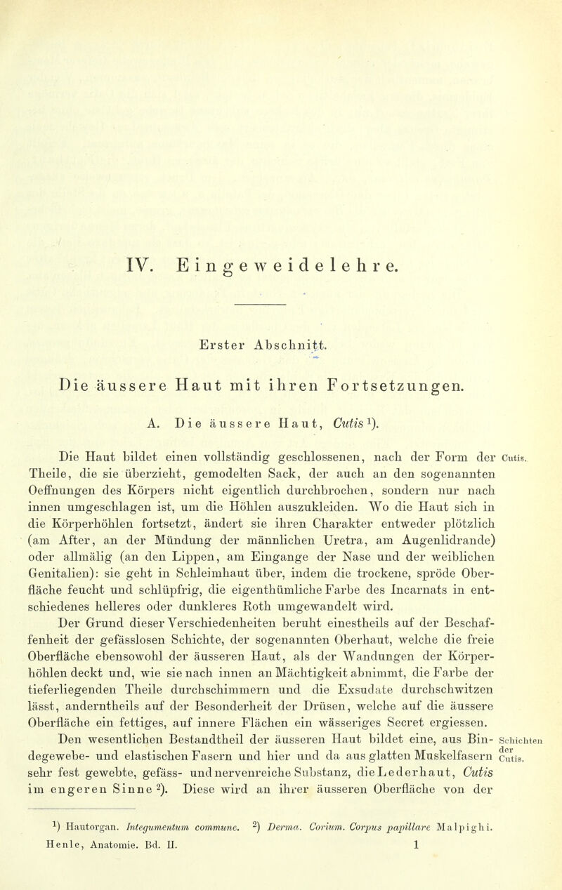 IV. Eingeweidelehre. Erster Abschnitt. Die äussere Haut mit ihren Fortsetzungen. A. Die äussere Haut, Cutisx). Die Haut bildet einen vollständig geschlossenen, nach der Form der Cutis. Theile, die sie überzieht, gemodelten Sack, der auch an den sogenannten Oeffnungen des Körpers nicht eigentlich durchbrochen, sondern nur nach innen umgeschlagen ist, um die Höhlen auszukleiden. Wo die Haut sich in die Körperhöhlen fortsetzt, ändert sie ihren Charakter entweder plötzlich (am After, an der Mündung der männlichen Uretra, am Augenlidrande) oder allmälig (an den Lippen, am Eingange der Nase und der weiblichen Genitalien): sie geht in Schleimhaut über, indem die trockene, spröde Ober- fläche feucht und schlüpfrig, die eigenthümliche Farbe des Incarnats in ent- schiedenes helleres oder dunkleres Roth umgewandelt wird. Der Grund dieser Verschiedenheiten beruht einestheils auf der Beschaf- fenheit der gefässlosen Schichte, der sogenannten Oberhaut, welche die freie Oberfläche ebensowohl der äusseren Haut, als der Wandungen der Körper- höhlen deckt und, wie sie nach innen an Mächtigkeit abnimmt, die Farbe der tieferliegenden Theile durchschimmern und die Exsudate durchschwitzen lässt, anderntheils auf der Besonderheit der Drüsen, welche auf die äussere Oberfläche ein fettiges, auf innere Flächen ein wässeriges Secret ergiessen. Den wesentlichen Bestandtheil der äusseren Haut bildet eine, aus Bin- Schichten degewebe- und elastischen Fasern und hier und da aus glatten Muskelfasern cutis, sehr fest gewebte, gefäss- und nervenreiche Substanz, dieLederhaut, Cutis im engeren Sinne2). Diese wird an ihrer äusseren Oberfläche von der -1) Hautorgan. Integumentum commune. 2) Derma. Corium. Corpus papilläre Malpighi.