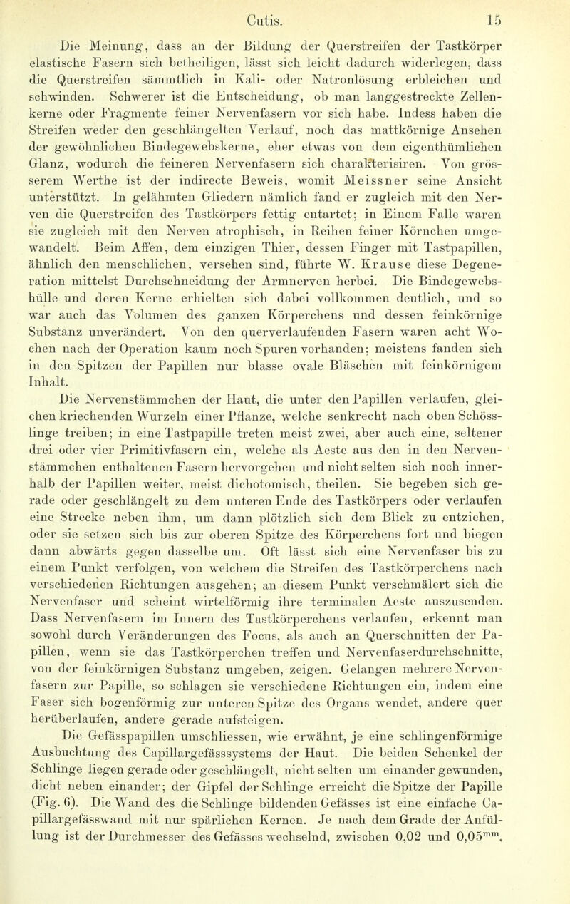 Die Meinung, dass an der Bildung der Querstreifen der Tastkörper elastische Fasern sich betheiligen, lässt sich leicht dadurch widerlegen, dass die Querstreifen sämmtlich in Kali- oder Natronlösung erbleichen und schwinden. Schwerer ist die Entscheidung, ob man langgestreckte Zellen- kerne oder Fragmente feiner Nervenfasern vor sich habe. Indess haben die Streifen weder den geschlängelten Verlauf, noch das mattkörnige Ansehen der gewöhnlichen Bindegewebskerne, eher etwas von dem eigentümlichen Glanz, wodurch die feineren Nervenfasern sich charakterisiren. Von grös- serem Werth e ist der indirecte Beweis, womit Meissner seine Ansicht unterstützt. In gelähmten Gliedern nämlich fand er zugleich mit den Ner- ven die Querstreifen des Tastkörpers fettig entartet; in Einem Falle waren sie zugleich mit den Nerven atrophisch, in Reihen feiner Körnchen umge- wandelt. Beim Affen, dem einzigen Thier, dessen Finger mit Tastpapillen, ähnlich den menschlichen, versehen sind, führte W. Krause diese Degene- ration mittelst Durchschneidung der Armnerven herbei. Die Bindegewebs- hülle und deren Kerne erhielten sich dabei vollkommen deutlich, und so war auch das Volumen des ganzen Körperchens und dessen feinkörnige Substanz unverändert. Von den querverlaufenden Fasern waren acht Wo- chen nach der Operation kaum noch Spuren vorhanden; meistens fanden sich in den Spitzen der Papillen nur blasse ovale Bläschen mit feinkörnigem Inhalt. Die Nervenstämmchen der Haut, die unter den Papillen verlaufen, glei- chen kriechenden Wurzeln einer Pflanze, welche senkrecht nach oben Schöss- linge treiben; in eine Tastpapille treten meist zwei, aber auch eine, seltener drei oder vier Primitivfasern ein, welche als Aeste aus den in den Nerven- stämmchen enthaltenen Fasern hervorgehen und nicht selten sich noch inner- halb der Papillen weiter, meist dichotomisch, theilen. Sie begeben sich ge- rade oder geschlängelt zu dem unteren Ende des Tastkörpers oder verlaufen eine Strecke neben ihm, um dann plötzlich sich dem Blick zu entziehen, oder sie setzen sich bis zur oberen Spitze des Körperchens fort und biegen dann abwärts gegen dasselbe um. Oft lässt sich eine Nervenfaser bis zu einem Punkt verfolgen, von welchem die Streifen des Tastkörperchens nach verschiedenen Richtungen ausgehen; an diesem Punkt verschmälert sich die Nervenfaser und scheint wirteiförmig ihre terminalen Aeste auszusenden. Dass Nervenfasern im Innern des Tastkörperchens verlaufen, erkennt man sowohl durch Veränderungen des Focus, als auch an Querschnitten der Pa- pillen, wenn sie das Tastkörperchen treffen und Nervenfaserdurchschnitte, von der feinkörnigen Substanz umgeben, zeigen. Gelangen mehrere Nerven- fasern zur Papille, so schlagen sie verschiedene Richtungen ein, indem eine Faser sich bogenförmig zur unteren Spitze des Organs wendet, andere quer herüberlaufen, andere gerade aufsteigen. Die Gefässpapillen umschliessen, wie erwähnt, je eine schlingenförmige Ausbuchtung des Capillargefässsystems der Haut. Die beiden Schenkel der Schlinge liegen gerade oder geschlängelt, nicht selten um einander gewunden, dicht neben einander; der Gipfel der Schlinge erreicht die Spitze der Papille (Fig. 6). Die Wand des die Schlinge bildenden Gefässes ist eine einfache Ca- pillargefässwand mit nur spärlichen Kernen. Je nach dem Grade der Anfül- lung ist der Durchmesser des Gefässes wechselnd, zwischen 0,02 und 0,05mm.