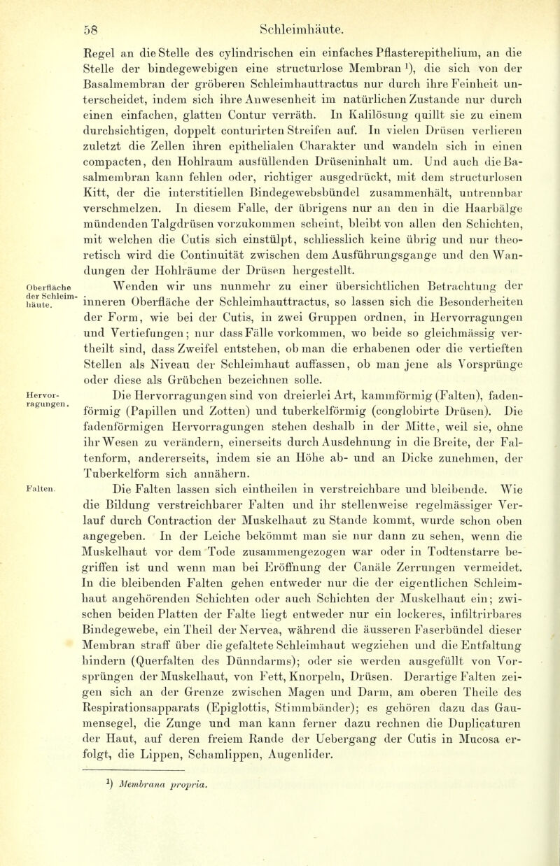 Kegel an die Stelle des cylindrischen ein einfaches Pflasterepithelium, an die Stelle der bindegewebigen eine structurlose Membran *), die sich von der Basalmembran der gröberen Schleimhauttractus nur durch ihre Feinheit un- terscheidet, indem sich ihre Anwesenheit im natürlichen Zustande nur durch einen einfachen, glatten Contur verräth. In Kalilösung quillt sie zu einem durchsichtigen, doppelt conturirten Streifen auf. In vielen Drüsen verlieren zuletzt die Zellen ihren epithelialen Charakter und wandeln sich in einen compacten, den Hohlraum ausfüllenden Drüseninhalt um. Und auch die Ba- salmembran kann fehlen oder, richtiger ausgedrückt, mit dem structurlosen Kitt, der die interstitiellen Bindegewebsbündel zusammenhält, untrennbar verschmelzen. In diesem Falle, der übrigens nur an den in die Haarbälge mündenden Talgdrüsen vorzukommen scheint, bleibt von allen den Schichten, mit welchen die Cutis sich einstülpt, schliesslich keine übrig und nur theo- retisch wird die Continuität zwischen dem Ausführungsgange und den Wan- dungen der Hohlräume der Drüsen hergestellt. Oberfläche Wenden wir uns nunmehr zu einer übersichtlichen Betrachtung der häute.hleim inneren Oberfläche der Schleimhauttractus, so lassen sich die Besonderheiten der Form, wie bei der Cutis, in zwei Gruppen ordnen, in Hervorragungen und Vertiefungen; nur dass Fälle vorkommen, wo beide so gleichmässig ver- theilt sind, dass Zweifel entstehen, ob man die erhabenen oder die vertieften Stellen als Niveau der Schleimhaut auffassen, ob man jene als Vorsprünge oder diese als Grübchen bezeichnen solle. Hervor- Die Hervorragungen sind von dreierlei Art, kammförmig (Falten), faden- ragungen. förmig (^Papillen und Zotten) und tuberkelförmig (conglobirte Drüsen). Die fadenförmigen Hervorragungen stehen deshalb in der Mitte, weil sie, ohne ihr Wesen zu verändern, einerseits durch Ausdehnung in die Breite, der Fal- tenform, andererseits, indem sie an Höhe ab- und an Dicke zunehmen, der Tuberkelform sich annähern. Falten, Die Falten lassen sich eintheilen in verstreichbare und bleibende. Wie die Bildung verstreichbarer Falten und ihr stellenweise regelmässiger Ver- lauf durch Contraction der Muskelhaut zu Stande kommt, wurde schon oben angegeben. In der Leiche bekömmt man sie nur dann zu sehen, wenn die Muskelhaut vor dem Tode zusammengezogen war oder in Todtenstarre be- griffen ist und wenn man bei Eröffnung der Canäle Zerrungen vermeidet. In die bleibenden Falten gehen entweder nur die der eigentlichen Schleim- haut angehörenden Schichten oder auch Schichten der Muskelhaut ein; zwi- schen beiden Platten der Falte liegt entweder nur ein lockeres, infiltrirbares Bindegewebe, ein Theil der Nervea, während die äusseren Faserbündel dieser Membran straff über die gefaltete Schleimhaut wegziehen und die Entfaltung hindern (Querfalten des Dünndarms); oder sie werden ausgefüllt von Vor- sprüngen der Muskelhaut, von Fett, Knorpeln, Drüsen. Derartige Falten zei- gen sich an der Grenze zwischen Magen und Darm, am oberen Theile des Respirationsapparats (Epiglottis, Stimmbänder); es gehören dazu das Gau- mensegel, die Zunge und man kann ferner dazu rechnen die Duplicaturen der Haut, auf deren freiem Rande der Uebergang der Cutis in Mucosa er- folgt, die Lippen, Schamlippen, Augenlider. l) Membrana propria.