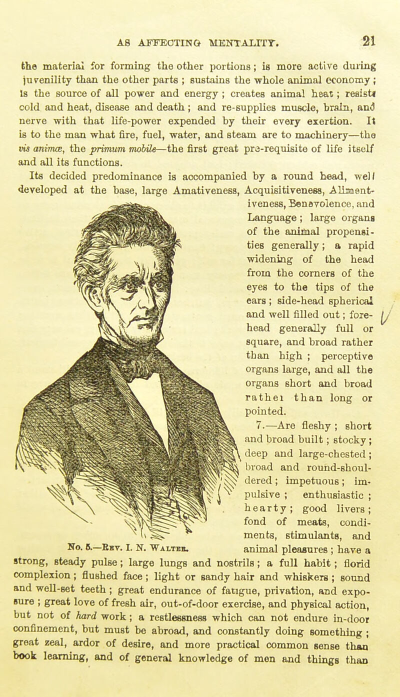 the material for forming tlie other portions; is more active during juvenility than the other parts ; sustains the whole animal economy; Is the source of all power and energy ; creates animal heat; resisti cold and heat, disease and death ; and re-supplies muscle, brain, and nerve with that life-power expended by their every exertion. It is to the man what fire, fuel, water, and steam are to machinery—the animce, the primum mobile—the first great pra-requisite of life itself and all its functions. Its decided predominance is accompanied by a round head, well developed at the base, large Amativeness, Acquisitiveness, Aliment- iveness, Benevolence, and Language; large organs of the animal propensi- ties generally; a rapid widening of the head from the comers of the eyes to the tips of the ears; side-head spherical and well filled out; fore- head generally full or square, and broad rather than high ; perceptive organs large, and all the organs short and broad rathei than long or pointed. 7.—Are fleshy ; short and broad built; stocky; deep and large-chested ; broad and round-shoul- kw W derec*' hnpetuous; im- ^ (^ pulsive ; enthusiastic ; hearty; good livers; fond of meats, condi- n • ments, stimulants, and No. 8.—Ekv. I. N. Walteb. animal pleasures ; have a strong, steady pulse; large lungs and nostrils; a full habit; florid complexion ; flushed face ; light or sandy hair and whiskers ; sound and well-set teeth; great endurance of fatigue, privation, and expo- sure ; great love of fresh air, out-of-door exercise, and physical action, but not of hard work; a restlessness which can not endure in-door confinement, but must be abroad, and constantly doing something ; great zeal, ardor of desire, and more practical common sense than book learning, and of general knowledge of men and things thao