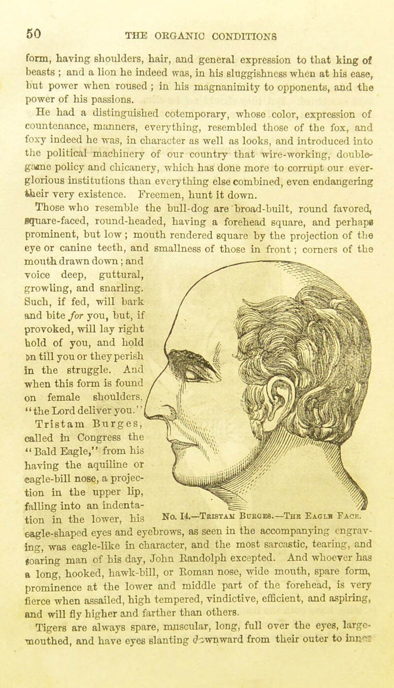 form, having shoulders, hair, and general expression to that king of beasts ; and a Hon he indeed was, in his sluggishness when at his ease, but power when roused ; in his magnanimity to opponents, and the power of his passions. He had a distinguished cotemporary, whose color, expression of countenance, manners, everything, resembled those of the fox, and foxy indeed he was, in character as well as looks, and introduced into the political machinery of our country that wire-working, double- game policy and chicanery, which has done more to corrupt our ever- glorious institutions than everything else combined, even endangering their very existence. Freemen, hunt it down. Those who resemble the bull-dog are broad-built, round favored, Bquare-faced, round-headed, having a forehead square, and perhaps prominent, but low ; mouth rendered square by the projection of the eye or canine teeth, and smallness of those in front; corners of the month drawn down; and voice deep, guttural, growling, and snarling. Such, if fed, will bark and bite for you, but, if provoked, will lay right hold of you, and hold t>n till you or they perish in the struggle. And when this form is found on female shoulders, 1' the Lord deliver you.'' | Tristam Burges, called in Congress the  Bald Eagle, from his having the aquiline or eagle-bill nose, a projec- tion in the upper lip, falling into an indenta- tion in the lower, his eagle-shaped eyes and eyebrows, as seen in the accompanjdng engrav- ing, was eagle-like in character, and the most sarcastic, tearing, and soaring man of his day, John Randolph excepted. And whoever has a long, hooked, hawk-bill, or Roman nose, wide mouth, spare form, prominence at the lower and middle part of the forehead, is very fierce when assailed, high tempered, vindictive, efficient, and aspiring, and will fly higher and farther than others. Tigers are always spare, muscular, long, full over the eyes, large- mouthed, and have eyes slanting downward from their outer to bUtfS