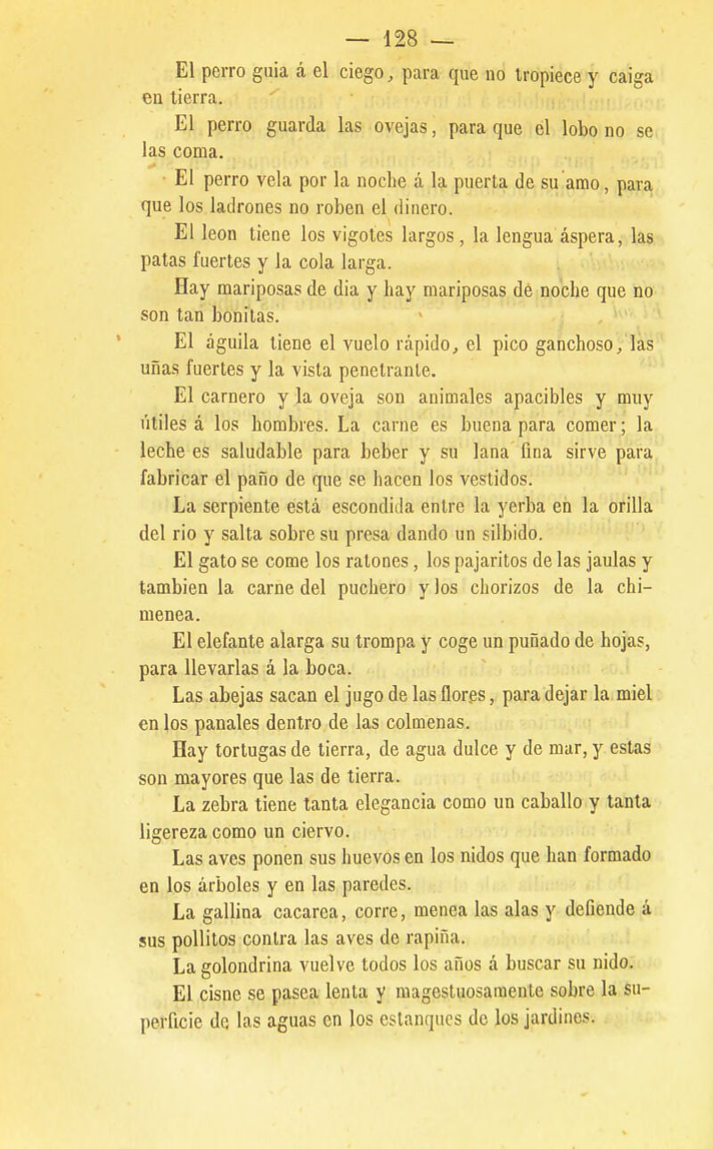 El perro guia á el ciego, para que no tropiece y caiga eu tierra. El perro guarda las ovejas, para que él lobo no se las coma. • El perro vela por la noche á la puerta de su amo, para, que los ladrones no roben el dinero. El león tiene los vigotes largos , la lengua áspera, las patas fuertes y la cola larga. Hay mariposas de dia y hay mariposas dé noche que no son tan bonitas. El águila tiene el vuelo rápido, el pico ganchoso, las uñas fuertes y la vista penetrante. El carnero y la oveja son animales apacibles y muy útiles á los hombres. La carne es buena para comer; la leche es saludable para beber y su lana fina sirve para fabricar el paño de que se hacen los vestidos. La serpiente está escondida entre la yerba en la orilla del rio y salta sobre su presa dando un silbido. El gato se come los ratones, los pajaritos de las jaulas y también la carne del puchero y los chorizos de la chi- menea. El elefante alarga su trompa y coge un puñado de hojas, para llevarlas á la boca. Las abejas sacan el jugo de las flores, para dejar la miel en los panales dentro de las colmenas. Hay tortugas de tierra, de agua dulce y de mar, y estas son mayores que las de tierra. La zebra tiene tanta elegancia como un caballo y tanta ligereza como un ciervo. Las aves ponen sus huevos en los nidos que han formado en los árboles y en las paredes. La gallina cacarea, corre, menea las alas y defiende á sus pollitos conlra las aves de rapiña. La golondrina vuelve todos los años á buscar su nido. El cisne se pasca lenta y magesluosaraente sobre la su- perficie de las aguas en los estanques do los jardines.