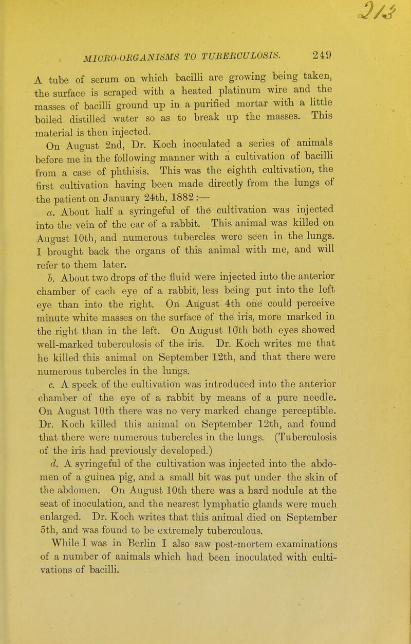 A tube of serum on which bacilli are growing being taken, the surface is scraped with a heated platinum wire and the masses of bacilli ground up in a purified mortar with a little boiled distilled water so as to break up the masses. This material is then injected. On August 2nd, Dr. Koch inoculated a series of animals before me in the following manner with a cultivation of bacilli from a case of phthisis. This was the eighth cultivation, the first cultivation having been made directly from the lungs of the patient on January 24th, 1882:— a. About half a syringeful of the cultivation was injected into the vein of the ear of a rabbit. This animal was killed on August 10th, and numerous tubercles were seen in the lungs. I brought back the organs of this animal with me, and will refer to them later. I. About two drops of the fluid were injected into the anterior chamber of each eye of a rabbit, less being put into the left eye than into the right. On August 4th oiie could perceive minute white masses on the surface of thei iris, more marked in the right than in the left. On August 10th both eyes showed well-marked tuberculosis of the iris. Dr. Koch writes me that he killed this animal on September 12th, and that there were numerous tubercles in the lungs. c. A speck of the cultivation was introduced into the anterior chamber of the eye of a rabbit by means of a pure needle. On August 10th there was no very marked change perceptible. Dr. Koch killed this animal on September 12th, and found that there were numerous tubercles in the lungs. (Tuberculosis of the iris had previously developed.) d. A syringeful of the cultivation was injected into the abdo- men of a guinea pig, and a small bit was put under the skin of the abdomen. On August 10th there was a hard nodule at the seat of inoculation, and the nearest lymphatic glands were much enlarged. Dr. Koch writes that this animal died on September oth, and was found to be extremely tuberculous. While I was in Berlin I also saw post-mortem examinations of a number of animals which had been inoculated with culti- vations of bacilli.