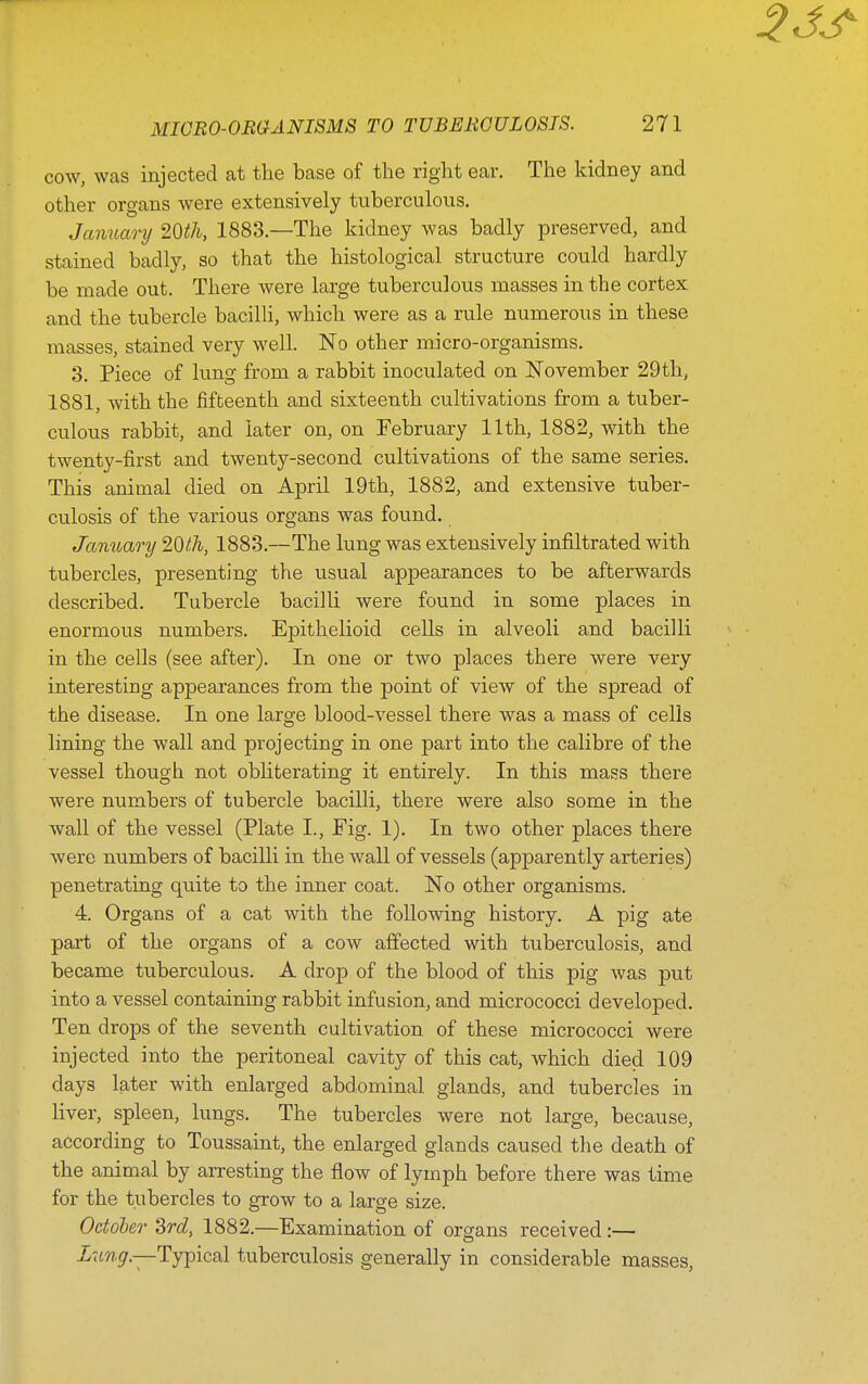 cow, was injected at the base of the right ear. The kidney and other organs were extensively tuberculous. January 20th, 1883.—The kidney was badly preserved, and stained badly, so that the histological structure could hardly be made out. There were large tuberculous masses in the cortex and the tubercle bacilli, which were as a rule numerous in these masses, stained very well. No other micro-organisms. 3. Piece of lung from a rabbit inoculated on November 29tli, 1881, with the fifteenth and sixteenth cultivations from a tuber- culous rabbit, and later on, on February 11th, 1882, with the twenty-first and twenty-second cultivations of the same series. This animal died on April 19th, 1882, and extensive tuber- culosis of the various organs was found. January 20th, 1883.—The lung was extensively infiltrated with tubercles, presenting the usual appearances to be afterwards described. Tubercle bacilli were found in some places in enormous numbers. Epithelioid cells in alveoli and bacilli in the cells (see after). In one or two places there were very interesting appearances from the point of view of the spread of the disease. In one large blood-vessel there was a mass of cells lining the wall and projecting in one part into the calibre of the vessel though not obliterating it entirely. In this mass there were numbers of tubercle bacilli, there were also some in the wall of the vessel (Plate I., Fig. 1). In two other places there were numbers of bacilli in the wall of vessels (apparently arteries) penetrating quite to the inner coat. No other organisms. 4. Organs of a cat with the following history. A pig ate part of the organs of a cow affected with tuberculosis, and became tuberculous. A drop of the blood of this pig was put into a vessel containing rabbit infusion, and micrococci developed. Ten drops of the seventh cultivation of these micrococci were injected into the peritoneal cavity of this cat, which died 109 days later with enlarged abdominal glands, and tubercles in liver, spleen, lungs. The tubercles were not large, because, according to Toussaint, the enlarged glands caused the death of the animal by arresting the flow of lymph before there was time for the tubercles to grow to a large size. October Srd, 1882.—Examination of organs received:— Lung.—Tyipical tuberculosis generally in considerable masses,